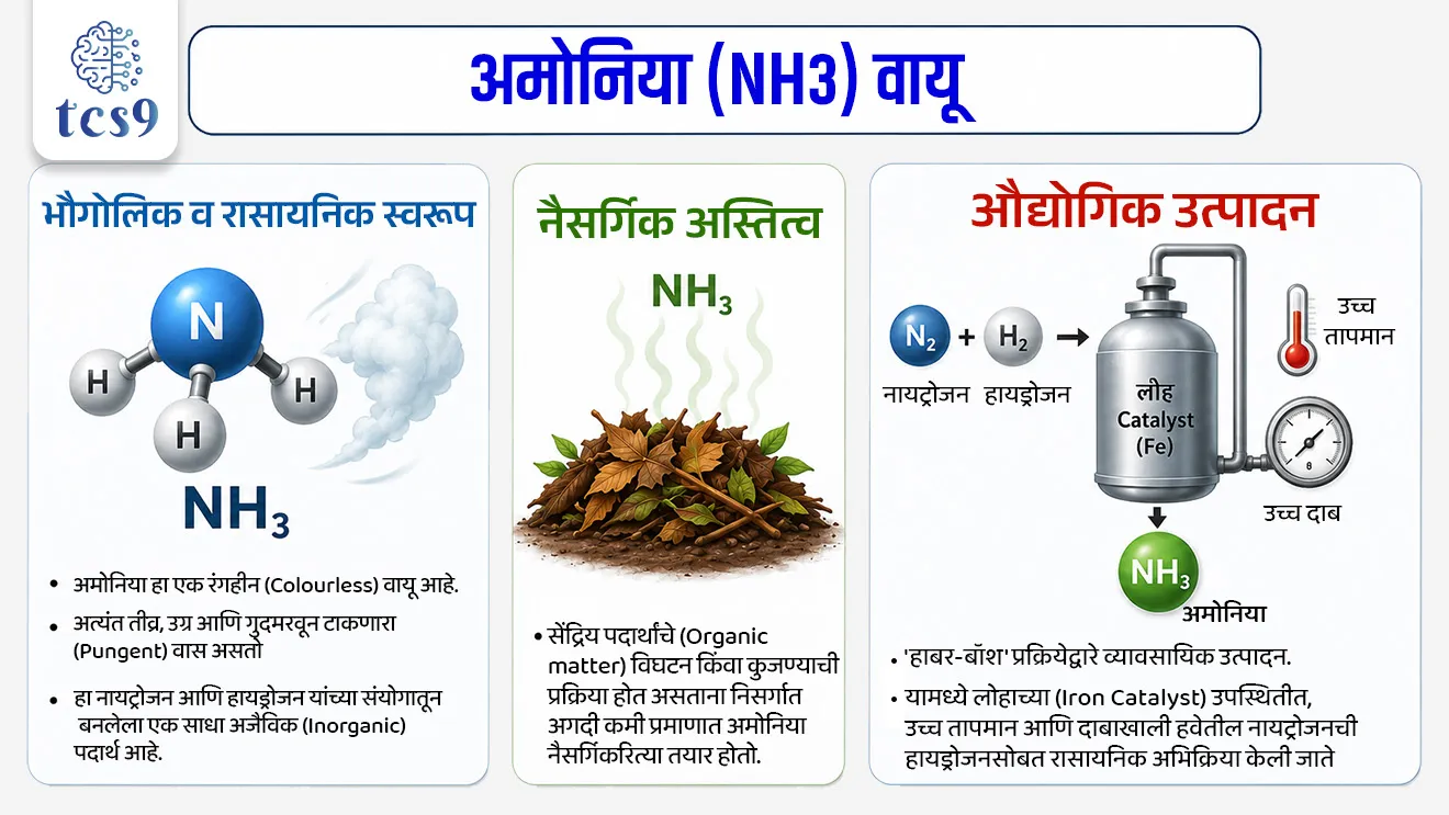 Ammonia

📚 Subject : GS - विज्ञान आणि तंत्रज्ञान - रसायनशास्त्र - संयुगे

सरळसेवा, तलाठी, वनरक्षक, पोलीस भरती, अग्निवीर , रेल्वे भरती, SSC GD, MPSC, UPSC परीक्षेसाठी विचारलेले / संभाव्य महत्त्वपूर्ण  प्रश्न



प्रश्न) कारखान्यांमध्ये अमोनिया वायूची गळती झाल्यास तो मानवी डोळे आणि श्वसनसंस्थेला तीव्र इजा पोहोचवतो, कारण अमोनियाचा खालीलपैकी कोणता गुणधर्म याला कारणीभूत ठरतो ?

1. अमोनियाचे हवेपेक्षा जड असणे
2. अमोनियाची पाण्यामधील अत्यंत उच्च विद्राव्यता
3. अमोनियाचे ज्वलनशील असणे
4. अमोनियाचे रंगहीन असणे

उत्तर → अमोनियाची पाण्यामधील अत्यंत उच्च विद्राव्यता (High Solubility in Water)

📰 बातमी काय ?
• तमिळनाडूतील तिरुवल्लूर जिल्ह्यातील एका खाजगी सी-फूड (Seafood) प्रक्रिया आणि निर्यात कारखान्यात अमोनिया वायूची (Ammonia Gas) मोठी गळती झाल्यामुळे अनेक कामगारांना रुग्णालयात दाखल करावे लागले आहे.

🧐 अमोनिया (NH3) वायू बद्दल परीक्षेसाठी IMP माहिती : 
1) भौगोलिक व रासायनिक स्वरूप — 
• अमोनिया हा एक रंगहीन (Colourless) वायू असून त्याला अत्यंत तीव्र, उग्र आणि गुदमरवून टाकणारा (Pungent) वास असतो. 
• हा नायट्रोजन आणि हायड्रोजन यांच्या संयोगातून बनलेला एक साधा अजैविक (Inorganic) पदार्थ आहे.

2) नैसर्गिक अस्तित्व — सेंद्रिय पदार्थांचे (Organic matter) विघटन किंवा कुजण्याची प्रक्रिया होत असताना निसर्गात अगदी कमी प्रमाणात अमोनिया नैसर्गिकरित्या तयार होतो.

3) औद्योगिक उत्पादन (Haber-Bosch Process) — 
• व्यावसायिक स्तरावर अमोनियाचे उत्पादन 'हाबर-बॉश' (Haber-Bosch) प्रक्रियेद्वारे केले जाते. 
• यामध्ये लोहाच्या (Iron Catalyst) उपस्थितीत, उच्च तापमान आणि दाबाखाली हवेतील नायट्रोजनची हायड्रोजनसोबत रासायनिक अभिक्रिया केली जाते.

🤔 अमोनियाचा मुख्य औद्योगिक वापर कुठे केला जातो ?
 1) खत उद्योग (Fertilizers) — उत्पादित अमोनियाचा सर्वात मोठा वाटा (सुमारे 80% पेषा जास्त) युरिया, अमोनियम नायट्रेट आणि अमोनियम फॉस्फेट यांसारख्या रासायनिक खतांच्या निर्मितीसाठी वापरला जातो.
 
2) शीतकरण प्रणाली (Refrigeration/Cooling) — अमोनियाची थंड करण्याची क्षमता (Cooling Efficiency) अत्यंत उत्कृष्ट असते. त्यामुळे मोठ्या कोल्ड स्टोरेज, सी-फूड प्रोसेसिंग युनिट्स आणि बर्फाच्या कारखान्यांमध्ये याचा 'रेफ्रिजरंट' (Refrigerant) म्हणून मोठ्या प्रमाणावर वापर होतो.

3) रासायनिक उद्योग — प्लास्टिक, स्फोटके, कापड उद्योग आणि रंग निर्मितीमध्ये अमोनियाचा वापर कच्चा माल म्हणून केला जातो.

🧐 अमोनिया गळती मानवी शरीरासाठी घातक का ठरते ?
• पाण्याशी तीव्र ओढ (High Affinity for Water) — अमोनिया हा पाण्यात अत्यंत विद्राव्य (Soluble) आहे. 
• त्यामुळे शरीराशी संपर्क येताच तो शरीरातील ओलाव्यासोबत अभिक्रिया करतो.
• अमोनियम हायड्रॉक्साईडची निर्मिती — ओलाव्याशी संपर्क आल्यावर अमोनियाचे रूपांतर 'अमोनियम हायड्रॉक्साईड' (Ammonium Hydroxide) या तीव्र दाहक क्षारामध्ये (Caustic Alkaline) होते. 
• यामुळे शरीराच्या पेशी नष्ट होतात (Cellular Damage) आणि श्वास कोंडून मृत्यू ओढवू शकतो.

📚 संदर्भ : विज्ञान आणि तंत्रज्ञान - रसायनशास्त्र
⚛️ अमोनिया चे मुख्य रासायनिक गुणधर्म : 
1) सौम्य आम्लारी (Weak Base) - अमोनिया (NH₃) हा रासायनिक दृष्ट्या सौम्य आम्लारी आहे.

2) पाण्यातील अभिक्रिया - जेव्हा अमोनिया पाण्यात मिसळतो, तेव्हा तो अमोनियम हायड्रॉक्साइड (Ammonium Hydroxide - NH₄OH) तयार करतो. हा द्रावण भाग हायड्रॉक्साइड आयन्स (OH⁻) सोडतो, ज्यामुळे ते आम्लारी बनते.

3) लिटमस पेपर चाचणी - अमोनिया वायू किंवा त्याचे द्रावण लाल लिटमस पेपरला निळा बनवते.

4) pH मूल्य (pH Value) - अमोनियाच्या द्रावणाचा pH साधारणपणे 11 ते 12 च्या दरम्यान असतो (7 पेक्षा जास्त pH म्हणजे आम्लारी)

5) आम्लासोबत अभिक्रिया (Neutralization) -
• जेव्हा अमोनियाची प्रक्रिया एखाद्या आम्लासोबत (Acid) होते, तेव्हा तो त्याचे उदासिनीकरण करतो आणि क्षार (Salt) तयार करतो. 
• उदाहरणार्थ: अमोनिया + हायड्रोक्लोरिक आम्ल = अमोनियम क्लोराइड 
(Ammonium Chloride - एक प्रकारचे क्षार आहे)

🔑 परीक्षेच्या दृष्टीने IMP रिव्हिजन पॉईंट्स : अमोनिया 
• रासायनिक सूत्र → NH₃
• औद्योगिक उत्पादन पद्धती → हाबर-बॉश पद्धत 
• रासायनिक स्वभाव → सौम्य आम्लारी (Weak Base)
• लिटमस पेपर चाचणी → लाल लिटमस पेपरला निळा होतो 
• मुख्य औद्योगिक उपयोग → रासायनिक खते निर्मिती आणि कोल्ड स्टोरेजमध्ये रेफ्रिजरंट म्हणून वापर
• मानवी शरीरावरील परिणाम → डोळे, नाक, घसा, त्वचा आणि फुफ्फुसांमध्ये तीव्र जळजळ


Ammonia, Ammonia Gas leakage, Ammonia Gas galti, industrial Accident, chemistry notes, rasayanshatra chemistry, science and technology notes, Vinyan ani tantranyan notes, 


प्रश्न) कारखान्यांमध्ये अमोनिया वायूची गळती झाल्यास तो मानवी डोळे आणि श्वसनसंस्थेला तीव्र इजा पोहोचवतो, कारण अमोनियाचा खालीलपैकी कोणता गुणधर्म याला कारणीभूत ठरतो ?
1. अमोनियाचे हवेपेक्षा जड असणे.
2. अमोनियाची पाण्यामधील अत्यंत उच्च विद्राव्यता
3. अमोनियाचे ज्वलनशील असणे.
4. अमोनियाचे रंगहीन असणे.

उत्तर → अमोनियाची पाण्यामधील अत्यंत उच्च विद्राव्यता (High Solubility in Water)
• पाण्याशी तीव्र ओढ (High Affinity for Water) — अमोनिया हा पाण्यात अत्यंत विद्राव्य (Soluble) आहे. 
• त्यामुळे शरीराशी संपर्क येताच तो शरीरातील ओलाव्यासोबत अभिक्रिया करतो.
• अमोनियम हायड्रॉक्साईडची निर्मिती — ओलाव्याशी संपर्क आल्यावर अमोनियाचे रूपांतर 'अमोनियम हायड्रॉक्साईड' (Ammonium Hydroxide) या तीव्र दाहक क्षारामध्ये (Caustic Alkaline) होते. 
• यामुळे शरीराच्या पेशी नष्ट होतात (Cellular Damage) आणि श्वास कोंडून मृत्यू ओढवू शकतो.




प्रश्न 2) अमोनिया वायूच्या संदर्भात खालील विधाने विचारात घ्या :
अ) अमोनिया या वायूचे रासायनिक सूत्र NH₃ असे आहे.
ब) अमोनिया वायू किंवा त्याचे द्रावण हे निळ्या लिटमस पेपरला लाल बनवते.
वरीलपैकी कोणते किंवा कोणती विधाने बरोबर आहेत ?
1. फक्त अ
2. फक्त ब
3. अ आणि ब दोन्ही बरोबर
4. अ आणि ब दोन्ही चूक

उत्तर : फक्त अ

❌ विधान ब चुकीचे आहे कारण  : 
• अमोनिया हा रासायनिक दृष्ट्या सौम्य आम्लारी आहे. 
• आम्लारीधर्मी गुणधर्मामुळे अमोनिया वायू किंवा त्याचे द्रावण हे लाल लिटमस पेपरला निळा बनवते.
• अमोनियाच्या द्रावणाचा pH साधारणपणे 11 ते 12 च्या दरम्यान असतो. 
• हा वायू रंगहीन असून त्याला अत्यंत उग्र वास असतो.