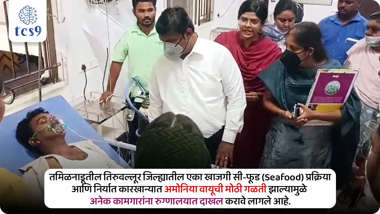 Ammonia

📚 Subject : GS - विज्ञान आणि तंत्रज्ञान - रसायनशास्त्र - संयुगे

सरळसेवा, तलाठी, वनरक्षक, पोलीस भरती, अग्निवीर , रेल्वे भरती, SSC GD, MPSC, UPSC परीक्षेसाठी विचारलेले / संभाव्य महत्त्वपूर्ण  प्रश्न



प्रश्न) कारखान्यांमध्ये अमोनिया वायूची गळती झाल्यास तो मानवी डोळे आणि श्वसनसंस्थेला तीव्र इजा पोहोचवतो, कारण अमोनियाचा खालीलपैकी कोणता गुणधर्म याला कारणीभूत ठरतो ?

1. अमोनियाचे हवेपेक्षा जड असणे
2. अमोनियाची पाण्यामधील अत्यंत उच्च विद्राव्यता
3. अमोनियाचे ज्वलनशील असणे
4. अमोनियाचे रंगहीन असणे

उत्तर → अमोनियाची पाण्यामधील अत्यंत उच्च विद्राव्यता (High Solubility in Water)

📰 बातमी काय ?
• तमिळनाडूतील तिरुवल्लूर जिल्ह्यातील एका खाजगी सी-फूड (Seafood) प्रक्रिया आणि निर्यात कारखान्यात अमोनिया वायूची (Ammonia Gas) मोठी गळती झाल्यामुळे अनेक कामगारांना रुग्णालयात दाखल करावे लागले आहे.

🧐 अमोनिया (NH3) वायू बद्दल परीक्षेसाठी IMP माहिती : 
1) भौगोलिक व रासायनिक स्वरूप — 
• अमोनिया हा एक रंगहीन (Colourless) वायू असून त्याला अत्यंत तीव्र, उग्र आणि गुदमरवून टाकणारा (Pungent) वास असतो. 
• हा नायट्रोजन आणि हायड्रोजन यांच्या संयोगातून बनलेला एक साधा अजैविक (Inorganic) पदार्थ आहे.

2) नैसर्गिक अस्तित्व — सेंद्रिय पदार्थांचे (Organic matter) विघटन किंवा कुजण्याची प्रक्रिया होत असताना निसर्गात अगदी कमी प्रमाणात अमोनिया नैसर्गिकरित्या तयार होतो.

3) औद्योगिक उत्पादन (Haber-Bosch Process) — 
• व्यावसायिक स्तरावर अमोनियाचे उत्पादन 'हाबर-बॉश' (Haber-Bosch) प्रक्रियेद्वारे केले जाते. 
• यामध्ये लोहाच्या (Iron Catalyst) उपस्थितीत, उच्च तापमान आणि दाबाखाली हवेतील नायट्रोजनची हायड्रोजनसोबत रासायनिक अभिक्रिया केली जाते.

🤔 अमोनियाचा मुख्य औद्योगिक वापर कुठे केला जातो ?
 1) खत उद्योग (Fertilizers) — उत्पादित अमोनियाचा सर्वात मोठा वाटा (सुमारे 80% पेषा जास्त) युरिया, अमोनियम नायट्रेट आणि अमोनियम फॉस्फेट यांसारख्या रासायनिक खतांच्या निर्मितीसाठी वापरला जातो.
 
2) शीतकरण प्रणाली (Refrigeration/Cooling) — अमोनियाची थंड करण्याची क्षमता (Cooling Efficiency) अत्यंत उत्कृष्ट असते. त्यामुळे मोठ्या कोल्ड स्टोरेज, सी-फूड प्रोसेसिंग युनिट्स आणि बर्फाच्या कारखान्यांमध्ये याचा 'रेफ्रिजरंट' (Refrigerant) म्हणून मोठ्या प्रमाणावर वापर होतो.

3) रासायनिक उद्योग — प्लास्टिक, स्फोटके, कापड उद्योग आणि रंग निर्मितीमध्ये अमोनियाचा वापर कच्चा माल म्हणून केला जातो.

🧐 अमोनिया गळती मानवी शरीरासाठी घातक का ठरते ?
• पाण्याशी तीव्र ओढ (High Affinity for Water) — अमोनिया हा पाण्यात अत्यंत विद्राव्य (Soluble) आहे. 
• त्यामुळे शरीराशी संपर्क येताच तो शरीरातील ओलाव्यासोबत अभिक्रिया करतो.
• अमोनियम हायड्रॉक्साईडची निर्मिती — ओलाव्याशी संपर्क आल्यावर अमोनियाचे रूपांतर 'अमोनियम हायड्रॉक्साईड' (Ammonium Hydroxide) या तीव्र दाहक क्षारामध्ये (Caustic Alkaline) होते. 
• यामुळे शरीराच्या पेशी नष्ट होतात (Cellular Damage) आणि श्वास कोंडून मृत्यू ओढवू शकतो.

📚 संदर्भ : विज्ञान आणि तंत्रज्ञान - रसायनशास्त्र
⚛️ अमोनिया चे मुख्य रासायनिक गुणधर्म : 
1) सौम्य आम्लारी (Weak Base) - अमोनिया (NH₃) हा रासायनिक दृष्ट्या सौम्य आम्लारी आहे.

2) पाण्यातील अभिक्रिया - जेव्हा अमोनिया पाण्यात मिसळतो, तेव्हा तो अमोनियम हायड्रॉक्साइड (Ammonium Hydroxide - NH₄OH) तयार करतो. हा द्रावण भाग हायड्रॉक्साइड आयन्स (OH⁻) सोडतो, ज्यामुळे ते आम्लारी बनते.

3) लिटमस पेपर चाचणी - अमोनिया वायू किंवा त्याचे द्रावण लाल लिटमस पेपरला निळा बनवते.

4) pH मूल्य (pH Value) - अमोनियाच्या द्रावणाचा pH साधारणपणे 11 ते 12 च्या दरम्यान असतो (7 पेक्षा जास्त pH म्हणजे आम्लारी)

5) आम्लासोबत अभिक्रिया (Neutralization) -
• जेव्हा अमोनियाची प्रक्रिया एखाद्या आम्लासोबत (Acid) होते, तेव्हा तो त्याचे उदासिनीकरण करतो आणि क्षार (Salt) तयार करतो. 
• उदाहरणार्थ: अमोनिया + हायड्रोक्लोरिक आम्ल = अमोनियम क्लोराइड 
(Ammonium Chloride - एक प्रकारचे क्षार आहे)

🔑 परीक्षेच्या दृष्टीने IMP रिव्हिजन पॉईंट्स : अमोनिया 
• रासायनिक सूत्र → NH₃
• औद्योगिक उत्पादन पद्धती → हाबर-बॉश पद्धत 
• रासायनिक स्वभाव → सौम्य आम्लारी (Weak Base)
• लिटमस पेपर चाचणी → लाल लिटमस पेपरला निळा होतो 
• मुख्य औद्योगिक उपयोग → रासायनिक खते निर्मिती आणि कोल्ड स्टोरेजमध्ये रेफ्रिजरंट म्हणून वापर
• मानवी शरीरावरील परिणाम → डोळे, नाक, घसा, त्वचा आणि फुफ्फुसांमध्ये तीव्र जळजळ


Ammonia, Ammonia Gas leakage, Ammonia Gas galti, industrial Accident, chemistry notes, rasayanshatra chemistry, science and technology notes, Vinyan ani tantranyan notes, 


प्रश्न) कारखान्यांमध्ये अमोनिया वायूची गळती झाल्यास तो मानवी डोळे आणि श्वसनसंस्थेला तीव्र इजा पोहोचवतो, कारण अमोनियाचा खालीलपैकी कोणता गुणधर्म याला कारणीभूत ठरतो ?
1. अमोनियाचे हवेपेक्षा जड असणे.
2. अमोनियाची पाण्यामधील अत्यंत उच्च विद्राव्यता
3. अमोनियाचे ज्वलनशील असणे.
4. अमोनियाचे रंगहीन असणे.

उत्तर → अमोनियाची पाण्यामधील अत्यंत उच्च विद्राव्यता (High Solubility in Water)
• पाण्याशी तीव्र ओढ (High Affinity for Water) — अमोनिया हा पाण्यात अत्यंत विद्राव्य (Soluble) आहे. 
• त्यामुळे शरीराशी संपर्क येताच तो शरीरातील ओलाव्यासोबत अभिक्रिया करतो.
• अमोनियम हायड्रॉक्साईडची निर्मिती — ओलाव्याशी संपर्क आल्यावर अमोनियाचे रूपांतर 'अमोनियम हायड्रॉक्साईड' (Ammonium Hydroxide) या तीव्र दाहक क्षारामध्ये (Caustic Alkaline) होते. 
• यामुळे शरीराच्या पेशी नष्ट होतात (Cellular Damage) आणि श्वास कोंडून मृत्यू ओढवू शकतो.




प्रश्न 2) अमोनिया वायूच्या संदर्भात खालील विधाने विचारात घ्या :
अ) अमोनिया या वायूचे रासायनिक सूत्र NH₃ असे आहे.
ब) अमोनिया वायू किंवा त्याचे द्रावण हे निळ्या लिटमस पेपरला लाल बनवते.
वरीलपैकी कोणते किंवा कोणती विधाने बरोबर आहेत ?
1. फक्त अ
2. फक्त ब
3. अ आणि ब दोन्ही बरोबर
4. अ आणि ब दोन्ही चूक

उत्तर : फक्त अ

❌ विधान ब चुकीचे आहे कारण  : 
• अमोनिया हा रासायनिक दृष्ट्या सौम्य आम्लारी आहे. 
• आम्लारीधर्मी गुणधर्मामुळे अमोनिया वायू किंवा त्याचे द्रावण हे लाल लिटमस पेपरला निळा बनवते.
• अमोनियाच्या द्रावणाचा pH साधारणपणे 11 ते 12 च्या दरम्यान असतो. 
• हा वायू रंगहीन असून त्याला अत्यंत उग्र वास असतो.
