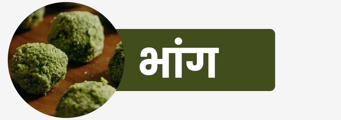 Bhaang | भांग : भांगाच्या झाडाच्या वाटलेल्या पानांपासून ‘भांग’ नावाचे मादक पेय पदार्थ बनवितात.