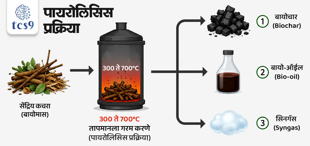 What is Biochar ?
📚 Subject : GS - पर्यावरण, भूगोल - कृषी, विज्ञान आणि तंत्रज्ञान,
सरळसेवा, तलाठी, वनरक्षक, पोलीस भरती, अग्निवीर , रेल्वे भरती, SSC GD, MPSC, UPSC परीक्षेसाठी विचारलेले / संभाव्य महत्त्वपूर्ण प्रश्न
प्रश्न) कृषी आणि पर्यावरणाच्या संदर्भात अत्यंत महत्त्वाचा घटक मानला जाणारा 'बायोचार' (Biochar) हा खालीलपैकी काय आहे ?
1) एक प्रकारचे रासायनिक कीटकनाशक
2) सेंद्रिय कचऱ्यापासून पायरोलिसिस प्रक्रियेद्वारे बनवलेला कोळसा
3) जनुकसंशोधित (GM) पिकांचे बी-बियाणे
4) हवेतील प्रदूषण मोजण्याचे यंत्र
उत्तर : सेंद्रिय कचऱ्यापासून पायरोलिसिस प्रक्रियेद्वारे बनवलेला कोळसा
📰 बातमी काय ?
• शेतातील कचरा आणि कृषी अवशेषांचा वापर करून मातीचे आरोग्य सुधारण्यासाठी आणि हवामान बदलाला सामोरे जाण्यासाठी 'बायोचार' (Biochar) हे एक शाश्वत माध्यम म्हणून वेगाने समोर येत आहे.
🧐 बायोचार (Biochar) म्हणजे नेमकं काय ?
• बायोचार हा दिसायला कोळशासारखाच एक काळा पदार्थ आहे.
• शेती आणि जंगलातील सेंद्रिय कचरा (ज्याला बायोमास म्हणतात) हवेच्या गैरहजेरीत किंवा कमी ऑक्सिजनमध्ये उच्च तापमानाला जाळून हा तयार केला जातो. या प्रक्रियेला 'पायरोलिसिस' (Pyrolysis) असे म्हणतात.
• नेहमीच्या सेंद्रिय खतांच्या (उदा. शेणखत किंवा कंपोस्ट) तुलनेत बायोचारचे जमिनीत अतिशय संथ गतीने विघटन होते.
• त्यामुळे हा पदार्थ मातीमध्ये अनेक वर्षांपर्यंत तसाच टिकून राहू शकतो.
• बायोचार हा अत्यंत सच्छिद्र (Highly Porous) म्हणजेच स्पंजसारखा असतो.
• या रचनेमुळे तो स्वतःमध्ये पाणी, आवश्यक पोषक घटक आणि पिकांना फायदेशीर असणारे सूक्ष्मजीव साठवून ठेवू शकतो.
🤔 बायोचारचे मुख्य शेतीविषयक आणि पर्यावरणीय फायदे कोणते ?
1) पिकांची उत्पादकता वाढवणे -
• विविध संशोधनानुसार, बायोचारच्या वापरामुळे पिकांच्या उत्पादनात 10% ते 30% पर्यंत वाढ होऊ शकते.
• विशेषतः ज्या जमिनीमध्ये पोषक घटकांची कमतरता आहे, तिथे हा जास्त प्रभावी ठरतो.
2) कार्बन क्रेडिट्सची निर्मिती (Carbon Credits) -
• बायोचार हा वातावरणातील कार्बन शोषून तो दीर्घकाळ मातीत साठवतो (Carbon Sequestration).
• आंतरराष्ट्रीय मानकांनुसार, 1 टन प्रमाणित बायोचारच्या निर्मितीतून साधारणपणे 2 ते 2.8 टन कार्बन डायऑक्साइड-समकक्ष (CO2-equivalent) कार्बन क्रेडिट्स मिळवता येतात, जे विकून शेतकऱ्यांना अतिरिक्त उत्पन्न मिळू शकते.
3) पाणी धरून ठेवण्याची क्षमता -
• हा पदार्थ जमिनीत स्पंजसारखे काम करतो.
• संशोधनात असे दिसून आले आहे की, बायोचारमुळे मातीची पाणी धरून ठेवण्याची क्षमता (Water Holding Capacity) 10% ते 25% पर्यंत वाढते, ज्यामुळे कोरडवाहू शेतीला मोठा फायदा होतो.
📚📚 संदर्भ : पर्यावरण, विज्ञान आणि तंत्रज्ञान -
🧐 पायरोलिसिस प्रक्रिया (Pyrolysis) म्हणजे काय ?
• ऑक्सिजनच्या अनुपस्थितीत (किंवा अत्यंत कमी ऑक्सिजनमध्ये ) सेंद्रिय पदार्थांना उच्च तापमानाला गरम करून त्यांचे विघटन करणे म्हणजेच पायरोलिसिस होय.
• हा शब्द ग्रीक भाषेतील दोन शब्दांपासून बनला आहे - 'Pyro' म्हणजे आग/तापमान आणि 'Lysis' म्हणजे वेगळे करणे किंवा विघटन करणे.
🍀🌿 पायरोलिसिस प्रक्रिया कशी काम करते ?
• जर आपण कोणताही पदार्थ हवेच्या (ऑक्सिजनच्या) उपस्थितीत जाळला तर त्याचे ज्वलन (Combustion) होते आणि त्याची राख होते.
• परंतु, पायरोलिसिसमध्ये ऑक्सिजन नसल्यामुळे पदार्थ जळत नाही, तर त्याचे रासायनिक विघटन होते.
• उच्च तापमान — पायरोलिसिस प्रक्रियेमध्ये सेंद्रिय कचरा किंवा बायोमास साधारणपणे 300 अंश ते 700 अंश सेल्सिअस तापमानाला गरम केला जातो.
• या प्रक्रियेत कार्बन हवेत धूर म्हणून उडून जाण्याऐवजी घन स्वरूपात (बायोचारमध्ये) लॉक होतो.
🧐 पायरोलिसिस प्रक्रियेतून मिळणारी उत्पादने कोणती ?
• जेव्हा एखाद्या सेंद्रिय कचऱ्यावर पायरोलिसिस प्रक्रिया केली जाते, तेव्हा त्याचे रूपांतर तीन मुख्य घटकांमध्ये होते :
1) घन पदार्थ (Solid) → यातून मुख्यत्वे बायोचार (Biochar) किंवा चारकोल (कोळसा) मिळतो, जो माती सुधारण्यासाठी अत्यंत उपयुक्त ठरतो.
2) द्रव पदार्थ (Liquid) → यातून बायो-ऑइल (Bio-oil) मिळते, ज्याचा वापर इंधन म्हणून किंवा इतर रसायने बनवण्यासाठी केला जाऊ शकतो.
3) वायू पदार्थ (Gas) → यातून सिनगॅस (Syngas) नावाचा ज्वलनशील वायू बाहेर पडतो, ज्यामध्ये हायड्रोजन, कार्बन मोनॉक्साइड आणि मिथेनचे मिश्रण असते. याचा वापर ऊर्जा निर्मितीसाठी होतो.
🔑 परीक्षेच्या दृष्टीने IMP रिव्हिजन पॉईंट्स : Biochar
• बायोचार निर्मिती → बायोमासवर केल्या जाणाऱ्या 'पायरोलिसिस' (Pyrolysis) प्रक्रियेद्वारे निर्मिती.
• मुख्य वैशिष्ट्य → अत्यंत सच्छिद्र (Porous) रचना; पाणी आणि पोषक घटकांचा साठा करण्यास सक्षम.
• उत्पादकता वाढ → पिकांची उत्पादकता 10% ते 30% ने वाढते.
• कार्बन क्रेडिट प्रमाण → 1 टन बायोचारपासून 2 ते 2.8 टन कार्बन डायऑक्साइड-समकक्ष क्रेडिट्सची निर्मिती.
• पर्यावरणातील भूमिका → कार्बन सिंक (Carbon Sink) म्हणून काम करून हवामान बदल रोखण्यास मदत.
What is Biochar ?, Biocharmhanje kay, Biochar kase banvtat, what is Pyrolysis process, Pyrolysis kay ahe, environment, What is an example of pyrolysis?,
What are the main pyrolysis products?, biomass produces bio-oil, bio-char, syngas, environment notes, vanrakshak bharti, forest guard, paryavaran notes, science and technology notes, Vinyan ani tantranyan,
प्रश्न) कृषी आणि पर्यावरणाच्या संदर्भात अत्यंत महत्त्वाचा घटक मानला जाणारा 'बायोचार' (Biochar) हा खालीलपैकी काय आहे ?
1) एक प्रकारचे रासायनिक कीटकनाशक
2) सेंद्रिय कचऱ्यापासून पायरोलिसिस प्रक्रियेद्वारे बनवलेला कोळसा
3) जनुकसंशोधित (GM) पिकांचे बी-बियाणे
4) हवेतील प्रदूषण मोजण्याचे यंत्र
उत्तर : सेंद्रिय कचऱ्यापासून पायरोलिसिस प्रक्रियेद्वारे बनवलेला कोळसा
🧐 बायोचार म्हणजे काय? : बायोचार हा शेती आणि जंगलातील सेंद्रिय कचरा (बायोमास) हवेच्या अनुपस्थितीत किंवा मर्यादित ऑक्सिजनमध्ये उच्च तापमानाला तापवून बनवलेला एक सच्छिद्र (Porous) कोळशासारखा पदार्थ आहे.
⚙️ निर्मिती प्रक्रिया : बायोचार बनवण्यासाठी वापरल्या जाणाऱ्या या विशेष प्रक्रियेला 'पायरोलिसिस' (Pyrolysis) असे म्हणतात.
प्रश्न) शेतीमध्ये सुधारक म्हणून वापरल्या जाणाऱ्या 'बायोचार' (Biochar) च्या संदर्भात खालील विधाने विचारात घ्या :
अ) बायोचारची निर्मिती सेंद्रिय कचऱ्यावर उच्च ऑक्सिजनच्या उपस्थितीत पायरोलिसिस प्रक्रिया करून केली जाते.
ब) बायोचार हा जमिनीत स्पंजसारखे काम करतो आणि मातीची पाणी धरून ठेवण्याची क्षमता 10% ते 25% पर्यंत वाढवू शकतो.
वरीलपैकी कोणते किंवा कोणती विधाने बरोबर आहेत ?
फक्त अ
फक्त ब
अ आणि ब दोन्ही बरोबर
अ आणि ब दोन्ही चूक
उत्तर : फक्त ब
❌ विधान अ चुकीचे आहे कारण :
• बायोचारची निर्मिती करताना ऑक्सिजनच्या उपस्थितीत नाही, तर ऑक्सिजनच्या अनुपस्थितीत किंवा अत्यंत कमी ऑक्सिजन मध्ये (Limited Oxygen) पायरोलिसिस प्रक्रिया केली जाते. त्यामुळे हे विधान तांत्रिकदृष्ट्या चुकीचे आहे.
✅ विधान ब बरोबर आहे -
• बायोचार हा अत्यंत सच्छिद्र पदार्थ असल्याने तो स्वतःमध्ये पाणी, आवश्यक पोषक घटक आणि पिकांना फायदेशीर असणारे सूक्ष्मजीव साठवून ठेवू शकतो.
• तसेच मातीची जलधारण क्षमता 10% ते 25% पर्यंत सहज वाढवतो.
