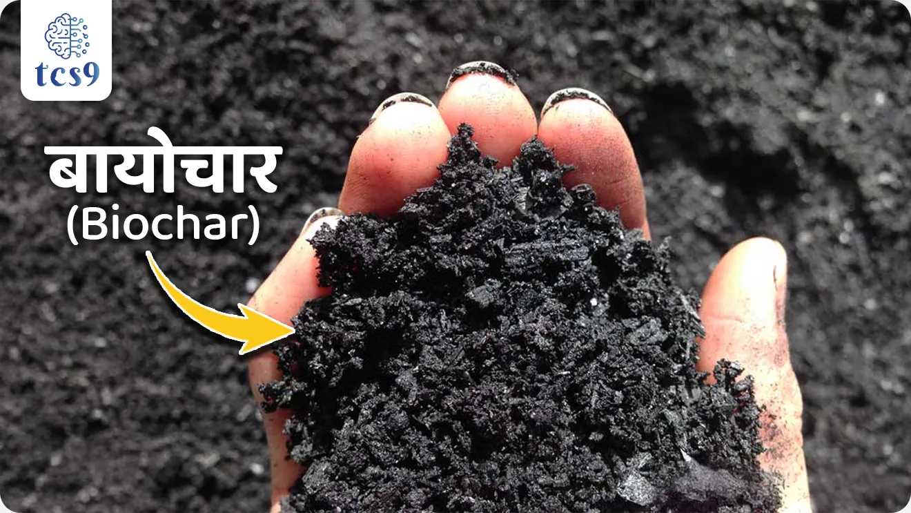 What is Biochar ?
📚 Subject : GS - पर्यावरण, भूगोल - कृषी, विज्ञान आणि तंत्रज्ञान,
सरळसेवा, तलाठी, वनरक्षक, पोलीस भरती, अग्निवीर , रेल्वे भरती, SSC GD, MPSC, UPSC परीक्षेसाठी विचारलेले / संभाव्य महत्त्वपूर्ण प्रश्न
प्रश्न) कृषी आणि पर्यावरणाच्या संदर्भात अत्यंत महत्त्वाचा घटक मानला जाणारा 'बायोचार' (Biochar) हा खालीलपैकी काय आहे ?
1) एक प्रकारचे रासायनिक कीटकनाशक
2) सेंद्रिय कचऱ्यापासून पायरोलिसिस प्रक्रियेद्वारे बनवलेला कोळसा
3) जनुकसंशोधित (GM) पिकांचे बी-बियाणे
4) हवेतील प्रदूषण मोजण्याचे यंत्र
उत्तर : सेंद्रिय कचऱ्यापासून पायरोलिसिस प्रक्रियेद्वारे बनवलेला कोळसा
📰 बातमी काय ?
• शेतातील कचरा आणि कृषी अवशेषांचा वापर करून मातीचे आरोग्य सुधारण्यासाठी आणि हवामान बदलाला सामोरे जाण्यासाठी 'बायोचार' (Biochar) हे एक शाश्वत माध्यम म्हणून वेगाने समोर येत आहे.
🧐 बायोचार (Biochar) म्हणजे नेमकं काय ?
• बायोचार हा दिसायला कोळशासारखाच एक काळा पदार्थ आहे.
• शेती आणि जंगलातील सेंद्रिय कचरा (ज्याला बायोमास म्हणतात) हवेच्या गैरहजेरीत किंवा कमी ऑक्सिजनमध्ये उच्च तापमानाला जाळून हा तयार केला जातो. या प्रक्रियेला 'पायरोलिसिस' (Pyrolysis) असे म्हणतात.
• नेहमीच्या सेंद्रिय खतांच्या (उदा. शेणखत किंवा कंपोस्ट) तुलनेत बायोचारचे जमिनीत अतिशय संथ गतीने विघटन होते.
• त्यामुळे हा पदार्थ मातीमध्ये अनेक वर्षांपर्यंत तसाच टिकून राहू शकतो.
• बायोचार हा अत्यंत सच्छिद्र (Highly Porous) म्हणजेच स्पंजसारखा असतो.
• या रचनेमुळे तो स्वतःमध्ये पाणी, आवश्यक पोषक घटक आणि पिकांना फायदेशीर असणारे सूक्ष्मजीव साठवून ठेवू शकतो.
🤔 बायोचारचे मुख्य शेतीविषयक आणि पर्यावरणीय फायदे कोणते ?
1) पिकांची उत्पादकता वाढवणे -
• विविध संशोधनानुसार, बायोचारच्या वापरामुळे पिकांच्या उत्पादनात 10% ते 30% पर्यंत वाढ होऊ शकते.
• विशेषतः ज्या जमिनीमध्ये पोषक घटकांची कमतरता आहे, तिथे हा जास्त प्रभावी ठरतो.
2) कार्बन क्रेडिट्सची निर्मिती (Carbon Credits) -
• बायोचार हा वातावरणातील कार्बन शोषून तो दीर्घकाळ मातीत साठवतो (Carbon Sequestration).
• आंतरराष्ट्रीय मानकांनुसार, 1 टन प्रमाणित बायोचारच्या निर्मितीतून साधारणपणे 2 ते 2.8 टन कार्बन डायऑक्साइड-समकक्ष (CO2-equivalent) कार्बन क्रेडिट्स मिळवता येतात, जे विकून शेतकऱ्यांना अतिरिक्त उत्पन्न मिळू शकते.
3) पाणी धरून ठेवण्याची क्षमता -
• हा पदार्थ जमिनीत स्पंजसारखे काम करतो.
• संशोधनात असे दिसून आले आहे की, बायोचारमुळे मातीची पाणी धरून ठेवण्याची क्षमता (Water Holding Capacity) 10% ते 25% पर्यंत वाढते, ज्यामुळे कोरडवाहू शेतीला मोठा फायदा होतो.
📚📚 संदर्भ : पर्यावरण, विज्ञान आणि तंत्रज्ञान -
🧐 पायरोलिसिस प्रक्रिया (Pyrolysis) म्हणजे काय ?
• ऑक्सिजनच्या अनुपस्थितीत (किंवा अत्यंत कमी ऑक्सिजनमध्ये ) सेंद्रिय पदार्थांना उच्च तापमानाला गरम करून त्यांचे विघटन करणे म्हणजेच पायरोलिसिस होय.
• हा शब्द ग्रीक भाषेतील दोन शब्दांपासून बनला आहे - 'Pyro' म्हणजे आग/तापमान आणि 'Lysis' म्हणजे वेगळे करणे किंवा विघटन करणे.
🍀🌿 पायरोलिसिस प्रक्रिया कशी काम करते ?
• जर आपण कोणताही पदार्थ हवेच्या (ऑक्सिजनच्या) उपस्थितीत जाळला तर त्याचे ज्वलन (Combustion) होते आणि त्याची राख होते.
• परंतु, पायरोलिसिसमध्ये ऑक्सिजन नसल्यामुळे पदार्थ जळत नाही, तर त्याचे रासायनिक विघटन होते.
• उच्च तापमान — पायरोलिसिस प्रक्रियेमध्ये सेंद्रिय कचरा किंवा बायोमास साधारणपणे 300 अंश ते 700 अंश सेल्सिअस तापमानाला गरम केला जातो.
• या प्रक्रियेत कार्बन हवेत धूर म्हणून उडून जाण्याऐवजी घन स्वरूपात (बायोचारमध्ये) लॉक होतो.
🧐 पायरोलिसिस प्रक्रियेतून मिळणारी उत्पादने कोणती ?
• जेव्हा एखाद्या सेंद्रिय कचऱ्यावर पायरोलिसिस प्रक्रिया केली जाते, तेव्हा त्याचे रूपांतर तीन मुख्य घटकांमध्ये होते :
1) घन पदार्थ (Solid) → यातून मुख्यत्वे बायोचार (Biochar) किंवा चारकोल (कोळसा) मिळतो, जो माती सुधारण्यासाठी अत्यंत उपयुक्त ठरतो.
2) द्रव पदार्थ (Liquid) → यातून बायो-ऑइल (Bio-oil) मिळते, ज्याचा वापर इंधन म्हणून किंवा इतर रसायने बनवण्यासाठी केला जाऊ शकतो.
3) वायू पदार्थ (Gas) → यातून सिनगॅस (Syngas) नावाचा ज्वलनशील वायू बाहेर पडतो, ज्यामध्ये हायड्रोजन, कार्बन मोनॉक्साइड आणि मिथेनचे मिश्रण असते. याचा वापर ऊर्जा निर्मितीसाठी होतो.
🔑 परीक्षेच्या दृष्टीने IMP रिव्हिजन पॉईंट्स : Biochar
• बायोचार निर्मिती → बायोमासवर केल्या जाणाऱ्या 'पायरोलिसिस' (Pyrolysis) प्रक्रियेद्वारे निर्मिती.
• मुख्य वैशिष्ट्य → अत्यंत सच्छिद्र (Porous) रचना; पाणी आणि पोषक घटकांचा साठा करण्यास सक्षम.
• उत्पादकता वाढ → पिकांची उत्पादकता 10% ते 30% ने वाढते.
• कार्बन क्रेडिट प्रमाण → 1 टन बायोचारपासून 2 ते 2.8 टन कार्बन डायऑक्साइड-समकक्ष क्रेडिट्सची निर्मिती.
• पर्यावरणातील भूमिका → कार्बन सिंक (Carbon Sink) म्हणून काम करून हवामान बदल रोखण्यास मदत.
What is Biochar ?, Biocharmhanje kay, Biochar kase banvtat, what is Pyrolysis process, Pyrolysis kay ahe, environment, What is an example of pyrolysis?,
What are the main pyrolysis products?, biomass produces bio-oil, bio-char, syngas, environment notes, vanrakshak bharti, forest guard, paryavaran notes, science and technology notes, Vinyan ani tantranyan,
प्रश्न) कृषी आणि पर्यावरणाच्या संदर्भात अत्यंत महत्त्वाचा घटक मानला जाणारा 'बायोचार' (Biochar) हा खालीलपैकी काय आहे ?
1) एक प्रकारचे रासायनिक कीटकनाशक
2) सेंद्रिय कचऱ्यापासून पायरोलिसिस प्रक्रियेद्वारे बनवलेला कोळसा
3) जनुकसंशोधित (GM) पिकांचे बी-बियाणे
4) हवेतील प्रदूषण मोजण्याचे यंत्र
उत्तर : सेंद्रिय कचऱ्यापासून पायरोलिसिस प्रक्रियेद्वारे बनवलेला कोळसा
🧐 बायोचार म्हणजे काय? : बायोचार हा शेती आणि जंगलातील सेंद्रिय कचरा (बायोमास) हवेच्या अनुपस्थितीत किंवा मर्यादित ऑक्सिजनमध्ये उच्च तापमानाला तापवून बनवलेला एक सच्छिद्र (Porous) कोळशासारखा पदार्थ आहे.
⚙️ निर्मिती प्रक्रिया : बायोचार बनवण्यासाठी वापरल्या जाणाऱ्या या विशेष प्रक्रियेला 'पायरोलिसिस' (Pyrolysis) असे म्हणतात.
प्रश्न) शेतीमध्ये सुधारक म्हणून वापरल्या जाणाऱ्या 'बायोचार' (Biochar) च्या संदर्भात खालील विधाने विचारात घ्या :
अ) बायोचारची निर्मिती सेंद्रिय कचऱ्यावर उच्च ऑक्सिजनच्या उपस्थितीत पायरोलिसिस प्रक्रिया करून केली जाते.
ब) बायोचार हा जमिनीत स्पंजसारखे काम करतो आणि मातीची पाणी धरून ठेवण्याची क्षमता 10% ते 25% पर्यंत वाढवू शकतो.
वरीलपैकी कोणते किंवा कोणती विधाने बरोबर आहेत ?
फक्त अ
फक्त ब
अ आणि ब दोन्ही बरोबर
अ आणि ब दोन्ही चूक
उत्तर : फक्त ब
❌ विधान अ चुकीचे आहे कारण :
• बायोचारची निर्मिती करताना ऑक्सिजनच्या उपस्थितीत नाही, तर ऑक्सिजनच्या अनुपस्थितीत किंवा अत्यंत कमी ऑक्सिजन मध्ये (Limited Oxygen) पायरोलिसिस प्रक्रिया केली जाते. त्यामुळे हे विधान तांत्रिकदृष्ट्या चुकीचे आहे.
✅ विधान ब बरोबर आहे -
• बायोचार हा अत्यंत सच्छिद्र पदार्थ असल्याने तो स्वतःमध्ये पाणी, आवश्यक पोषक घटक आणि पिकांना फायदेशीर असणारे सूक्ष्मजीव साठवून ठेवू शकतो.
• तसेच मातीची जलधारण क्षमता 10% ते 25% पर्यंत सहज वाढवतो.