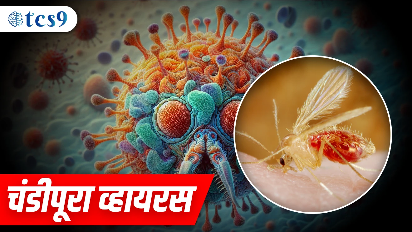 ( chandipura virus | chandipura vishanu | Nagpur | Gujarat chandipura virus news | CHANDIPURA ajar Kay ahe | ajarachi lakshane | aushadhe | upay yojna | sandflies )( current Affair |&nbsp; chalu Ghadamodi Marathi |&nbsp; current Affair marathi madhe | 2024 cha chalu Ghadamodi |&nbsp; police Bharti chalu Ghadamodi |&nbsp; police Bharti prashnasanch |&nbsp; police Bharti GK prashna |&nbsp; Mpsc chalu Ghadamodi |&nbsp; sarkari Naukri |&nbsp; sarkari job |&nbsp; sarkari yojna |&nbsp; Maharashtra cha chalu Ghadamodi |&nbsp; Maharashtra government yojna |&nbsp; PSI syllabus | PSI cutoff |&nbsp; police Bharti syllabus |&nbsp; police Bharti cutoff |&nbsp; police Bharti merit |&nbsp; MPSC Sathi book |&nbsp; MPSC Sathi pustak |&nbsp; police Bharti Sathi pustak |&nbsp; police Bharti magil prashnapstrika |&nbsp; MPSC previous years question papers |&nbsp; Mumbai police Bharti |&nbsp; Mumbai police Bharti Lekhi kadhi ahe |&nbsp; government GR |&nbsp; police Bharti result |&nbsp; MPSC result |&nbsp; SSC GD merit |&nbsp; sscgd syllabus |&nbsp; army Bharti merit |&nbsp; army Bharti result |&nbsp; UPSC Marathi |&nbsp; combine pariksha |&nbsp; talathi |&nbsp; talathi syllabus |&nbsp; talathi cutoff |&nbsp; talathi book list |&nbsp; talathi result |&nbsp; talathi merit |&nbsp; talathi jaga kiti ahe |&nbsp; saralseva exam |&nbsp; saralseva pariksha |&nbsp; saralseva result |&nbsp; zilha parishad Bharti |&nbsp; zilha parishad prashnapstrika )