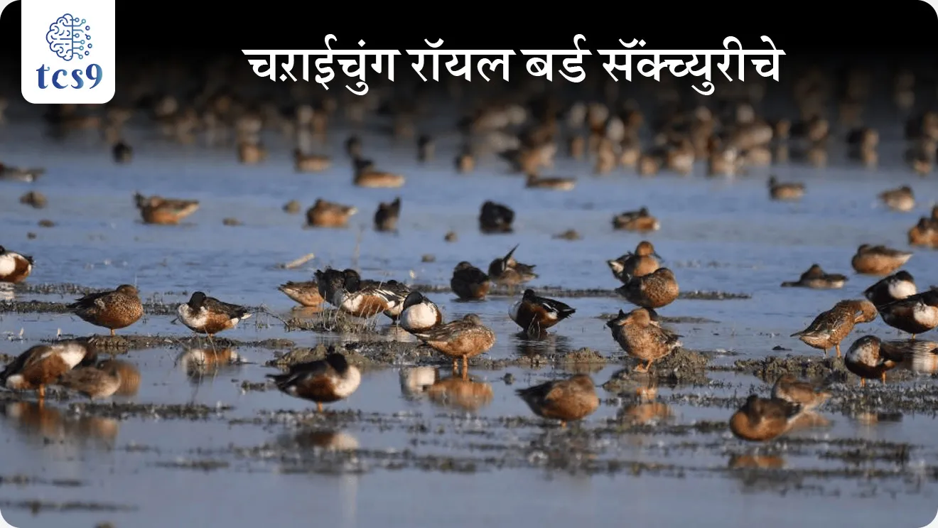 • आसाममधील माजुली बेट (Majuli Island) येथील जवळपास निष्क्रिय झालेल्या चऱाईचुंग रॉयल बर्ड सॅंक्च्युरीचे पुनरुज्जीवन करण्यासाठी चऱाईचुंग महोत्सव दुसऱ्यांदा आयोजित करण्यात आला आहे.
चऱाईचुंग महोत्सव म्हणजे काय ?
• चऱाईचुंग महोत्सव हा आशियातील पहिल्या संरक्षित रॉयल बर्ड सॅंक्च्युरीच्या 392 वर्षांच्या वारशाची आठवण करून देतो.
• 1633 साली अहोम राजा स्वर्गदेव प्रताप सिंहा (Ahom king Swargadeu Pratap Singha) यांनी चऱाईचुंग अभयारण्याची स्थापना केली होती.
चऱाईचुंग महोत्सवाचे उद्दिष्ट व वैशिष्ट्ये
