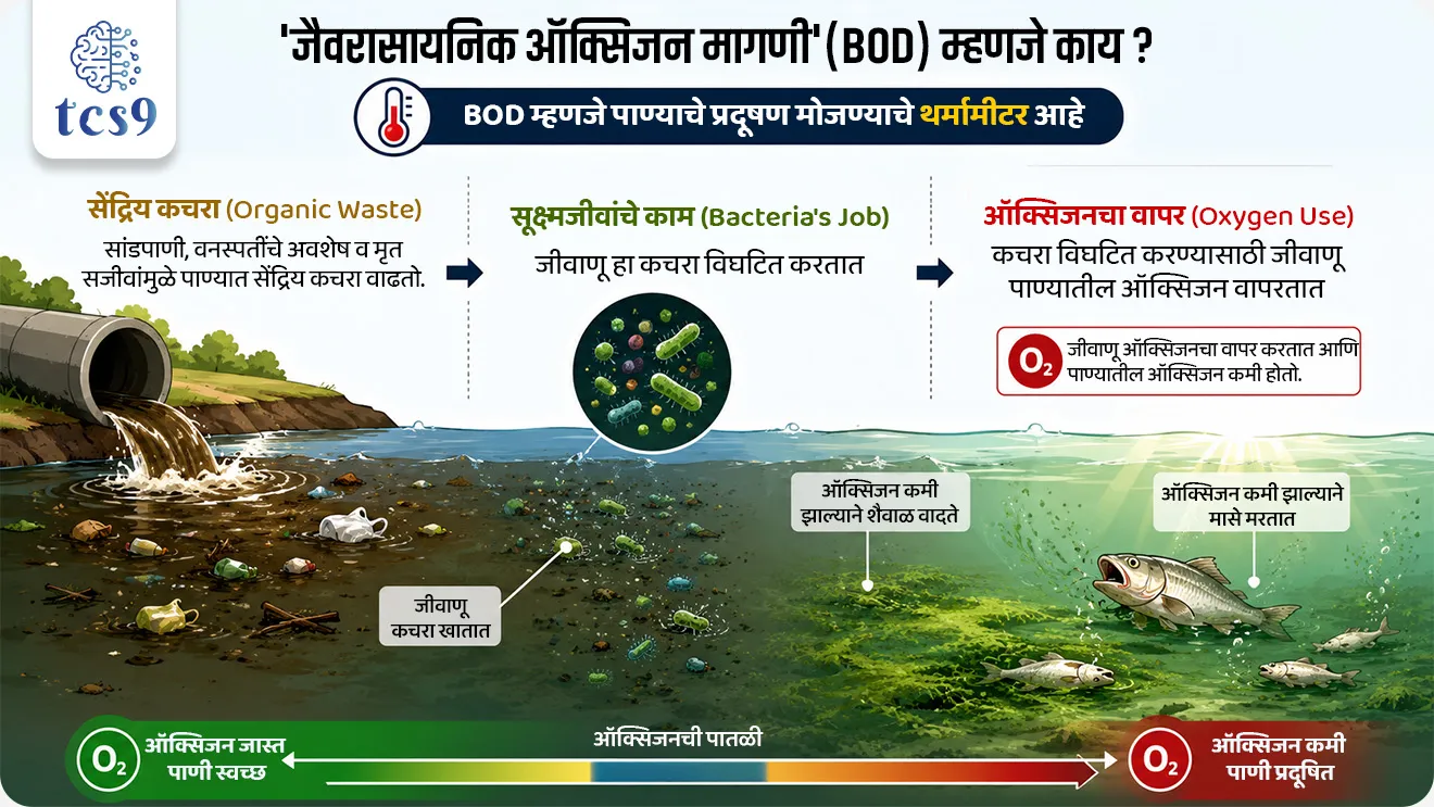Toxic Inflow Triggers Ecological Emergency at DPS Flamingo Lake
📚 Subject : GS - पर्यावरण - वने आणि जैवविविधता, प्रदुषण
सरळसेवा, तलाठी, वनरक्षक, पोलीस भरती, अग्निवीर , रेल्वे भरती, SSC GD, MPSC, UPSC परीक्षेसाठी विचारलेले / संभाव्य महत्त्वपूर्ण प्रश्न
प्रश्न) पाण्याच्या प्रदूषणामुळे नुकताच चर्चेत आलेला आणि हंस पक्ष्यांसाठी (Flamingos) प्रसिद्ध असलेला 'डीपीएस फ्लेमिंगो तलाव' (DPS Flamingo Lake) महाराष्ट्रात खालीलपैकी कोणत्या ठिकाणी स्थित आहे ?
1. नवी मुंबई
2. रत्नागिरी
3. ठाणे
4. पालघर
उत्तर : नवी मुंबई
📰 बातमी काय ?
• नवी मुंबई (नेरुळ) येथील 'डीपीएस फ्लेमिंगो लेक' (DPS Flamingo Lake) मध्ये प्रदूषित खाडीचे पाणी शिरत असल्याचे एका पर्यावरण अभ्यास अहवालातून समोर आले आहे.
• नवी मुंबई एन्व्हायर्नमेंट प्रिझर्व्हेशन सोसायटी (NMEPS) आणि नॅटकनेक्ट फाउंडेशन (NatConnect Foundation) द्वारे हा अभ्यास करण्यात आला असून, या प्रदूषणामुळे रामसर स्थळ असलेल्या 'ठाणे क्रीक फ्लेमिंगो अभयारण्य' परिसंस्थेला मोठा धोका निर्माण झाला आहे.
🧐 पाणी गुणवत्ता चाचणीचे निष्कर्ष (Water Quality Findings) :
टोटल डिझॉल्व्हड सॉलिड्स (TDS)-
• पाण्यात विरघळलेल्या घनकचऱ्याचे प्रमाण 19,600 mg/L आढळले.
• ही पातळी 'IS 2490:1974' च्या अंतर्देशीय भूपृष्ठावरील पाण्याच्या मानकांनुसार पात्र मर्यादेपेक्षा (2,100 mg/L) 9 पट जास्त आहे.
बायोकेमिकल ऑक्सिजन डिमांड (BOD):
• BOD ची पातळी 36.4 mg/L नोंदवली गेली, जी निश्चित मर्यादेपेक्षा अत्यंत जास्त आहे.
• हे पाण्यात मोठ्या प्रमाणात सेंद्रिय प्रदूषण (Organic Pollution) असल्याचे दर्शवते.
प्रदूषणाची मुख्य कारणे :
• समुद्राच्या भरतीच्या पाण्यात मिसळणारे प्रक्रिया न केलेले सांडपाणी (Sewage) आणि शहरी पाण्याचा प्रवाह (Urban Runoff).
🏝️ DPS सिमला/फ्लेमिंगो पाणथळ क्षेत्राबद्दल परीक्षेसाठी IMP माहिती :
• स्थान - सीवूड्स, नेरुळ (नवी मुंबई), महाराष्ट्र.
• क्षेत्रफळ - सुमारे 30 एकर क्षेत्रात विस्तारलेली ही पाणथळ जमीन 'ठाणे क्रीक रामसर स्थळाला' (Thane Creek Ramsar Site) लागून आहे.
• जलवैज्ञानिक महत्त्व (Hydrology) - ही भरती-ओहोटीवर (Tidal Cycle) आधारित परिसंस्था आहे.
• सेंट्रल एशियन फ्लायवे (Central Asian Flyway) - आंतरराष्ट्रीय स्तरावर स्थलांतर करणाऱ्या पक्ष्यांच्या मार्गावरील (Flyway) हा एक अत्यंत महत्त्वाचा थांबा (Feeding & Roosting Habitat) आहे.
• नैसर्गिक संरक्षक भिंत (Ecological Buffer) - ही पाणथळ जमीन समुद्राच्या पाण्याच्या आक्रमणापासून आणि पुरापासून शहराचा बचाव करणारे नैसर्गिक कवच (Buffer) म्हणून काम करते.
⛳️ ठाणे खाडी फ्लेमिंगो अभयारण्य (TCFS) व रामसर दर्जा:
• ठाणे खाडी परिसराला ऑगस्ट 2022 मध्ये 'रामसर स्थळ' (Ramsar Site) म्हणून मान्यता मिळाली.
• ठाणे खाडी फ्लेमिंगो अभयारण्य हे महाराष्ट्रातील 3 रे रामसर स्थळ आहे.
📚📚 संदर्भ : पर्यावरण ( Static GS)
🤔 'जैवरासायनिक ऑक्सिजन मागणी' म्हणजे काय ?
(Biochemical Oxygen Demand)
सोप्या भाषेत सांगायचे तर, BOD म्हणजे पाण्याचे प्रदूषण मोजण्याचे थर्मामीटर आहे.
सेंद्रिय कचरा (Organic Waste) - जेव्हा नदी, तलाव किंवा खाडीच्या पाण्यात गटाराचे सांडपाणी, वनस्पतींचे अवशेष किंवा मृत सजीव मिसळतात, तेव्हा पाण्यात सेंद्रिय कचरा वाढतो.
सूक्ष्मजीवांचे काम (Bacteria's Job) - या कचऱ्याला खाऊन नष्ट करण्यासाठी पाण्यात जीवाणू (Bacteria) काम करू लागतात.
ऑक्सिजनचा वापर - हा कचरा पचवण्यासाठी किंवा विघटित (Decompose) करण्यासाठी जीवाणूंना ऑक्सिजनची गरज असते.
🧐 हे कसे कार्य करते ?
कमी प्रदूषण = कमी BOD (चांगले पाणी) :
• पाण्यात कचरा कमी असेल → बॅक्टेरियांना तो पचवायला कमी ऑक्सिजन लागेल →म्हणजे BOD कमी असेल (पाणी स्वच्छ आहे).
जास्त प्रदूषण = जास्त BOD (प्रदूषित पाणी):
• पाण्यात कचरा जास्त असेल → तो पचवण्यासाठी बॅक्टेरियांना जास्त ऑक्सिजन लागेल → म्हणजे BOD जास्त असेल (पाणी प्रदूषित आहे).
🧐 त्याचा पाण्यातील जीवांवर काय परिणाम होतो ?
• जेव्हा बॅक्टेरिया पाण्यातील सगळा विरघळलेला ऑक्सिजन (DO - Dissolved Oxygen) कचरा पचवण्यासाठी वापरून टाकतात, तेव्हा पाण्यातील ऑक्सिजन संपतो.
• परिणामी, मासे आणि इतर जलचरांना श्वास घ्यायला ऑक्सिजन मिळत नाही आणि ते गुदमरून मरतात.
🤔 सेंट्रल एशियन फ्लायवे (CAF) काय आहे ?
• आर्क्टिक महासागरापासून हिंदी महासागरापर्यंत पसरलेला हा जलचर/स्थलांतरित पक्ष्यांचा प्रमुख मार्ग आहे, ज्यामध्ये भारत मध्यवर्ती भागात येतो.
🔑 परीक्षेच्या दृष्टीने IMP रिव्हिजन पॉईंट्स : DPS Lake
• DPS फ्लेमिंगो तलावाचे स्थान → सीवूड्स, नेरुळ (नवी मुंबई)
• जलवैज्ञानिक महत्त्व (Hydrology) → ही भरती-ओहोटीवर आधारित परिसंस्था
• संकट → प्रक्रिया न केलेले सांडपाण्यामुळे प्रदूषणाचे संकट
• परिणाम → रामसर स्थळ असलेल्या 'ठाणे क्रीक फ्लेमिंगो अभयारण्य' परिसंस्थेला मोठा धोका
Toxic Inflow Triggers Ecological Emergency at DPS Flamingo Lake, DPS Flamingo Lake & Wetland Crisis, Polluted Creek Water Threatens DPS Flamingo Lake Wetland, Navi Mumbai Environment Preservation Society (NMEPS), NatConnect Foundation, Biochemical Oxygen Demand, Seawoods, Navi Mumbai, Maharashtra, Thane Creek Ramsar Site, pollution, environment notes vanrakshak bharti, forest guard, paryavaran notes,
प्रश्न) पाण्याच्या प्रदूषणामुळे नुकताच चर्चेत आलेला आणि हंस पक्ष्यांसाठी (Flamingos) प्रसिद्ध असलेला 'डीपीएस फ्लेमिंगो तलाव' (DPS Flamingo Lake) महाराष्ट्रात खालीलपैकी कोणत्या ठिकाणी स्थित आहे ?
1. नवी मुंबई
2. रत्नागिरी
3. ठाणे
4. पालघर
उत्तर : नवी मुंबई
• स्थान: DPS फ्लेमिंगो तलाव हा महाराष्ट्रातील नवी मुंबई (सीवूड्स, नेरुळ) या ठिकाणी स्थित आहे.
• चालू घडामोडी संदर्भ : नवी मुंबई एन्व्हायर्नमेंट प्रिझर्व्हेशन सोसायटी (NMEPS) आणि नॅटकनेक्ट फाउंडेशनच्या अभ्यासानुसार, खाडीचे प्रदूषित सांडपाणी शिरल्यामुळे या तलावातील पाण्याचा टोटल डिझॉल्व्हड सॉलिड्स (TDS) आणि 'जैवरासायनिक ऑक्सिजन मागणी' (बायोकेमिकल ऑक्सिजन डिमांड -BOD) धोकादायक पातळीवर पोहोचला आहे.
• पर्यावरणीय महत्त्व : हा तलाव ठाणे खाडी रामसर स्थळाचा भाग असून, मध्य आशियाई उड्डाण मार्गावरून (Central Asian Flyway) येणाऱ्या हजारो स्थलांतरित फ्लेमिंगो पक्ष्यांचा हा एक महत्त्वाचा नैसर्गिक निवारा आहे.
प्रश्न 2) जलप्रदूषणाच्या संदर्भात 'जैवरासायनिक ऑक्सिजन मागणी' (Biochemical Oxygen Demand - BOD) बद्दल खालील विधाने विचारात घ्या :
अ) पाण्यात सेंद्रिय कचऱ्याचे (Organic Waste) प्रमाण वाढल्यास सूक्ष्मजीवांद्वारे त्याच्या विघटनासाठी लागणारी BOD ची पातळी वाढते.
ब) BOD ची उच्च पातळी हे संबंधित पाणी अत्यंत स्वच्छ आणि पिण्यायोग्य असल्याचे दर्शवते.
क) पाण्यात BOD चे प्रमाण अतिप्रमाणात वाढल्यास विरघळलेला ऑक्सिजन (Dissolved Oxygen - DO) कमी होऊन जलचरांना धोका निर्माण होतो.
वरीलपैकी कोणती विधाने बरोबर आहेत ?
1. फक्त अ आणि ब
2. फक्त ब आणि क
3. फक्त अ आणि क
4. अ, ब आणि क सर्व बरोबर
उत्तर : 3. फक्त अ आणि क
✅ विधान अ बरोबर आहे -
• जेव्हा पाण्यात सांडपाणी, वनस्पतींचे अवशेष किंवा सेंद्रिय कचरा मिसळतो, तेव्हा सूक्ष्मजीवांना (जीवाणूंना) त्याचे विघटन करण्यासाठी जास्त ऑक्सिजन लागतो, म्हणजेच BOD वाढतो.
❌ विधान ब चुकीचे आहे -
• BOD ची उच्च पातळी हे पाणी अत्यंत प्रदूषित असल्याचे दर्शवते (स्वच्छ पाण्यासाठी BOD ची पातळी खूप कमी असते).
✅ विधान क बरोबर आहे -
• बॅक्टेरिया सेंद्रिय कचरा पचवण्यासाठी पाण्यातील विरघळलेला ऑक्सिजन (DO) वापरतात.
• BOD वाढल्यास पाण्यातील विरघळलेला ऑक्सिजन संपतो आणि मासे व इतर जलचर गुदमरून मरतात.
✍️ Exam Trick :
• BOD जास्त → पाण्याचे प्रदूषण जास्त → पाण्यात विरघळलेला ऑक्सिजन (DO) कमी