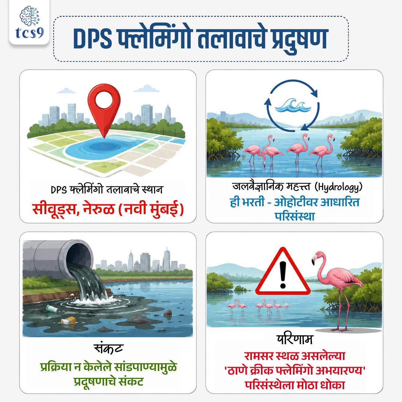 Toxic Inflow Triggers Ecological Emergency at DPS Flamingo Lake
📚 Subject : GS - पर्यावरण - वने आणि जैवविविधता, प्रदुषण
सरळसेवा, तलाठी, वनरक्षक, पोलीस भरती, अग्निवीर , रेल्वे भरती, SSC GD, MPSC, UPSC परीक्षेसाठी विचारलेले / संभाव्य महत्त्वपूर्ण प्रश्न
प्रश्न) पाण्याच्या प्रदूषणामुळे नुकताच चर्चेत आलेला आणि हंस पक्ष्यांसाठी (Flamingos) प्रसिद्ध असलेला 'डीपीएस फ्लेमिंगो तलाव' (DPS Flamingo Lake) महाराष्ट्रात खालीलपैकी कोणत्या ठिकाणी स्थित आहे ?
1. नवी मुंबई
2. रत्नागिरी
3. ठाणे
4. पालघर
उत्तर : नवी मुंबई
📰 बातमी काय ?
• नवी मुंबई (नेरुळ) येथील 'डीपीएस फ्लेमिंगो लेक' (DPS Flamingo Lake) मध्ये प्रदूषित खाडीचे पाणी शिरत असल्याचे एका पर्यावरण अभ्यास अहवालातून समोर आले आहे.
• नवी मुंबई एन्व्हायर्नमेंट प्रिझर्व्हेशन सोसायटी (NMEPS) आणि नॅटकनेक्ट फाउंडेशन (NatConnect Foundation) द्वारे हा अभ्यास करण्यात आला असून, या प्रदूषणामुळे रामसर स्थळ असलेल्या 'ठाणे क्रीक फ्लेमिंगो अभयारण्य' परिसंस्थेला मोठा धोका निर्माण झाला आहे.
🧐 पाणी गुणवत्ता चाचणीचे निष्कर्ष (Water Quality Findings) :
टोटल डिझॉल्व्हड सॉलिड्स (TDS)-
• पाण्यात विरघळलेल्या घनकचऱ्याचे प्रमाण 19,600 mg/L आढळले.
• ही पातळी 'IS 2490:1974' च्या अंतर्देशीय भूपृष्ठावरील पाण्याच्या मानकांनुसार पात्र मर्यादेपेक्षा (2,100 mg/L) 9 पट जास्त आहे.
बायोकेमिकल ऑक्सिजन डिमांड (BOD):
• BOD ची पातळी 36.4 mg/L नोंदवली गेली, जी निश्चित मर्यादेपेक्षा अत्यंत जास्त आहे.
• हे पाण्यात मोठ्या प्रमाणात सेंद्रिय प्रदूषण (Organic Pollution) असल्याचे दर्शवते.
प्रदूषणाची मुख्य कारणे :
• समुद्राच्या भरतीच्या पाण्यात मिसळणारे प्रक्रिया न केलेले सांडपाणी (Sewage) आणि शहरी पाण्याचा प्रवाह (Urban Runoff).
🏝️ DPS सिमला/फ्लेमिंगो पाणथळ क्षेत्राबद्दल परीक्षेसाठी IMP माहिती :
• स्थान - सीवूड्स, नेरुळ (नवी मुंबई), महाराष्ट्र.
• क्षेत्रफळ - सुमारे 30 एकर क्षेत्रात विस्तारलेली ही पाणथळ जमीन 'ठाणे क्रीक रामसर स्थळाला' (Thane Creek Ramsar Site) लागून आहे.
• जलवैज्ञानिक महत्त्व (Hydrology) - ही भरती-ओहोटीवर (Tidal Cycle) आधारित परिसंस्था आहे.
• सेंट्रल एशियन फ्लायवे (Central Asian Flyway) - आंतरराष्ट्रीय स्तरावर स्थलांतर करणाऱ्या पक्ष्यांच्या मार्गावरील (Flyway) हा एक अत्यंत महत्त्वाचा थांबा (Feeding & Roosting Habitat) आहे.
• नैसर्गिक संरक्षक भिंत (Ecological Buffer) - ही पाणथळ जमीन समुद्राच्या पाण्याच्या आक्रमणापासून आणि पुरापासून शहराचा बचाव करणारे नैसर्गिक कवच (Buffer) म्हणून काम करते.
⛳️ ठाणे खाडी फ्लेमिंगो अभयारण्य (TCFS) व रामसर दर्जा:
• ठाणे खाडी परिसराला ऑगस्ट 2022 मध्ये 'रामसर स्थळ' (Ramsar Site) म्हणून मान्यता मिळाली.
• ठाणे खाडी फ्लेमिंगो अभयारण्य हे महाराष्ट्रातील 3 रे रामसर स्थळ आहे.
📚📚 संदर्भ : पर्यावरण ( Static GS)
🤔 'जैवरासायनिक ऑक्सिजन मागणी' म्हणजे काय ?
(Biochemical Oxygen Demand)
सोप्या भाषेत सांगायचे तर, BOD म्हणजे पाण्याचे प्रदूषण मोजण्याचे थर्मामीटर आहे.
सेंद्रिय कचरा (Organic Waste) - जेव्हा नदी, तलाव किंवा खाडीच्या पाण्यात गटाराचे सांडपाणी, वनस्पतींचे अवशेष किंवा मृत सजीव मिसळतात, तेव्हा पाण्यात सेंद्रिय कचरा वाढतो.
सूक्ष्मजीवांचे काम (Bacteria's Job) - या कचऱ्याला खाऊन नष्ट करण्यासाठी पाण्यात जीवाणू (Bacteria) काम करू लागतात.
ऑक्सिजनचा वापर - हा कचरा पचवण्यासाठी किंवा विघटित (Decompose) करण्यासाठी जीवाणूंना ऑक्सिजनची गरज असते.
🧐 हे कसे कार्य करते ?
कमी प्रदूषण = कमी BOD (चांगले पाणी) :
• पाण्यात कचरा कमी असेल → बॅक्टेरियांना तो पचवायला कमी ऑक्सिजन लागेल →म्हणजे BOD कमी असेल (पाणी स्वच्छ आहे).
जास्त प्रदूषण = जास्त BOD (प्रदूषित पाणी):
• पाण्यात कचरा जास्त असेल → तो पचवण्यासाठी बॅक्टेरियांना जास्त ऑक्सिजन लागेल → म्हणजे BOD जास्त असेल (पाणी प्रदूषित आहे).
🧐 त्याचा पाण्यातील जीवांवर काय परिणाम होतो ?
• जेव्हा बॅक्टेरिया पाण्यातील सगळा विरघळलेला ऑक्सिजन (DO - Dissolved Oxygen) कचरा पचवण्यासाठी वापरून टाकतात, तेव्हा पाण्यातील ऑक्सिजन संपतो.
• परिणामी, मासे आणि इतर जलचरांना श्वास घ्यायला ऑक्सिजन मिळत नाही आणि ते गुदमरून मरतात.
🤔 सेंट्रल एशियन फ्लायवे (CAF) काय आहे ?
• आर्क्टिक महासागरापासून हिंदी महासागरापर्यंत पसरलेला हा जलचर/स्थलांतरित पक्ष्यांचा प्रमुख मार्ग आहे, ज्यामध्ये भारत मध्यवर्ती भागात येतो.
🔑 परीक्षेच्या दृष्टीने IMP रिव्हिजन पॉईंट्स : DPS Lake
• DPS फ्लेमिंगो तलावाचे स्थान → सीवूड्स, नेरुळ (नवी मुंबई)
• जलवैज्ञानिक महत्त्व (Hydrology) → ही भरती-ओहोटीवर आधारित परिसंस्था
• संकट → प्रक्रिया न केलेले सांडपाण्यामुळे प्रदूषणाचे संकट
• परिणाम → रामसर स्थळ असलेल्या 'ठाणे क्रीक फ्लेमिंगो अभयारण्य' परिसंस्थेला मोठा धोका
Toxic Inflow Triggers Ecological Emergency at DPS Flamingo Lake, DPS Flamingo Lake & Wetland Crisis, Polluted Creek Water Threatens DPS Flamingo Lake Wetland, Navi Mumbai Environment Preservation Society (NMEPS), NatConnect Foundation, Biochemical Oxygen Demand, Seawoods, Navi Mumbai, Maharashtra, Thane Creek Ramsar Site, pollution, environment notes vanrakshak bharti, forest guard, paryavaran notes,
प्रश्न) पाण्याच्या प्रदूषणामुळे नुकताच चर्चेत आलेला आणि हंस पक्ष्यांसाठी (Flamingos) प्रसिद्ध असलेला 'डीपीएस फ्लेमिंगो तलाव' (DPS Flamingo Lake) महाराष्ट्रात खालीलपैकी कोणत्या ठिकाणी स्थित आहे ?
1. नवी मुंबई
2. रत्नागिरी
3. ठाणे
4. पालघर
उत्तर : नवी मुंबई
• स्थान: DPS फ्लेमिंगो तलाव हा महाराष्ट्रातील नवी मुंबई (सीवूड्स, नेरुळ) या ठिकाणी स्थित आहे.
• चालू घडामोडी संदर्भ : नवी मुंबई एन्व्हायर्नमेंट प्रिझर्व्हेशन सोसायटी (NMEPS) आणि नॅटकनेक्ट फाउंडेशनच्या अभ्यासानुसार, खाडीचे प्रदूषित सांडपाणी शिरल्यामुळे या तलावातील पाण्याचा टोटल डिझॉल्व्हड सॉलिड्स (TDS) आणि 'जैवरासायनिक ऑक्सिजन मागणी' (बायोकेमिकल ऑक्सिजन डिमांड -BOD) धोकादायक पातळीवर पोहोचला आहे.
• पर्यावरणीय महत्त्व : हा तलाव ठाणे खाडी रामसर स्थळाचा भाग असून, मध्य आशियाई उड्डाण मार्गावरून (Central Asian Flyway) येणाऱ्या हजारो स्थलांतरित फ्लेमिंगो पक्ष्यांचा हा एक महत्त्वाचा नैसर्गिक निवारा आहे.
प्रश्न 2) जलप्रदूषणाच्या संदर्भात 'जैवरासायनिक ऑक्सिजन मागणी' (Biochemical Oxygen Demand - BOD) बद्दल खालील विधाने विचारात घ्या :
अ) पाण्यात सेंद्रिय कचऱ्याचे (Organic Waste) प्रमाण वाढल्यास सूक्ष्मजीवांद्वारे त्याच्या विघटनासाठी लागणारी BOD ची पातळी वाढते.
ब) BOD ची उच्च पातळी हे संबंधित पाणी अत्यंत स्वच्छ आणि पिण्यायोग्य असल्याचे दर्शवते.
क) पाण्यात BOD चे प्रमाण अतिप्रमाणात वाढल्यास विरघळलेला ऑक्सिजन (Dissolved Oxygen - DO) कमी होऊन जलचरांना धोका निर्माण होतो.
वरीलपैकी कोणती विधाने बरोबर आहेत ?
1. फक्त अ आणि ब
2. फक्त ब आणि क
3. फक्त अ आणि क
4. अ, ब आणि क सर्व बरोबर
उत्तर : 3. फक्त अ आणि क
✅ विधान अ बरोबर आहे -
• जेव्हा पाण्यात सांडपाणी, वनस्पतींचे अवशेष किंवा सेंद्रिय कचरा मिसळतो, तेव्हा सूक्ष्मजीवांना (जीवाणूंना) त्याचे विघटन करण्यासाठी जास्त ऑक्सिजन लागतो, म्हणजेच BOD वाढतो.
❌ विधान ब चुकीचे आहे -
• BOD ची उच्च पातळी हे पाणी अत्यंत प्रदूषित असल्याचे दर्शवते (स्वच्छ पाण्यासाठी BOD ची पातळी खूप कमी असते).
✅ विधान क बरोबर आहे -
• बॅक्टेरिया सेंद्रिय कचरा पचवण्यासाठी पाण्यातील विरघळलेला ऑक्सिजन (DO) वापरतात.
• BOD वाढल्यास पाण्यातील विरघळलेला ऑक्सिजन संपतो आणि मासे व इतर जलचर गुदमरून मरतात.
✍️ Exam Trick :
• BOD जास्त → पाण्याचे प्रदूषण जास्त → पाण्यात विरघळलेला ऑक्सिजन (DO) कमी
