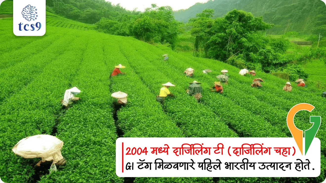 GI टॅग मिळवणारे पहिले भारतीय उत्पादन कोणते ?
• 2004 मध्ये दार्जिलिंग टी (दार्जिलिंग चहा) GI टॅग मिळवणारे पहिले भारतीय उत्पादन होते.