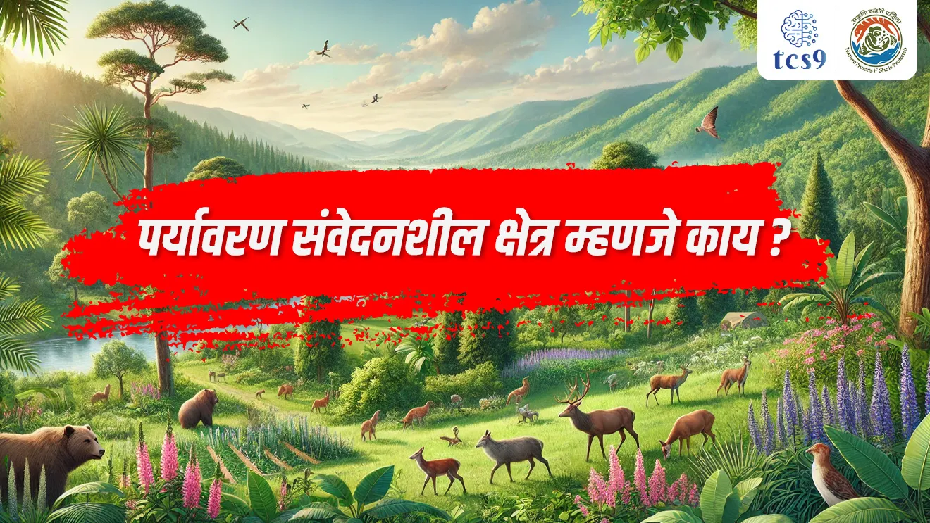 ( Paryavarn Sanvedanshil Pradesh Mhanje kay | Eco Sensitive Zone mhanje kay | Gujarat | Rashtiya Vanyajiv Kruti Arakhadanusar | Shock Absorbers | Transition Zone | Sankraman Shetra | Paryavaran Sanvedhanshil Shetra madhe kontya goshtina parvangi ahe | parvangi nahi | Gir Sanrakshit Shetra | Maharashtrat paryavaran sanvedanshil shetra ahet ka )( tcs chalu ghadamodi | ibps chalu ghadamodi | current Affair |&nbsp; chalu Ghadamodi Marathi |&nbsp; current Affair marathi madhe | 2024 cha chalu Ghadamodi |&nbsp; police Bharti chalu Ghadamodi |&nbsp; police Bharti prashnasanch |&nbsp; police Bharti GK prashna |&nbsp; Mpsc chalu Ghadamodi |&nbsp; sarkari Naukri |&nbsp; sarkari job |&nbsp; sarkari yojna |&nbsp; Maharashtra cha chalu Ghadamodi |&nbsp; Maharashtra government yojna |&nbsp; PSI syllabus | PSI cutoff |&nbsp; police Bharti syllabus |&nbsp; police Bharti cutoff |&nbsp; police Bharti merit |&nbsp; MPSC Sathi book |&nbsp; MPSC Sathi pustak |&nbsp; police Bharti Sathi pustak |&nbsp; police Bharti magil prashnapatrika |&nbsp; MPSC previous years question papers |&nbsp; Mumbai police Bharti |&nbsp; Mumbai police Bharti Lekhi kadhi ahe |&nbsp; government GR |&nbsp; police Bharti result |&nbsp; MPSC result |&nbsp; SSC GD merit |&nbsp; sscgd syllabus |&nbsp; army Bharti merit |&nbsp; army Bharti result |&nbsp; UPSC Marathi |&nbsp; combine pariksha |&nbsp; talathi |&nbsp; talathi syllabus |&nbsp; talathi cutoff |&nbsp; talathi book list |&nbsp; talathi result |&nbsp; talathi merit |&nbsp; talathi jaga kiti ahe |&nbsp; saralseva exam |&nbsp; saralseva pariksha |&nbsp; saralseva result |&nbsp; zilha parishad Bharti |&nbsp; zilha parishad prashnapstrika )