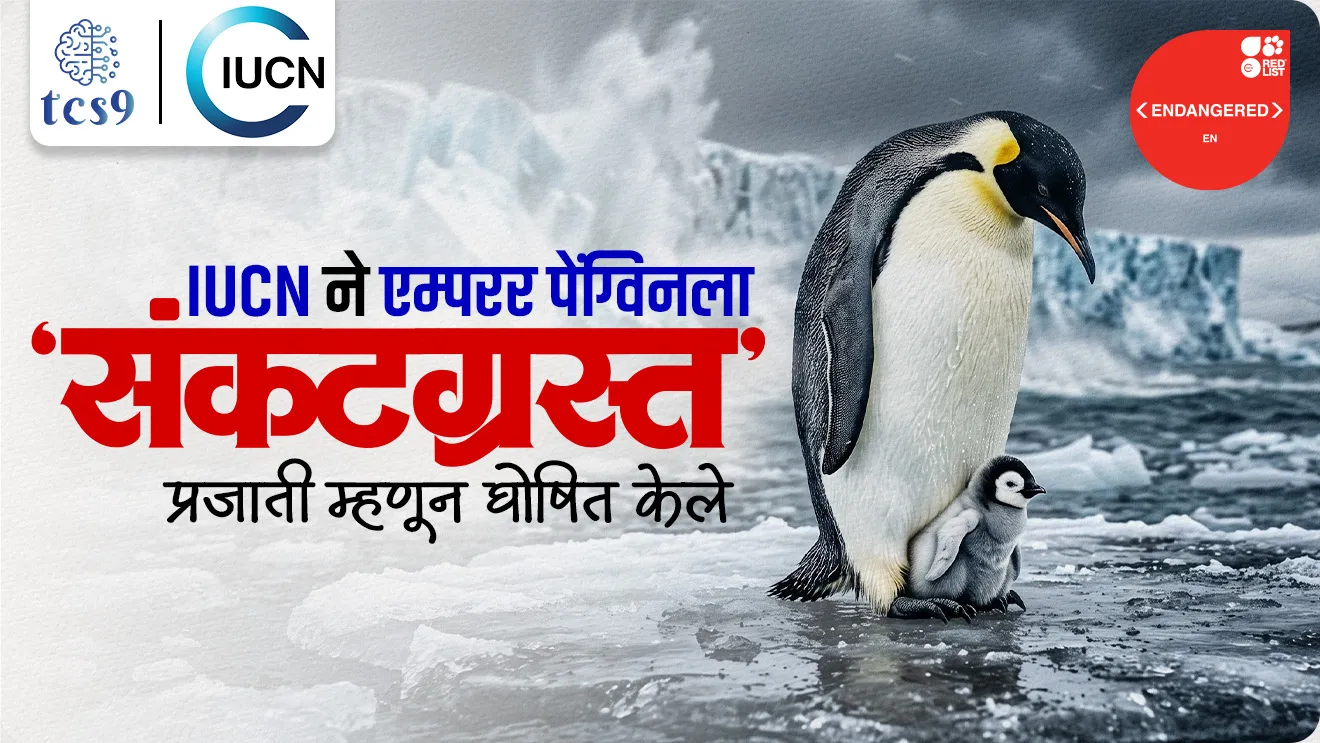 Emperor Penguin Declared as Endangered by IUCN, ‘Sentinel Species’, International Union for Conservation of Nature, Emperor Penguin, endangered species, climate change impacts, paryavaran notes environment notes, vanrakshak bharti, forest guard, paryavaran, world current affair, jagtik ghadamodi, world news, Chalu Ghadamodi 2025, Chalu Ghadamodi Marathi, Chalu Ghadamodi PDF Download, Chalu Ghadamodi Test Series, Chalu Ghadamodi Prashnottare, Mahatvachya Chalu Ghadamodi, Chalu Ghadamodi Sarav Prashna, Darrojchya Chalu Ghadamodi, Chalu Ghadamodi Marathi Masik, Talathi Chalu Ghadamodi 2025, Talathi Bharti Chalu Ghadamodi, Talathi Spardha Pariksha Chalu Ghadamodi, RRB Group D Chalu Ghadamodi Marathi, Railway Bharti Chalu Ghadamodi, RRB Sarav Prashna Chalu Ghadamodi, Maharashtra Police Bharti Chalu Ghadamodi, Police Bharti Chalu Ghadamodi Prashnottare, Maharashtra Police Chalu Ghadamodi 2025, SSC GD Chalu Ghadamodi Marathit, SSC Bharti Chalu Ghadamodi, SSC Prashnsancha Chalu Ghadamodi, Vanrakshak Bharti Chalu Ghadamodi, Vanrakshak Pariksha Chalu Ghadamodi, Vanrakshak Prashnapatrika Chalu Ghadamodi, Agniveer Bharti Chalu Ghadamodi 2025, Agniveer Spardha Pariksha Chalu Ghadamodi, Agniveer Sarav Prashna Chalu Ghadamodi, tcs chalu ghadamodi, ibps chalu ghadamodi, chalu Ghadamodi Marathi,   current Affair marathi madhe, 2024 cha chalu Ghadamodi,   police Bharti chalu Ghadamodi,   police Bharti prashnasanch,   police Bharti GK prashna,   Mpsc chalu Ghadamodi,   sarkari Naukri,   sarkari job,   sarkari yojna,   Maharashtra cha chalu Ghadamodi,   Maharashtra government yojna,   PSI syllabus, PSI cutoff,   police Bharti syllabus,   police Bharti cutoff,   police Bharti merit,   MPSC Sathi book,   MPSC Sathi pustak,   police Bharti Sathi pustak,   police Bharti magil prashnapatrika,   MPSC previous years question papers,   Mumbai police Bharti,   Mumbai police Bharti Lekhi kadhi ahe,   government GR,   police Bharti result,   MPSC result,   SSC GD merit,   sscgd syllabus,   army Bharti merit,   army Bharti result,   UPSC Marathi,   combine pariksha,   talathi,   talathi syllabus,   talathi cutoff,   talathi book list,   talathi result,   talathi merit, tcs mock test, tcs pattern, ibps pattern, tcs pyq, tcs sarav paper, tcs talathi paper, tcs pattern notes, tcs prashnasanch, tcs gk gs, tcs maths, tcs talathi,  talathi jaga kiti ahe,   saralseva exam,   saralseva pariksha,   saralseva result,   zilha parishad Bharti,   zilha parishad prashnapstrika, dinvishesh, Chalu Ghadamodi Marathi madhun, current Affair marathi madhe, headline-news, maharashtra-news, jhattpatt-batmya, pib, marathi batmya, government new channel, Pib, akashvani, the Hindu, Indian express, Loksatta, Lokmat, Dainik Bhaskar, sansad news, editorial, sampadkiya, vishleshan, Loksabha news, rajyasabha news, SSC GD notes, sscgd question papers, sscgd exam answer, results, SSC GD admit card, sscgd ground, exam centre, mpsc main answer writing, maharashtra police recruitment 2025, maharashtra police exam updates, maharashtra police bharti latest news, maharashtra police exam calendar 2025, maharashtra police exam syllabus pdf download, maharashtra police bharti exam pattern 2025, maharashtra police constable syllabus, physical test details maharashtra police, maharashtra police bharti admit card 2025, maharashtra police hall ticket download, maharashtra police exam admit card date, maharashtra police study material pdf, maharashtra police exam preparation tips, maharashtra police mock tests free, best books for maharashtra police exam, maharashtra police bharti previous year papers pdf, maharashtra police constable sample papers, maharashtra police si model question papers, maharashtra police eligibility criteria 2025, age limit for maharashtra police bharti, educational qualification maharashtra police, maharashtra police result 2025, maharashtra police merit list, maharashtra police exam cutoff marks, maharashtra police online application 2025, maharashtra police physical test details, document verification for maharashtra police bharti, maharashtra police recruitment 2024, maharashtra police exam calendar 2024, maharashtra police bharti exam pattern 2024, maharashtra police bharti admit card 2024, maharashtra police eligibility criteria 2024, maharashtra police result 2024, maharashtra police online application 2024, RRB Group D, Railway Group D, Railway Recruitment Board Group D, Railway Group D Exam, Railway Group Notification, Railway Group D Vacancy, Railway Group D Syllabus, Railway Group D Eligibility, Railway Group D Application, Railway Group D Admit Card, Railway Group D Result, Railway Group D Cut Off, Railway Group D Salary, Railway Group D Jobs, RRB Group D Study Material, RRB Group D Previous Papers,  RRB Group D Mock Tests, RRB Group D Exam Pattern, current Affair, General Science, GK, GS, General  Awareness, current  affairs marathi , Mathematics, General Intelligence and reasoning, RRB chalu Ghadamodi, RRB Group D marathi notes, samanya vinyan, samanya, nyan, railway notes marathi madhe, railway pagar, pagar ani bhatta, railway bharti notes marathi, railway bhartichi tayari kashi karaychi, railway bharti magil varshanche prashnapatrika, railway bhartipyq, railway bharti prashnasanch, railway bharti test paper, railwetvnokrichi sandhi, railway job, railway bharticha syllabus, railway bharti pattern, railway bharti imp prashn, railway bhartila vicharle janare prashn, competitive exam, spardha parisha, railway bharti online class, railway bharti class, railway bharti chi tayari kashi karaychi,  RRB Group D Syllabus, RRB Group D Previous Papers, RRB Group D Exam Pattern, RRB Group D Eligibility Criteria, RRB Group D Notification, RRB Group D Application, RRB Group D Admit Card, RRB Group D Result, RRB Group D Cut Off, RRB Group D Salary, RRB Group D Jobs, RRB Group D Coaching, RRB Group D Study Material, RRB Group D Mock Tests, Railway Group D Level 1, RRB Group D 2025, RRB Group D Level 1, RRB Group D Posts, RRB Group D Exam Pattern, RRB Group D Exam Date, RRB Group D Online Application, RRB Group D Previous Papers, RRB Group D Preparation Tips, RRB Group D Study Material, RRB Group D Coaching, RRB Group D Mock Tests, How to prepare for RRB Group D exam, RRB Group D exam syllabus 2025, RRB Group D eligibility criteria 2025, RRB Group D application form 2025, RRB Group D admit card download, RRB Group D result date 2025, RRB Group D cut off marks 2025, RRB Group D salary and allowances, Best books for RRB Group D exam, Online coaching for RRB Group D, Railway Group D , RRB Group D, Railway Jobs , Government Jobs, Railway Recruitment, RRB Group D Exam, Railway Group D Vacancy, RRB Group D Notification, Railway Group D Application, RRB Group D Salary, aajcha dinveshesh, suvichaar, jagtik dinveshsh, dinveshsh