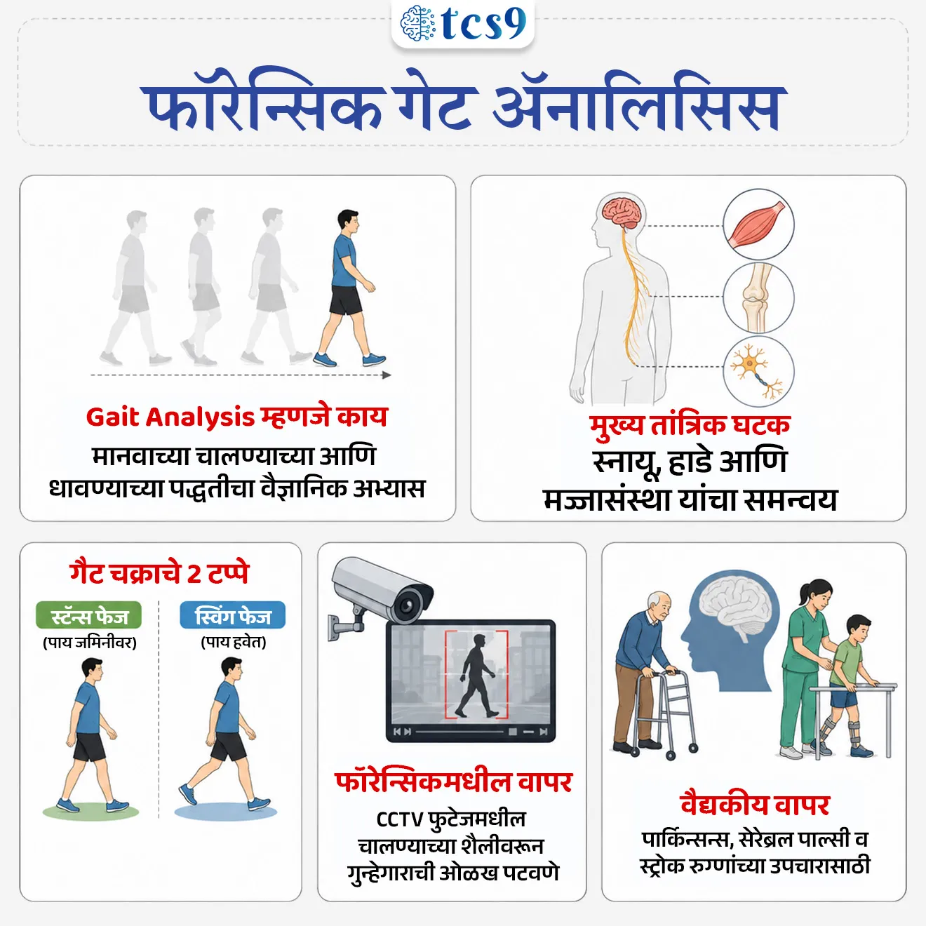 Use of forensic Gait Analysis in the Pune murder case
📚 Subject : GS - विज्ञान आणि तंत्रज्ञान, कायदे
सरळसेवा, तलाठी, वनरक्षक, पोलीस भरती, अग्निवीर , रेल्वे भरती, SSC GD, MPSC, UPSC परीक्षेसाठी विचारलेले / संभाव्य महत्त्वपूर्ण प्रश्न
प्रश्न) अलीकडेच गुन्हे तपासात आणि CCTV फुटेज विश्लेषणात वापरण्यात येणारे 'गेट ॲनालिसिस' (Gait Analysis) हे तंत्रज्ञान खालीलपैकी कशाशी संबंधित आहे ?
1. मानवी आवाजाचे तरंग आणि फ्रीक्वन्सी विश्लेषण
2. मानवी चालण्याच्या आणि धावण्याच्या पद्धतीचा वैज्ञानिक अभ्यास
3. रक्ताचे नमुने आणि डीएनए (DNA) फिंगरप्रिंटिंग
4. हस्तक्षर आणि कागदपत्रांची बनावटगिरी ओळखणे
उत्तर : मानवी चालण्याच्या आणि धावण्याच्या पद्धतीचा वैज्ञानिक अभ्यास
📰 बातमी काय ?
• पुण्यातील एका नुकत्याच घडलेल्या हत्या प्रकरणाच्या तपासात, पोलिसांनी आणि तपास यंत्रणांनी संशयित आरोपीची ओळख पटवण्यासाठी 'फॉरेन्सिक गेट ॲनालिसिस' (Forensic Gait Analysis) आणि AI-आधारित CCTV फुटेज विश्लेषणाचा वापर केला आहे.
• CCTV फुटेज अस्पष्ट असले तरी व्यक्तीच्या चालण्याच्या किंवा धावण्याच्या विशिष्ट पद्धतीवरून (Gait) त्याची अचूक ओळख पटवणे या तंत्रज्ञानामुळे शक्य झाले आहे.
🧐 गेट ॲनालिसिस (Gait Analysis) म्हणजे काय ?
A) संकल्पना:
• गेट ॲनालिसिस म्हणजे मानवी चालण्याच्या किंवा धावण्याच्या पद्धतीचा वैज्ञानिक अभ्यास (Scientific Study) होय.
• चालणे किंवा धावणे ही स्नायू (Muscles), हाडे (Bones) आणि मज्जासंस्था (Nervous System) यांच्यातील गुंतागुंतीच्या समन्वयाने होणारी क्रिया आहे.
• या सर्व घटकांच्या समन्वयाचे पृथक्करण करून व्यक्तीची विशिष्ट चालण्याची शैली स्पष्ट केली जाते.
B) गेट चक्र (Gait Cycle):
• एका पायाचा जमिनीला स्पर्श झाल्यापासून ते पुन्हा त्याच पायाचा जमिनीला स्पर्श होईपर्यंतच्या सर्व हालचालींच्या क्रमाला 'गेट चक्र' (Gait Cycle) म्हणतात.
• याचे दोन मुख्य टप्पे असतात -
१) स्टॅन्स फेज (Stance Phase) - जेव्हा पाय जमिनीच्या संपर्कात असतो आणि शरीराचे संपूर्ण वजन पेलतो.
२) स्विंग फेज (Swing Phase) - जेव्हा पाय हवेत असतो आणि पुढील पाऊल टाकण्यासाठी पुढे सरकत असतो.
🩺 गेट ॲनालिसिसचे विविध क्षेत्रांतील उपयोग (Applications) :
1) फॉरेन्सिक तपास (Forensic Crime Investigation) - सीसीटीव्ही फुटेजमधील एखाद्या व्यक्तीच्या चालण्याच्या शैलीची तुलना संशयित आरोपीच्या प्रत्यक्ष चालण्याच्या शैलीशी करून गुन्हेगाराची ओळख पटवली जाते.
2) वैद्यकीय उपचार (Clinical Study) - पार्किन्सन्स (Parkinson's Disease), सेरेब्रल पाल्सी (Cerebral Palsy) आणि स्ट्रोकनंतरच्या (Post-Stroke) रुग्णांमधील हालचालींमधील व्यंग किंवा त्रुटी ओळखण्यासाठी डॉक्टर याचा वापर करतात.
3) क्रीडा क्षेत्र (Sports Science) - धावपटू आणि खेळाडू आपल्या धावण्याचा वेग वाढवण्यासाठी आणि दुखापती टाळण्यासाठी या तंत्रज्ञानाचा वापर करतात.
🔑 परीक्षेच्या दृष्टीने IMP रिव्हिजन पॉईंट्स : Forensic Gait Analysis
• Gait Analysis म्हणजे काय → मानवाच्या चालण्याच्या आणि धावण्याच्या पद्धतीचा वैज्ञानिक अभ्यास
• मुख्य तांत्रिक घटक → स्नायू, हाडे आणि मज्जासंस्था यांचा समन्वय
• गैट चक्राचे २ टप्पे → स्टॅन्स फेज (पाय जमिनीवर) व स्विंग फेज (पाय हवेत)
• फॉरेन्सिकमधील वापर → CCTV फुटेजमधील चालण्याच्या शैलीवरून गुन्हेगाराची ओळख पटवणे
• वैद्यकीय वापर → पार्किन्सन्स, सेरेब्रल पाल्सी व स्ट्रोक रुग्णांच्या उपचारासाठी
Use of forensic Gait Analysis in the Pune murder case, Gait Analysis, Science, Technology & Forensic Investigation, How Gait Analysis Could Help Crack Ketan Agarwal Murder Case, science and technology notes, Vinyan ani tantranyan, Bharatiya Sakshya Adhiniyam, 2023, Indian Law, bhartiya kayde, IPC Section, indian kanoon,
प्रश्न) अलीकडेच गुन्हे तपासात आणि CCTV फुटेज विश्लेषणात वापरण्यात येणारे 'गेट ॲनालिसिस' (Gait Analysis) हे तंत्रज्ञान खालीलपैकी कशाशी संबंधित आहे ?
1. मानवी आवाजाचे तरंग आणि फ्रीक्वन्सी विश्लेषण
2. मानवी चालण्याच्या आणि धावण्याच्या पद्धतीचा वैज्ञानिक अभ्यास
3. रक्ताचे नमुने आणि डीएनए (DNA) फिंगरप्रिंटिंग
4. हस्तक्षर आणि कागदपत्रांची बनावटगिरी ओळखणे
उत्तर : मानवी चालण्याच्या आणि धावण्याच्या पद्धतीचा वैज्ञानिक अभ्यास
⚛️ संकल्पना -
• गेट ॲनालिसिस म्हणजे मानवी चालण्याच्या किंवा धावण्याच्या पद्धतीचा वैज्ञानिक अभ्यास (Scientific Study) होय.
• चालणे किंवा धावणे ही स्नायू (Muscles), हाडे (Bones) आणि मज्जासंस्था (Nervous System) यांच्यातील गुंतागुंतीच्या समन्वयाने होणारी क्रिया आहे.
• या सर्व घटकांच्या समन्वयाचे पृथक्करण करून व्यक्तीची विशिष्ट चालण्याची शैली स्पष्ट केली जाते.
• अलिकडेच, पुणे हत्या प्रकरणातील सीसीटीव्ही फुटेजवरून आरोपीची ओळख पटवण्यासाठी याचा वापर करण्यात आला आहे.
प्रश्न 2) गुन्हे तपासातील 'फॉरेन्सिक गेट ॲनालिसिस' (Forensic Gait Analysis) तंत्रज्ञानाबाबत खालील विधाने विचारात घ्या:
अ) ही मानवाच्या चालण्याच्या किंवा धावण्याच्या वैशिष्ट्यपूर्ण बायोमेकॅनिकल शैलीचा अभ्यास करणारी वैज्ञानिक पद्धत आहे.
ब) बोटांचे ठसे (Fingerprints) आणि डोळ्यांचे स्कॅन (Iris Scan) प्रमाणेच प्रत्येक व्यक्तीची चालण्याची शैली ही अद्वितीय (Unique) मानली जाते.
क) भारतीय पुरावा कायद्यानुसार (भारतीय साक्ष अधिनियम) सीसीटीव्ही फुटेजवरील गेट ॲनालिसिसचा अहवाल न्यायालयात तज्ज्ञांचे मत (Expert Opinion) म्हणून सादर करता येतो.
वरीलपैकी कोणती विधाने बरोबर आहेत ?
1. फक्त अ आणि ब
2. फक्त ब आणि क
3. फक्त अ आणि क
4. अ, ब आणि क सर्व बरोबर
उत्तर : अ, ब आणि क सर्व बरोबर
⚛️ संकल्पना -
• गेट ॲनालिसिस म्हणजे मानवी चालण्याच्या किंवा धावण्याच्या पद्धतीचा वैज्ञानिक अभ्यास (Scientific Study) होय.
• चालणे किंवा धावणे ही स्नायू (Muscles), हाडे (Bones) आणि मज्जासंस्था (Nervous System) यांच्यातील गुंतागुंतीच्या समन्वयाने होणारी क्रिया आहे.
• या सर्व घटकांच्या समन्वयाचे पृथक्करण करून व्यक्तीची विशिष्ट चालण्याची शैली स्पष्ट केली जाते.
⚖️ भारतीय साक्ष अधिनियम, 2023 -
• भारतीय साक्ष अधिनियम, 2023 मधील कलम 39 नुसार, सीसीटीव्ही (CCTV) फुटेजच्या आधारे तयार केलेला फॉरेन्सिक गेट ॲनालिसिस अहवाल (Forensic Gait Analysis) न्यायालयात 'तज्ज्ञांचे मत' (Expert Opinion) म्हणून ग्राह्य धरला जातो.
• पुण्यातील नुकत्याच घडलेल्या एका हत्या प्रकरणाच्या तपासात संशयित आरोपीची ओळख पटवण्यासाठी तपास यंत्रणांनी या तंत्रज्ञानाचा आणि AI-सीसीटीव्ही विश्लेषणाचा यशस्वी वापर केला आहे.