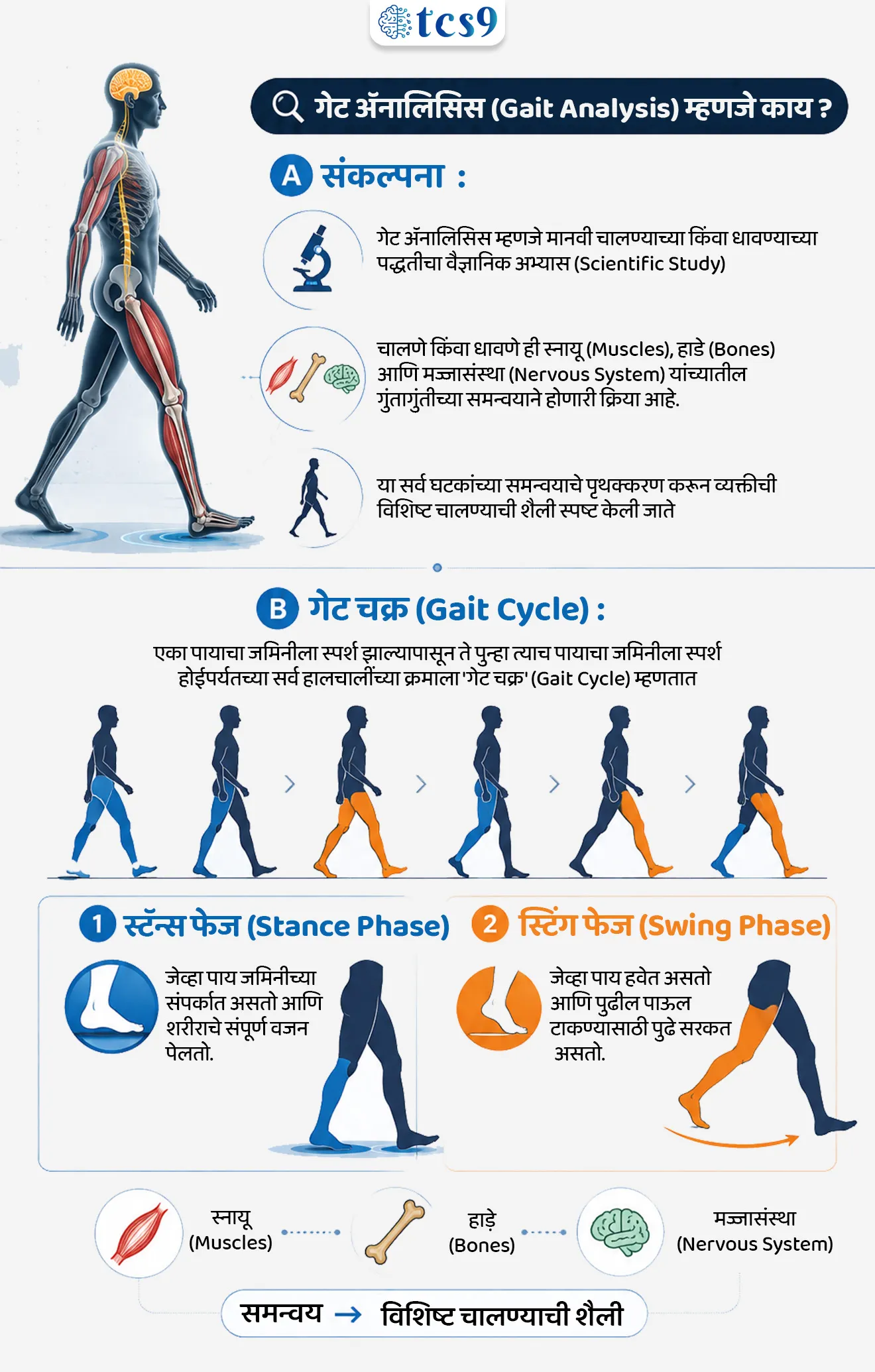 Use of forensic Gait Analysis in the Pune murder case
📚 Subject : GS - विज्ञान आणि तंत्रज्ञान, कायदे
सरळसेवा, तलाठी, वनरक्षक, पोलीस भरती, अग्निवीर , रेल्वे भरती, SSC GD, MPSC, UPSC परीक्षेसाठी विचारलेले / संभाव्य महत्त्वपूर्ण प्रश्न
प्रश्न) अलीकडेच गुन्हे तपासात आणि CCTV फुटेज विश्लेषणात वापरण्यात येणारे 'गेट ॲनालिसिस' (Gait Analysis) हे तंत्रज्ञान खालीलपैकी कशाशी संबंधित आहे ?
1. मानवी आवाजाचे तरंग आणि फ्रीक्वन्सी विश्लेषण
2. मानवी चालण्याच्या आणि धावण्याच्या पद्धतीचा वैज्ञानिक अभ्यास
3. रक्ताचे नमुने आणि डीएनए (DNA) फिंगरप्रिंटिंग
4. हस्तक्षर आणि कागदपत्रांची बनावटगिरी ओळखणे
उत्तर : मानवी चालण्याच्या आणि धावण्याच्या पद्धतीचा वैज्ञानिक अभ्यास
📰 बातमी काय ?
• पुण्यातील एका नुकत्याच घडलेल्या हत्या प्रकरणाच्या तपासात, पोलिसांनी आणि तपास यंत्रणांनी संशयित आरोपीची ओळख पटवण्यासाठी 'फॉरेन्सिक गेट ॲनालिसिस' (Forensic Gait Analysis) आणि AI-आधारित CCTV फुटेज विश्लेषणाचा वापर केला आहे.
• CCTV फुटेज अस्पष्ट असले तरी व्यक्तीच्या चालण्याच्या किंवा धावण्याच्या विशिष्ट पद्धतीवरून (Gait) त्याची अचूक ओळख पटवणे या तंत्रज्ञानामुळे शक्य झाले आहे.
🧐 गेट ॲनालिसिस (Gait Analysis) म्हणजे काय ?
A) संकल्पना:
• गेट ॲनालिसिस म्हणजे मानवी चालण्याच्या किंवा धावण्याच्या पद्धतीचा वैज्ञानिक अभ्यास (Scientific Study) होय.
• चालणे किंवा धावणे ही स्नायू (Muscles), हाडे (Bones) आणि मज्जासंस्था (Nervous System) यांच्यातील गुंतागुंतीच्या समन्वयाने होणारी क्रिया आहे.
• या सर्व घटकांच्या समन्वयाचे पृथक्करण करून व्यक्तीची विशिष्ट चालण्याची शैली स्पष्ट केली जाते.
B) गेट चक्र (Gait Cycle):
• एका पायाचा जमिनीला स्पर्श झाल्यापासून ते पुन्हा त्याच पायाचा जमिनीला स्पर्श होईपर्यंतच्या सर्व हालचालींच्या क्रमाला 'गेट चक्र' (Gait Cycle) म्हणतात.
• याचे दोन मुख्य टप्पे असतात -
१) स्टॅन्स फेज (Stance Phase) - जेव्हा पाय जमिनीच्या संपर्कात असतो आणि शरीराचे संपूर्ण वजन पेलतो.
२) स्विंग फेज (Swing Phase) - जेव्हा पाय हवेत असतो आणि पुढील पाऊल टाकण्यासाठी पुढे सरकत असतो.
🩺 गेट ॲनालिसिसचे विविध क्षेत्रांतील उपयोग (Applications) :
1) फॉरेन्सिक तपास (Forensic Crime Investigation) - सीसीटीव्ही फुटेजमधील एखाद्या व्यक्तीच्या चालण्याच्या शैलीची तुलना संशयित आरोपीच्या प्रत्यक्ष चालण्याच्या शैलीशी करून गुन्हेगाराची ओळख पटवली जाते.
2) वैद्यकीय उपचार (Clinical Study) - पार्किन्सन्स (Parkinson's Disease), सेरेब्रल पाल्सी (Cerebral Palsy) आणि स्ट्रोकनंतरच्या (Post-Stroke) रुग्णांमधील हालचालींमधील व्यंग किंवा त्रुटी ओळखण्यासाठी डॉक्टर याचा वापर करतात.
3) क्रीडा क्षेत्र (Sports Science) - धावपटू आणि खेळाडू आपल्या धावण्याचा वेग वाढवण्यासाठी आणि दुखापती टाळण्यासाठी या तंत्रज्ञानाचा वापर करतात.
🔑 परीक्षेच्या दृष्टीने IMP रिव्हिजन पॉईंट्स : Forensic Gait Analysis
• Gait Analysis म्हणजे काय → मानवाच्या चालण्याच्या आणि धावण्याच्या पद्धतीचा वैज्ञानिक अभ्यास
• मुख्य तांत्रिक घटक → स्नायू, हाडे आणि मज्जासंस्था यांचा समन्वय
• गैट चक्राचे २ टप्पे → स्टॅन्स फेज (पाय जमिनीवर) व स्विंग फेज (पाय हवेत)
• फॉरेन्सिकमधील वापर → CCTV फुटेजमधील चालण्याच्या शैलीवरून गुन्हेगाराची ओळख पटवणे
• वैद्यकीय वापर → पार्किन्सन्स, सेरेब्रल पाल्सी व स्ट्रोक रुग्णांच्या उपचारासाठी