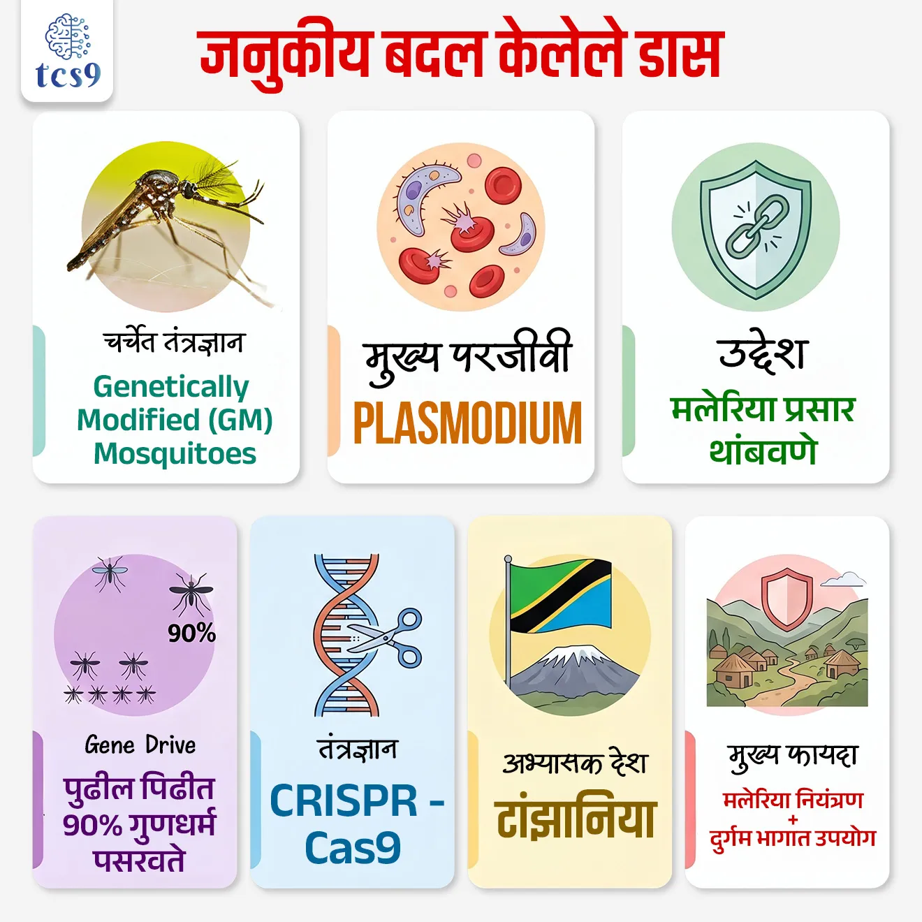 What are genetically modified mosquitoes ?


📚 Subject : GS - विज्ञान आणि तंत्रज्ञान

सरळसेवा, तलाठी, वनरक्षक, पोलीस भरती, अग्निवीर , रेल्वे भरती, SSC GD, MPSC, UPSC परीक्षेसाठी विचारलेले / संभाव्य महत्त्वपूर्ण  प्रश्न

प्रश्न) अलिकडेच कोणत्या देशात झालेल्या ऐतिहासिक संशोधनानुसार, जनुकीय बदल केलेल्या (GM) डासांनी मानवी शरीरात मलेरियाचा संसर्ग रोखण्यात मोठे यश मिळवले आहे ?

केनिया
युगांडा
टांझानिया
नायजेरिया

उत्तर : टांझानिया

📰 बातमी काय ?
टांझानियामध्ये (Tanzania) झालेल्या एका महत्त्वाच्या संशोधनात Genetically Modified (GM) Mosquitoes म्हणजेच जनुकीय बदल केलेले डास मलेरिया रोखण्यात प्रभावी ठरत असल्याचे आढळले आहे.
जैवतंत्रज्ञानातील (Biotechnology) हा शोध विज्ञान आणि आरोग्य क्षेत्रासाठी मैलाचा दगड मानला जात आहे.

🦟 Genetically Modified (GM) डास म्हणजे काय ?
सोप्या भाषेत सांगायचे तर, हे असे डास आहेत ज्यांच्या शरीरातील DNA (जनुकीय रचना) वैज्ञानिकांनी जाणीवपूर्वक बदलली आहे.
यामध्ये डासांच्या शरीरात विशेष जीन्स (Genes) टाकले जातात, ज्यामुळे ते मलेरिया पसरवणारे वाहक (Carrier) राहात नाहीत.
म्हणजे  डास चावतील, पण ते मलेरिया पसरवू शकणार नाहीत.

🧐 Genetically Modified डास तयार कसे केले जातात ?  
👉 शास्त्रज्ञांनी हे डास तयार करण्यासाठी खालील प्रगत जैव-तांत्रिक पद्धतींचा वापर केला आहे:
1) जीन ड्राईव्ह यंत्रणा (Gene Drive Mechanism) -  
सामान्यतः निसर्गात पालकांकडून पुढील पिढीकडे एखादे जनुक जाण्याची शक्यता 50% असते. 
परंतु, 'जीन ड्राईव्ह' तंत्रज्ञानामुळे हा बदल पुढील पिढीतील 90% पेक्षा जास्त डासांमध्ये हस्तांतरित होतो.
ज्यामुळे संपूर्ण जंगलातील डासांची प्रजाती वेगाने बदलून जनुकीय बदल केलेले डासांमध्ये होऊ शकते.

2) अँटी-पॅरासाईट रेणू (Anti-Parasite Molecules) -
डासांच्या आतड्यात (Midgut) विशिष्ट प्रतिपिंडे (Antibodies) तयार करणारी जनुके जोडली जातात. 
जेव्हा डास मानवी रक्त शोषून घेतो, तेव्हा हे रेणू सक्रिय होतात आणि मलेरियाच्या परजीवींचा (Parasites) डासाच्या पोटातच नायनाट करतात.

3) वंध्यत्व जनुके (Suppression Genes) - 
डासांची संख्या नियंत्रणात ठेवण्यासाठी डासांमधील 'doublesex' जनुकांना लक्ष्य केले जाते, ज्यामुळे मादी डास वंध्य (Sterile) बनतात आणि डासांची संख्या झपाट्याने कमी होते.

🎯 प्रमुख वैशिष्ट्ये (Key Features) : 
1) टप्प्याटप्प्याने चाचणी (Phased Testing) - सुरक्षेचा उपाय म्हणून संशोधक 'स्प्लिट जीन ड्राईव्ह' (Split Gene Drive) चा वापर करतात, जेणेकरून डास निसर्गात सोडण्यापूर्वी त्यांच्या प्रभावाची सुरक्षित चाचणी घेता येईल.
2) विशिष्ट प्रजाती लक्ष्य (Target Specificity) -  हे तंत्रज्ञान अत्यंत अचूक आहे. हे केवळ मलेरिया पसरवणाऱ्या विशिष्ट प्रजातीलाच (उदा. Anopheles gambiae) लक्ष्य करते, ज्यामुळे इतर उपयुक्त कीटकांना कोणतीही इजा होत नाही.
3) पर्यावरणीय टिकाऊपणा - रासायनिक कीटकनाशकांप्रमाणे हे पाण्यात वाहून जात नाही. जोपर्यंत डासांची लोकसंख्या जिवंत आहे, तोपर्यंत निसर्गात हे 'जीन ड्राईव्ह' कार्य करत राहते.

🤝 या संशोधनाचे महत्त्व (Significance) काय ?
• वास्तविक पडताळणी - टांझानियामधील अभ्यासाने हे सिद्ध केले की हे डास केवळ प्रयोगशाळेतच नव्हे, तर प्रत्यक्ष वातावरणातील (Real-world) वन्य मलेरिया परजीवींविरुद्धही पूर्णपणे प्रभावी आहेत.
• दुर्गम भागात पोहोच - दुर्गम आणि ग्रामीण भागात जिथे औषधे आणि रुग्णालये पोहोचू शकत नाहीत, तिथे हे स्वतःहून पसरणारे डास मलेरियाचा नायनाट करू शकतात.


🔑 परीक्षेच्या दृष्टीने IMP रिव्हिजन पॉईंट्स : 
चर्चेत तंत्रज्ञान → Genetically Modified (GM) Mosquitoes
उद्देश → मलेरिया प्रसार थांबवणे
मुख्य परजीवी → Plasmodium
तंत्रज्ञान → CRISPR-Cas9
Gene Drive → पुढील पिढीत 90% गुणधर्म पसरवते
अभ्यासक देश → टांझानिया
मुख्य फायदा → मलेरिया नियंत्रण + दुर्गम भागात उपयोग