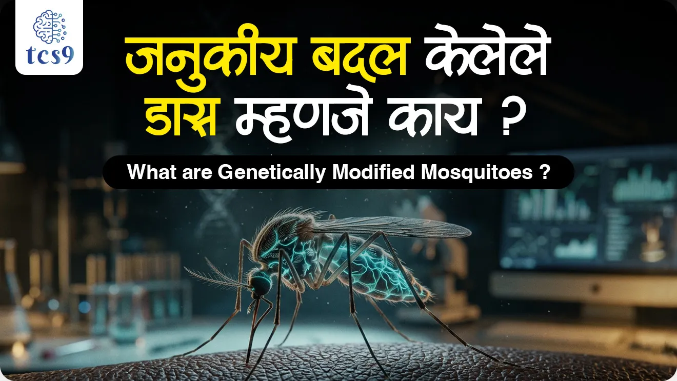 What are genetically modified mosquitoes?, genetically modified (GM) mosquitoes, Are genetically modified mosquitoes real?, Genetically Modified Mosquitoes to Fight Against Malaria, Why Genetically Modified (GM) Mosquitoes for Malaria Control?, science and technology notes, Vinyan ani tantranyan,  world current affair, jagtik ghadamodi, world news, Chalu Ghadamodi 2025, Chalu Ghadamodi Marathi, Chalu Ghadamodi PDF Download, Chalu Ghadamodi Test Series, Chalu Ghadamodi Prashnottare, Mahatvachya Chalu Ghadamodi, Chalu Ghadamodi Sarav Prashna, Darrojchya Chalu Ghadamodi, Chalu Ghadamodi Marathi Masik, Talathi Chalu Ghadamodi 2025, Talathi Bharti Chalu Ghadamodi, Talathi Spardha Pariksha Chalu Ghadamodi, RRB Group D Chalu Ghadamodi Marathi, Railway Bharti Chalu Ghadamodi, RRB Sarav Prashna Chalu Ghadamodi, Maharashtra Police Bharti Chalu Ghadamodi, Police Bharti Chalu Ghadamodi Prashnottare, Maharashtra Police Chalu Ghadamodi 2025, SSC GD Chalu Ghadamodi Marathit, SSC Bharti Chalu Ghadamodi, SSC Prashnsancha Chalu Ghadamodi, Vanrakshak Bharti Chalu Ghadamodi, Vanrakshak Pariksha Chalu Ghadamodi, Vanrakshak Prashnapatrika Chalu Ghadamodi, Agniveer Bharti Chalu Ghadamodi 2025, Agniveer Spardha Pariksha Chalu Ghadamodi, Agniveer Sarav Prashna Chalu Ghadamodi, tcs chalu ghadamodi, ibps chalu ghadamodi, chalu Ghadamodi Marathi,   current Affair marathi madhe, 2024 cha chalu Ghadamodi,   police Bharti chalu Ghadamodi,   police Bharti prashnasanch,   police Bharti GK prashna,   Mpsc chalu Ghadamodi,   sarkari Naukri,   sarkari job,   sarkari yojna,   Maharashtra cha chalu Ghadamodi,   Maharashtra government yojna,   PSI syllabus, PSI cutoff,   police Bharti syllabus,   police Bharti cutoff,   police Bharti merit,   MPSC Sathi book,   MPSC Sathi pustak,   police Bharti Sathi pustak,   police Bharti magil prashnapatrika,   MPSC previous years question papers,   Mumbai police Bharti,   Mumbai police Bharti Lekhi kadhi ahe,   government GR,   police Bharti result,   MPSC result,   SSC GD merit,   sscgd syllabus,   army Bharti merit,   army Bharti result,   UPSC Marathi,   combine pariksha,   talathi,   talathi syllabus,   talathi cutoff,   talathi book list,   talathi result,   talathi merit, tcs mock test, tcs pattern, ibps pattern, tcs pyq, tcs sarav paper, tcs talathi paper, tcs pattern notes, tcs prashnasanch, tcs gk gs, tcs maths, tcs talathi,  talathi jaga kiti ahe,   saralseva exam,   saralseva pariksha,   saralseva result,   zilha parishad Bharti,   zilha parishad prashnapstrika, dinvishesh, Chalu Ghadamodi Marathi madhun, current Affair marathi madhe, headline-news, maharashtra-news, jhattpatt-batmya, pib, marathi batmya, government new channel, Pib, akashvani, the Hindu, Indian express, Loksatta, Lokmat, Dainik Bhaskar, sansad news, editorial, sampadkiya, vishleshan, Loksabha news, rajyasabha news, SSC GD notes, sscgd question papers, sscgd exam answer, results, SSC GD admit card, sscgd ground, exam centre, mpsc main answer writing, maharashtra police recruitment 2025, maharashtra police exam updates, maharashtra police bharti latest news, maharashtra police exam calendar 2025, maharashtra police exam syllabus pdf download, maharashtra police bharti exam pattern 2025, maharashtra police constable syllabus, physical test details maharashtra police, maharashtra police bharti admit card 2025, maharashtra police hall ticket download, maharashtra police exam admit card date, maharashtra police study material pdf, maharashtra police exam preparation tips, maharashtra police mock tests free, best books for maharashtra police exam, maharashtra police bharti previous year papers pdf, maharashtra police constable sample papers, maharashtra police si model question papers, maharashtra police eligibility criteria 2025, age limit for maharashtra police bharti, educational qualification maharashtra police, maharashtra police result 2025, maharashtra police merit list, maharashtra police exam cutoff marks, maharashtra police online application 2025, maharashtra police physical test details, document verification for maharashtra police bharti, maharashtra police recruitment 2024, maharashtra police exam calendar 2024, maharashtra police bharti exam pattern 2024, maharashtra police bharti admit card 2024, maharashtra police eligibility criteria 2024, maharashtra police result 2024, maharashtra police online application 2024, RRB Group D, Railway Group D, Railway Recruitment Board Group D, Railway Group D Exam, Railway Group Notification, Railway Group D Vacancy, Railway Group D Syllabus, Railway Group D Eligibility, Railway Group D Application, Railway Group D Admit Card, Railway Group D Result, Railway Group D Cut Off, Railway Group D Salary, Railway Group D Jobs, RRB Group D Study Material, RRB Group D Previous Papers,  RRB Group D Mock Tests, RRB Group D Exam Pattern, current Affair, General Science, GK, GS, General  Awareness, current  affairs marathi , Mathematics, General Intelligence and reasoning, RRB chalu Ghadamodi, RRB Group D marathi notes, samanya vinyan, samanya, nyan, railway notes marathi madhe, railway pagar, pagar ani bhatta, railway bharti notes marathi, railway bhartichi tayari kashi karaychi, railway bharti magil varshanche prashnapatrika, railway bhartipyq, railway bharti prashnasanch, railway bharti test paper, railwetvnokrichi sandhi, railway job, railway bharticha syllabus, railway bharti pattern, railway bharti imp prashn, railway bhartila vicharle janare prashn, competitive exam, spardha parisha, railway bharti online class, railway bharti class, railway bharti chi tayari kashi karaychi,  RRB Group D Syllabus, RRB Group D Previous Papers, RRB Group D Exam Pattern, RRB Group D Eligibility Criteria, RRB Group D Notification, RRB Group D Application, RRB Group D Admit Card, RRB Group D Result, RRB Group D Cut Off, RRB Group D Salary, RRB Group D Jobs, RRB Group D Coaching, RRB Group D Study Material, RRB Group D Mock Tests, Railway Group D Level 1, RRB Group D 2025, RRB Group D Level 1, RRB Group D Posts, RRB Group D Exam Pattern, RRB Group D Exam Date, RRB Group D Online Application, RRB Group D Previous Papers, RRB Group D Preparation Tips, RRB Group D Study Material, RRB Group D Coaching, RRB Group D Mock Tests, How to prepare for RRB Group D exam, RRB Group D exam syllabus 2025, RRB Group D eligibility criteria 2025, RRB Group D application form 2025, RRB Group D admit card download, RRB Group D result date 2025, RRB Group D cut off marks 2025, RRB Group D salary and allowances, Best books for RRB Group D exam, Online coaching for RRB Group D, Railway Group D , RRB Group D, Railway Jobs , Government Jobs, Railway Recruitment, RRB Group D Exam, Railway Group D Vacancy, RRB Group D Notification, Railway Group D Application, RRB Group D Salary, aajcha dinveshesh, suvichaar, jagtik dinveshsh, dinveshsh, gktoday, lucent