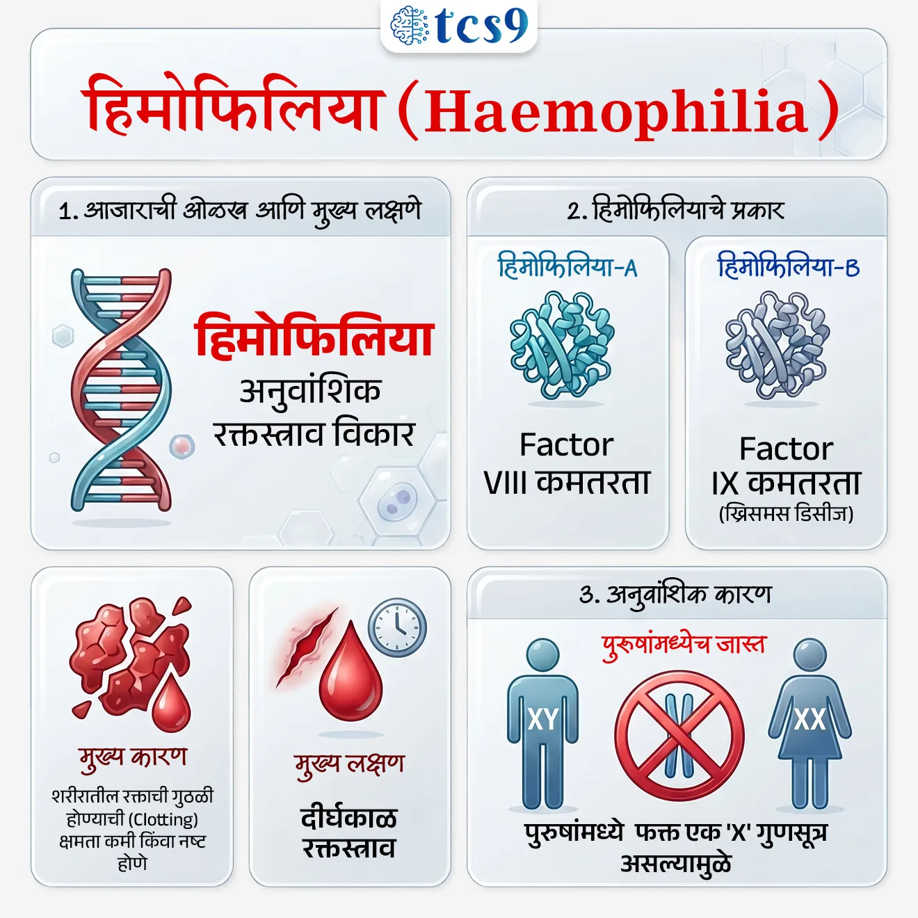 What is Haemophilia ?

📚 Subject : GS - विज्ञान आणि तंत्रज्ञान - रोग आणि आजार

सरळसेवा, तलाठी, वनरक्षक, पोलीस भरती, अग्निवीर , रेल्वे भरती, SSC GD, MPSC, UPSC परीक्षेसाठी विचारलेले / संभाव्य महत्त्वपूर्ण  प्रश्न

प्रश्न) जागतिक आरोग्य संघटनेच्या (WHO) अहवालानुसार, भारतामध्ये सध्या सुमारे 1.4 लाख रुग्ण असलेला 'हिमोफिलिया' हा आजार शरीरातील कोणत्या प्रक्रियेत बिघाड झाल्यामुळे होतो ?

शरीरात इन्शुलिनची निर्मिती न होणे
हाडांमध्ये कॅल्शियमची तीव्र कमतरता असणे
रक्ताची गुठळी किंवा क्लॉटिंग योग्य प्रकारे न होणे
 रक्तातील तांबड्या पेशींचा (RBC) आकार विळ्यासारखा होणे

उत्तर :  रक्ताची गुठळी किंवा क्लॉटिंग योग्य प्रकारे न होणे


📰 बातमी काय ?
जागतिक आरोग्य संघटनेने (WHO) हिमोफिलिया रुग्णांना अधिक चांगल्या आणि समान आरोग्यसेवा मिळाव्यात यासाठी नवीन ठराव पुढे आणला आहे.
यामध्ये धक्कादायक बाब अशी समोर आली आहे की, भारत हा जगातील दुसऱ्या क्रमांकाचा हिमोफिलिया रुग्ण असलेला देश आहे.
भारतामध्ये हिमोफिलियाचे अंदाजे 1.4 लाख रुग्ण आहेत. 

🩸 हिमोफिलिया म्हणजे नेमका कोणता आजार आहे ?
What is Haemophilia ?
हिमोफिलिया हा एक अत्यंत दुर्मिळ, अनुवांशिक (Inherited) रक्तस्त्राव विकार आहे. 
यामध्ये शरीरातील रक्ताची गुठळी होण्याची (Clotting) क्षमता कमी होते किंवा नष्ट होते.
कारण - शरीरात जखम झाल्यानंतर रक्तस्त्राव थांबवण्यासाठी प्लेटलेट्ससोबत काम करणारे विशेष प्रथिने म्हणजेच 'क्लॉटिंग फॅक्टर्स' (Clotting Factors) असतात. 
हिमोफिलियाच्या रुग्णांमध्ये या फॅक्टर्सची (प्रथिनांची) कमतरता असते.

 🧐 लक्षणे आणि धोके (Signs & Symptoms)
• दीर्घकाळ रक्तस्त्राव - साध्या कापल्यास, दातांच्या शस्त्रक्रियेनंतर किंवा जखमेतून सामान्य लोकांपेक्षा खूप जास्त वेळ रक्त वाहत राहते.
• हीमार्थ्रोसिस (Joint Bleeding) -  शरीराच्या अंतर्गत भागातील सांध्यांमध्ये (गुडघे, कोपर, घोटे) अचानक रक्तस्त्राव होणे. यामुळे सांधे सुजतात, तीव्र वेदना होतात आणि कायमचे अपंगत्व (Disability) येऊ शकते.
• जीवघेणा धोका -  गंभीर रुग्णांमध्ये मेंदूच्या आत (Brain Hemorrhage) किंवा अंतर्गत अवयवांमध्ये रक्तस्त्राव झाल्यास तातडीच्या उपचारांभावी मृत्यू होऊ शकतो.

🩺 हिमोफिलियाचे प्रकार कोणते आहे ?
1) हिमोफिलिया A - हा सर्वात सामान्य प्रकार असून, तो फॅक्टर VIII (Factor 8) च्या कमतरतेमुळे होतो.
2) हिमोफिलिया B - याला 'ख्रिसमस डिसीज' (Christmas Disease) असेही म्हणतात. हा फॅक्टर IX (Factor 9) च्या कमतरतेमुळे होतो.

🧬 हिमोफिलिया प्रामुख्याने पुरुषांमध्येच जास्त का आढळतो ?
हा आजार  'X' गुणसूत्रावर (X Chromosome) शी संबंधित (X-linked recessive disorder) आहे.
पुरुषांमध्ये  फक्त एक  'X' गुणसूत्र (X chromosome) असतो.
म्हणून जर दोषपूर्ण   'X' गुणसूत्र मिळाला तर हिमोफिलिया आजार होण्याची शक्यता जास्त असते.
याउलट स्त्रियांमध्ये दोन   'X' गुणसूत्र असल्यामुळे त्या बहुतेक वेळा वाहक (Carrier) असतात.
मात्र काही वेळा सौम्य लक्षणे दिसू शकतात.

💉 हिमोफिलिया साठी आधुनिक उपचार आणि निदान पद्धती कोणती ?
• निदान पद्धती -   शारीरिक तपासणीसोबतच कम्प्लीट ब्लड काऊंट (CBC), aPTT (रक्त गोठण्याचा कालावधी तपासणे) आणि 'फॅक्टर ॲक्टिव्हिटी चाचणी' केली जाते.
• प्रोफिलेक्सिस (Prophylaxis) - यामध्ये जखम होण्याची वाट न पाहता, रक्तस्त्राव रोखण्यासाठी रुग्णाला नियमितपणे आधीच क्लॉटिंग फॅक्टर्सचे इंजेक्शन दिले जाते.
• जनुकीय उपचार (Gene Therapy) - सध्या या आजारावर 'जीन थेरपी' (जनुकीय उपचार) चे संशोधन सुरू आहे. याद्वारे रुग्णाच्या शरीरात कायमस्वरूपी स्वतःचे क्लॉटिंग फॅक्टर्स तयार करण्याची क्षमता निर्माण केली जाऊ शकते.

🧐 भारतापुढील आव्हान 
भारतामध्ये अनेक रुग्णांचे निदानच झालेले नाही, जे देशासमोरील मोठे आरोग्य संकट आहे.
✍️ यामुळे - 
वेळेवर उपचार मिळत नाहीत,
अपंगत्वाचा धोका वाढतो,
आणि गंभीर रक्तस्त्राव (bleeding) जीवघेणे ठरू शकते.


🔑 परीक्षेच्या दृष्टीने IMP रिव्हिजन पॉईंट्स : 
हिमोफिलिया → अनुवांशिक रक्तस्त्राव विकार
मुख्य कारण → शरीरातील रक्ताची गुठळी होण्याची (Clotting) क्षमता कमी किंवा नष्ट होणे 
मुख्य लक्षण → दीर्घकाळ रक्तस्त्राव
हिमोफिलिया-A → Factor VIII कमतरता
हिमोफिलिया-B → Factor IX कमतरता (ख्रिसमस डिसीज)
पुरुषांमध्येच जास्त → पुरुषांमध्ये  फक्त एक  'X' गुणसूत्र असल्यामुळे