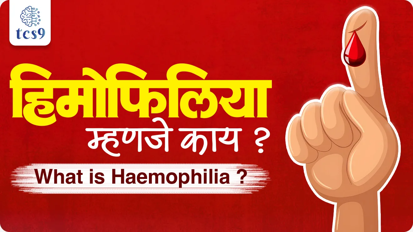 India is the country with the second highest number of hemophilia patients in the world., Haemophilia Ajar, Haemophilia mhanje kay, What is Haemophilia ?, World Health Organization, WHO, Care Equity for Haemophilia Patients, Haemophilia A, Haemophilia B, Christmas Disease, What are 5 symptoms of hemophilia?, Science and technology notes Vinyan ani tantranyan, Rog ani Ajar, world current affair, jagtik ghadamodi, world news, Chalu Ghadamodi 2025, Chalu Ghadamodi Marathi, Chalu Ghadamodi PDF Download, Chalu Ghadamodi Test Series, Chalu Ghadamodi Prashnottare, Mahatvachya Chalu Ghadamodi, Chalu Ghadamodi Sarav Prashna, Darrojchya Chalu Ghadamodi, Chalu Ghadamodi Marathi Masik, Talathi Chalu Ghadamodi 2025, Talathi Bharti Chalu Ghadamodi, Talathi Spardha Pariksha Chalu Ghadamodi, RRB Group D Chalu Ghadamodi Marathi, Railway Bharti Chalu Ghadamodi, RRB Sarav Prashna Chalu Ghadamodi, Maharashtra Police Bharti Chalu Ghadamodi, Police Bharti Chalu Ghadamodi Prashnottare, Maharashtra Police Chalu Ghadamodi 2025, SSC GD Chalu Ghadamodi Marathit, SSC Bharti Chalu Ghadamodi, SSC Prashnsancha Chalu Ghadamodi, Vanrakshak Bharti Chalu Ghadamodi, Vanrakshak Pariksha Chalu Ghadamodi, Vanrakshak Prashnapatrika Chalu Ghadamodi, Agniveer Bharti Chalu Ghadamodi 2025, Agniveer Spardha Pariksha Chalu Ghadamodi, Agniveer Sarav Prashna Chalu Ghadamodi, tcs chalu ghadamodi, ibps chalu ghadamodi, chalu Ghadamodi Marathi,   current Affair marathi madhe, 2024 cha chalu Ghadamodi,   police Bharti chalu Ghadamodi,   police Bharti prashnasanch,   police Bharti GK prashna,   Mpsc chalu Ghadamodi,   sarkari Naukri,   sarkari job,   sarkari yojna,   Maharashtra cha chalu Ghadamodi,   Maharashtra government yojna,   PSI syllabus, PSI cutoff,   police Bharti syllabus,   police Bharti cutoff,   police Bharti merit,   MPSC Sathi book,   MPSC Sathi pustak,   police Bharti Sathi pustak,   police Bharti magil prashnapatrika,   MPSC previous years question papers,   Mumbai police Bharti,   Mumbai police Bharti Lekhi kadhi ahe,   government GR,   police Bharti result,   MPSC result,   SSC GD merit,   sscgd syllabus,   army Bharti merit,   army Bharti result,   UPSC Marathi,   combine pariksha,   talathi,   talathi syllabus,   talathi cutoff,   talathi book list,   talathi result,   talathi merit, tcs mock test, tcs pattern, ibps pattern, tcs pyq, tcs sarav paper, tcs talathi paper, tcs pattern notes, tcs prashnasanch, tcs gk gs, tcs maths, tcs talathi,  talathi jaga kiti ahe,   saralseva exam,   saralseva pariksha,   saralseva result,   zilha parishad Bharti,   zilha parishad prashnapstrika, dinvishesh, Chalu Ghadamodi Marathi madhun, current Affair marathi madhe, headline-news, maharashtra-news, jhattpatt-batmya, pib, marathi batmya, government new channel, Pib, akashvani, the Hindu, Indian express, Loksatta, Lokmat, Dainik Bhaskar, sansad news, editorial, sampadkiya, vishleshan, Loksabha news, rajyasabha news, SSC GD notes, sscgd question papers, sscgd exam answer, results, SSC GD admit card, sscgd ground, exam centre, mpsc main answer writing, maharashtra police recruitment 2025, maharashtra police exam updates, maharashtra police bharti latest news, maharashtra police exam calendar 2025, maharashtra police exam syllabus pdf download, maharashtra police bharti exam pattern 2025, maharashtra police constable syllabus, physical test details maharashtra police, maharashtra police bharti admit card 2025, maharashtra police hall ticket download, maharashtra police exam admit card date, maharashtra police study material pdf, maharashtra police exam preparation tips, maharashtra police mock tests free, best books for maharashtra police exam, maharashtra police bharti previous year papers pdf, maharashtra police constable sample papers, maharashtra police si model question papers, maharashtra police eligibility criteria 2025, age limit for maharashtra police bharti, educational qualification maharashtra police, maharashtra police result 2025, maharashtra police merit list, maharashtra police exam cutoff marks, maharashtra police online application 2025, maharashtra police physical test details, document verification for maharashtra police bharti, maharashtra police recruitment 2024, maharashtra police exam calendar 2024, maharashtra police bharti exam pattern 2024, maharashtra police bharti admit card 2024, maharashtra police eligibility criteria 2024, maharashtra police result 2024, maharashtra police online application 2024, RRB Group D, Railway Group D, Railway Recruitment Board Group D, Railway Group D Exam, Railway Group Notification, Railway Group D Vacancy, Railway Group D Syllabus, Railway Group D Eligibility, Railway Group D Application, Railway Group D Admit Card, Railway Group D Result, Railway Group D Cut Off, Railway Group D Salary, Railway Group D Jobs, RRB Group D Study Material, RRB Group D Previous Papers,  RRB Group D Mock Tests, RRB Group D Exam Pattern, current Affair, General Science, GK, GS, General  Awareness, current  affairs marathi , Mathematics, General Intelligence and reasoning, RRB chalu Ghadamodi, RRB Group D marathi notes, samanya vinyan, samanya, nyan, railway notes marathi madhe, railway pagar, pagar ani bhatta, railway bharti notes marathi, railway bhartichi tayari kashi karaychi, railway bharti magil varshanche prashnapatrika, railway bhartipyq, railway bharti prashnasanch, railway bharti test paper, railwetvnokrichi sandhi, railway job, railway bharticha syllabus, railway bharti pattern, railway bharti imp prashn, railway bhartila vicharle janare prashn, competitive exam, spardha parisha, railway bharti online class, railway bharti class, railway bharti chi tayari kashi karaychi,  RRB Group D Syllabus, RRB Group D Previous Papers, RRB Group D Exam Pattern, RRB Group D Eligibility Criteria, RRB Group D Notification, RRB Group D Application, RRB Group D Admit Card, RRB Group D Result, RRB Group D Cut Off, RRB Group D Salary, RRB Group D Jobs, RRB Group D Coaching, RRB Group D Study Material, RRB Group D Mock Tests, Railway Group D Level 1, RRB Group D 2025, RRB Group D Level 1, RRB Group D Posts, RRB Group D Exam Pattern, RRB Group D Exam Date, RRB Group D Online Application, RRB Group D Previous Papers, RRB Group D Preparation Tips, RRB Group D Study Material, RRB Group D Coaching, RRB Group D Mock Tests, How to prepare for RRB Group D exam, RRB Group D exam syllabus 2025, RRB Group D eligibility criteria 2025, RRB Group D application form 2025, RRB Group D admit card download, RRB Group D result date 2025, RRB Group D cut off marks 2025, RRB Group D salary and allowances, Best books for RRB Group D exam, Online coaching for RRB Group D, Railway Group D , RRB Group D, Railway Jobs , Government Jobs, Railway Recruitment, RRB Group D Exam, Railway Group D Vacancy, RRB Group D Notification, Railway Group D Application, RRB Group D Salary, aajcha dinveshesh, suvichaar, jagtik dinveshsh, dinveshsh, gktoday, lucent