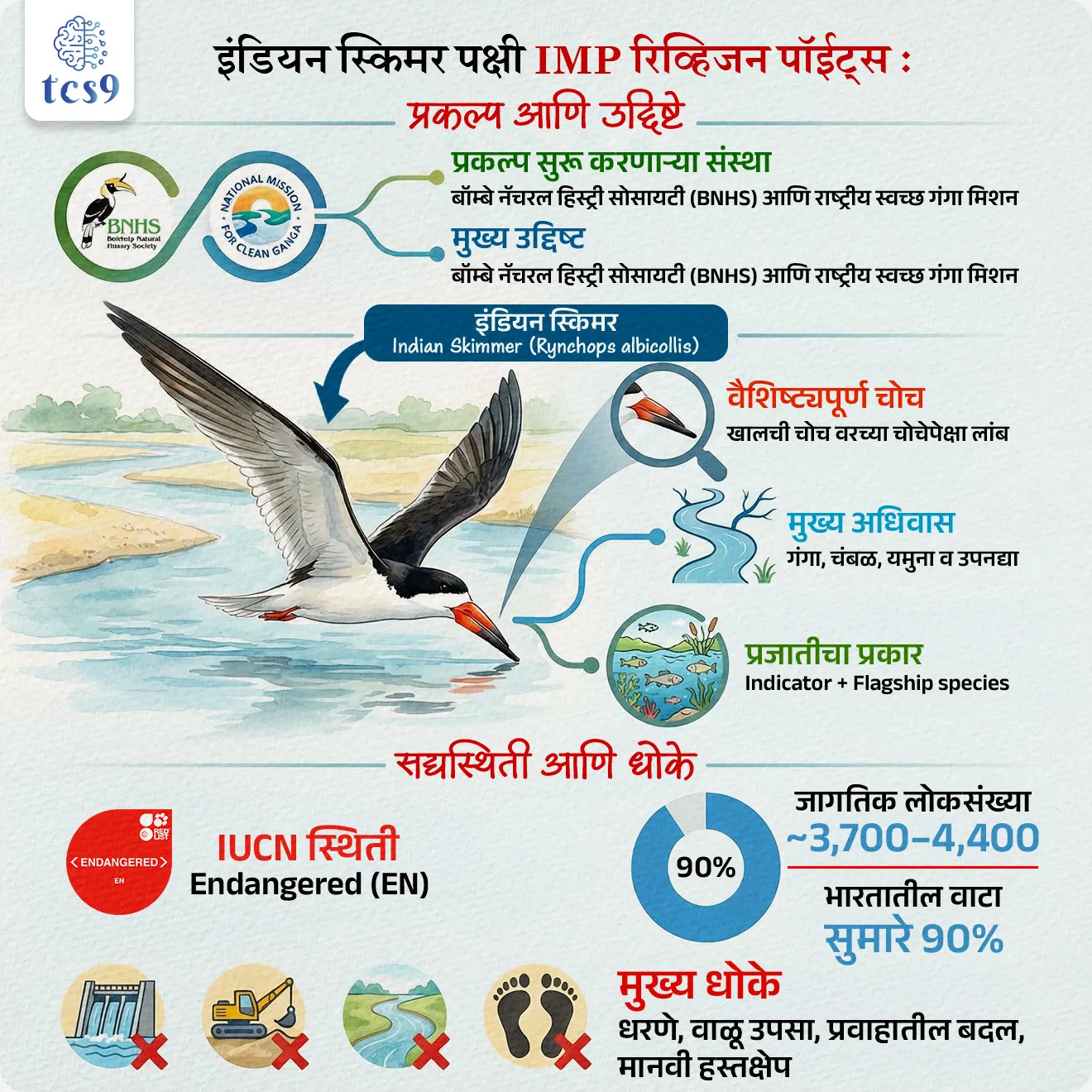 new conservation project to protect the endangered Indian Skimmer 

Subject : GS - पर्यावरण


सरळसेवा, तलाठी, वनरक्षक, पोलीस भरती,  अग्निवीर , रेल्वे, SSC GD , MPSC, UPSC परीक्षेसाठी विचारलेले / संभाव्य महत्त्वपूर्ण  प्रश्न

प्रश्न) गंगा नदी खोऱ्यात धोक्यात आलेल्या इंडियन स्किमर पक्ष्याच्या संवर्धनासाठी संयुक्त प्रकल्प कोणत्या संस्थांनी सुरू केला आहे ?


1. रिलायन्स फाउंडेशन आणि केंद्रीय जल आयोग
2. बॉम्बे नॅचरल हिस्ट्री सोसायटी आणि राष्ट्रीय स्वच्छ गंगा मिशन
3. टाटा ट्रस्ट्स आणि राष्ट्रीय स्वच्छ गंगा मिशन
4. अदानी फाउंडेशन आणि केंद्रीय जल आयोग

 उत्तर : बॉम्बे नॅचरल हिस्ट्री सोसायटी आणि राष्ट्रीय स्वच्छ गंगा मिशन


📰 बातमी काय ?

• बॉम्बे नॅचरल हिस्ट्री सोसायटी (BNHS) आणि राष्ट्रीय स्वच्छ गंगा मिशन यांनी गंगा नदी खोऱ्यात धोक्यात आलेल्या इंडियन स्किमर पक्ष्याचे तसेच त्याच्या प्रजनन अधिवासाचे संरक्षण करण्यासाठी एक नवीन संवर्धन प्रकल्प सुरू केला आहे.
• या प्रकल्पाचा उद्देश गंगा व तिच्या उपनद्यांमधील नदीपरिसंस्थेचे आरोग्य सुधारणे आणि जैवविविधतेचे संरक्षण करणे हा आहे.


इंडियन स्किमर म्हणजे काय ?
• इंडियन स्किमर (Rynchops albicollis) हा नदीकिनारी आढळणारा पक्षी असून, पाण्याच्या पृष्ठभागावरून मासे पकडण्याची त्याची खाद्यपद्धत वैशिष्ट्यपूर्ण आहे.
• या पक्ष्याची खालची चोच वरच्या चोचेपेक्षा लांब असल्यामुळे तो पाण्यावरून “स्किम” करत अन्न शोधतो.

🌍 अधिवास (Habitat) :

• इंडियन स्किमर प्रामुख्याने मोठ्या व संथ प्रवाहाच्या नद्यांमध्ये, वाळूचे पट्टे (Sandbars) आणि नदीतील बेटांवर आढळतो.
• गंगा, चंबळ, यमुना आणि त्यांच्या उपनद्यांमध्ये हा पक्षी प्रजननासाठी आढळतो.
• प्रजनन हंगामाबाहेर तो किनारी (Coastal) भागात स्थलांतर करतो.

🧬 इंडियन स्किमरचे वैशिष्ट्ये : 

• या पक्ष्याची चोच तेजस्वी नारिंगी रंगाची असते. 
• शरीराचा वरचा भाग काळा तर खालचा भाग पांढरा असतो.
• इंडियन स्किमर समूहात घरटी बांधणारा (Colonial nester) पक्षी असून, अनेकदा टर्न्स (Terns) पक्ष्यांसोबत वाळूच्या पट्ट्यांवर आढळतो.
• हा पक्षी नदी परिसंस्थेच्या आरोग्याचा निर्देशक (Indicator species) मानला जातो.

📉 संवर्धन स्थिती व धोके : 

• IUCN लाल यादीनुसार इंडियन स्किमरची स्थिती Endangered अशी आहे.
• जगभरात त्यांची संख्या सुमारे 3,700 ते 4,400 इतकी असून, त्यापैकी सुमारे 90% लोकसंख्या भारतात आढळते.
• धरणे, नदी प्रवाहातील बदल, वाळू उपसा, मानवी हस्तक्षेप आणि अधिवास नष्ट होणे यामुळे या पक्ष्यांच्या संख्येत तीव्र घट होत आहे.

🌱 या प्रकल्पाचे महत्त्व : 

• इंडियन स्किमर हा  प्रतीकात्मक प्रजाती (Flagship species) तसेच आरोग्याचा निर्देशक (Indicator species) असल्यामुळे त्याचे संरक्षण म्हणजे संपूर्ण नदी परिसंस्थेचे संरक्षण होय.
• या पक्ष्यांच्या संख्येत झालेली घट नद्यांच्या ऱ्हासाचे संकेत देते.
• म्हणूनच बॉम्बे नॅचरल हिस्ट्री सोसायटी (BNHS) आणि राष्ट्रीय स्वच्छ गंगा मिशन चा हा उपक्रम गंगा खोऱ्यातील जैवविविधता आणि नदी आरोग्य सुधारण्यासाठी अत्यंत महत्त्वाचा ठरतो.



🔑 परीक्षेच्या दृष्टीने IMP रिव्हिजन पॉईंट्स :

• प्रकल्प सुरू करणाऱ्या संस्था : बॉम्बे नॅचरल हिस्ट्री सोसायटी (BNHS) आणि राष्ट्रीय स्वच्छ गंगा मिशन
• उद्दिष्ट : इंडियन स्किमर व त्याचा प्रजनन अधिवास संरक्षण
• पक्ष्याचे नाव : Indian Skimmer (Rynchops albicollis)
• IUCN स्थिती : Endangered (EN)
• मुख्य अधिवास : गंगा, चंबळ, यमुना व उपनद्या
• वैशिष्ट्यपूर्ण चोच : खालची चोच वरच्या चोचेपेक्षा लांब
• जागतिक लोकसंख्या : ~3,700–4,400
• भारतातील वाटा : सुमारे 90%
• प्रजातीचा प्रकार : Indicator + Flagship species
• मुख्य धोके : धरणे, वाळू उपसा, प्रवाहातील बदल, मानवी हस्तक्षेप