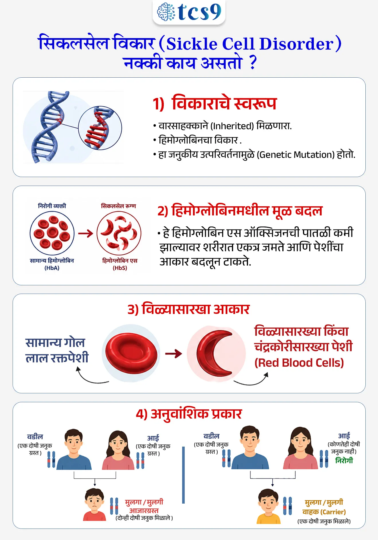 आंतरराष्ट्रीय सिकलसेल दिन
International Sickle Cell Day 2026
📚 Subject : GS - दिनविशेष, विज्ञान आणि तंत्रज्ञान - रोग आणि आजार
सरळसेवा, तलाठी, वनरक्षक, पोलीस भरती, अग्निवीर , रेल्वे भरती, SSC GD, MPSC, UPSC परीक्षेसाठी विचारलेले / संभाव्य महत्त्वपूर्ण प्रश्न
प्रश्न) सिकलसेल (Sickle Cell) या अनुवांशिक आजारामध्ये रुग्णाच्या शरीरातील कोणत्या पेशींच्या मूळ आकारात बदल होऊन त्या विळ्यासारख्या किंवा चंद्रकोरीसारख्या बनतात ?
लाल रक्तपेशी
पांढऱ्या रक्तपेशी
रक्तपट्टीका
प्लाझ्मा पेशी
उत्तर : लाल रक्तपेशी
📰 बातमी काय ?
'आंतरराष्ट्रीय सिकलसेल दिना'निमित्त (International Sickle Cell Day 2026), राष्ट्रपतींनी 'राष्ट्रीय सिकलसेल ॲनिमिया निर्मूलन मिशन' (NSCEM) अंतर्गत वर्ष 2047 पूर्वी भारतातून सिकलसेल पूर्णपणे नष्ट करण्याच्या ध्येयाचा पुनरुच्चार केला आहे.
🧐 आंतरराष्ट्रीय सिकलसेल दिन (International Sickle Cell Day) केव्हा असतो आहे ?
सिकलसेल आजाराबद्दल जागरूकता निर्माण करण्यासाठी आणि लवकर निदान, उपचार व प्रतिबंधाला चालना देण्यासाठी दरवर्षी 19 जून रोजी हा दिवस साजरा केला जातो.
मान्यता — संयुक्त राष्ट्र महासभेने (UNGA) 22 डिसेंबर 2008 रोजी एका ठरावाद्वारे या आजाराला एक प्रमुख जागतिक सार्वजनिक आरोग्य समस्या म्हणून मान्यता दिली.
🧐 2026 साठी आंतरराष्ट्रीय सिकलसेल दिनाची संकल्पना (थीम) कोणती ?
यंदाच्या वर्षाची मुख्य थीम "क्लोजिंग द सर्व्हायव्हल गॅप: इक्विटी इन सिकलसेल डिसीज" (Closing the Survival Gap: Equity in Sickle Cell Disease) अशी आहे.
या थीमचा मुख्य उद्देश जगभरातील सिकलसेल रुग्णांना मिळणाऱ्या आरोग्य सेवांमधील तफावत आणि असमानता दूर करणे हा आहे.
प्रत्येकाला वेळेवर निदान आणि दर्जेदार उपचार मिळावेत यावर यात भर दिला गेला आहे.
📚📚 विज्ञान आणि तंत्रज्ञान संदर्भ -
🤔 सिकलसेल विकार (Sickle Cell Disorder) नक्की काय असतो ?
1) विकाराचे स्वरूप — सिकलसेल हा एक वारसाहक्काने मिळणारा (Inherited) हिमोग्लोबिनचा विकार आहे. हा जनुकीय उत्परिवर्तनामुळे (Genetic Mutation) होतो.
2) हिमोग्लोबिनमधील मूळ बदल — निरोगी व्यक्तीमध्ये सामान्य हिमोग्लोबिन (HbA) असते, तर सिकलसेल रुग्णामध्ये उत्परिवर्तनामुळे हिमोग्लोबिन एस (HbS) तयार होते.
हे हिमोग्लोबिन एस ऑक्सिजनची पातळी कमी झाल्यावर शरीरात एकत्र जमते आणि पेशींचा आकार बदलून टाकते.
3) विळ्यासारखा आकार — या बदलामुळे आपल्या शरीरातील नेहमीच्या गोल लाल रक्तपेशी (Red Blood Cells) गोल न राहता विळ्यासारख्या किंवा चंद्रकोरीसारख्या (Sickle or Crescent-shaped) होतात.
4) अनुवांशिक प्रकार (Type of Disease) —
हा एक 'ऑटोसोमल रिसेसिव्ह' (Autosomal Recessive) विकार आहे.
याचा अर्थ असा की, मुलामध्ये हा आजार दिसण्यासाठी त्याला आई आणि वडील या दोघांकडूनही दोष असलेले जनुक (Gene) मिळणे आवश्यक असते. जर फक्त एका पालकाकडून हे जनुक मिळाले, तर तो व्यक्ती फक्त 'वाहक' (Carrier) बनतो, त्याला आजार होत नाही.
🧐 सिकलसेल ॲनिमिया या आजाराचा रुग्णाच्या शरीरावर आणि आरोग्यावर काय परिणाम होतो ?
रक्ताभिसरणात अडथळा — या बदललेल्या लाल रक्तपेशी कडक आणि चिकट बनतात, ज्यामुळे रक्तवाहिन्यांमधून त्यांचा प्रवाह सुरळीत होत नाही आणि रक्ताभिसरण (Circulation) खंडित होते.
ऑक्सिजनचा तुटवडा — रक्त गोठल्यामुळे शरीराच्या महत्त्वाच्या अवयवांना होणारा ऑक्सिजनचा पुरवठा विस्कळीत होतो.
आरोग्यावरील दुष्परिणाम — यामुळे रुग्णाला तीव्र ॲनिमिया (रक्ताल्पता) होतो, शरीराचे अवयव निकामी होतात, वारंवार असह्य वेदना (Pain Episodes) होतात आणि रुग्णाचे आयुर्मान कमी होते.
🔹 भारताचे राष्ट्रीय प्रयत्न : 'राष्ट्रीय सिकलसेल ॲनिमिया निर्मूलन मिशन'
1) मिशनची पार्श्वभूमी — सिकलसेल आजाराचे मोठे ओझे, विशेषतः आदिवासी लोकसंख्येमधील याचे गंभीर प्रमाण लक्षात घेऊन केंद्र सरकारने 2023 मध्ये हे मिशन सुरू केले.
2) निर्मूलनाचे उद्दिष्ट — भारताला वर्ष 2047 पर्यंत सिकलसेल मुक्त करण्याचे ध्येय आहे.
3)अंमलबजावणी व लक्ष्य — हे मिशन 'राष्ट्रीय आरोग्य मिशन' (NHM) अंतर्गत भारतातील 17 हाय-फोकस राज्यांमध्ये राबवले जात आहे. या अंतर्गत 3 वर्षांत (2023-26) 0 ते 40 वयोगटातील अंदाजे 7 कोटी लोकांची तपासणी (Screening) करण्याचे उद्दिष्ट ठेवण्यात आले होते.
4) संयुक्त मंत्रालय — हे मिशन केंद्रीय आरोग्य आणि कुटुंब कल्याण मंत्रालय आणि केंद्रीय आदिवासी व्यवहार मंत्रालय यांच्याद्वारे संयुक्तपणे राबवले जात आहे.
🔑 परीक्षेच्या दृष्टीने IMP रिव्हिजन पॉईंट्स : International Sickle Cell Day
आंतरराष्ट्रीय सिकलसेल दिन → 19 जून
आजाराचा प्रकार → ऑटोसोमल रिसेसिव्ह (आई-वडील दोन्हींकडून जनुक आवश्यक)
तयार होणारे सदोष हिमोग्लोबिन → हिमोग्लोबिन एस (HbS)
भारताचे प्रयत्न → 'राष्ट्रीय सिकलसेल ॲनिमिया निर्मूलन मिशन'
सिकलसेल निर्मूलनाचे लक्ष्य वर्ष → 2047
अंमलबजावणी मंत्रालय → आरोग्य मंत्रालय + आदिवासी व्यवहार मंत्रालय
Source pib :
PRESIDENT OF INDIA GRACES INTERNATIONAL SICKLE CELL DAY COMMEMORATION AT OMKARESHWAR, MADHYA PRADESH
NATIONAL SICKLE CELL ANAEMIA ELIMINATION MISSION, GENETIC DISEASE, PRESIDENT DROUPADI MURMU, International Sickle Cell Day 2026, vinyan ani tantranyan , rog ani Ajar, science notes, Genetic Mutation, Closing the Survival Gap: Equity in Sickle Cell Disease,
प्रश्न) सिकलसेल (Sickle Cell) या अनुवांशिक आजारामध्ये रुग्णाच्या शरीरातील कोणत्या पेशींच्या मूळ आकारात बदल होऊन त्या विळ्यासारख्या किंवा चंद्रकोरीसारख्या बनतात?
लाल रक्तपेशी
पांढऱ्या रक्तपेशी
रक्तपट्टीका
प्लाझ्मा पेशी
उत्तर : लाल रक्तपेशी
विकाराचे स्वरूप — सिकलसेल हा एक वारसाहक्काने मिळणारा (Inherited) हिमोग्लोबिनचा विकार आहे. हा जनुकीय उत्परिवर्तनामुळे (Genetic Mutation) होतो.
सिकलसेल आजारात लाल रक्तपेशींचा (Red Blood Cells) गोल आकार बदलून तो विळ्यासारखा होतो, ज्यामुळे शरीरातील ऑक्सिजन वहन क्षमता कमी होते.
प्रश्न) 'राष्ट्रीय सिकलसेल ॲनिमिया निर्मूलन मिशन' आणि या आजाराच्या वैज्ञानिक स्वरूपाबाबात खालील विधाने विचारात घ्या :
अ) भारत सरकारने या मिशन अंतर्गत वर्ष 2047 पर्यंत देशातून सिकलसेलचे पूर्णपणे निर्मूलन करण्याचे ध्येय ठेवले आहे.
ब) सिकलसेल आजारात लाल रक्तपेशींमधील उत्परिवर्तनामुळे 'हिमोग्लोबिन एस' (HbS) ची निर्मिती होते, ज्यामुळे पेशी विळ्यासारख्या होतात.
क) हा आजार उद्भवण्यासाठी आई किंवा वडील यांपैकी कोणत्याही एकाच पालकाकडून सदोष जनुक मिळणे पुरेसे असते.
वरीलपैकी कोणती विधाने बरोबर आहेत ?
1. फक्त अ आणि ब
2. फक्त ब आणि क
3. फक्त अ आणि क
4. वरील सर्व
उत्तर : फक्त अ आणि ब
❌ विधान (क) चुकीचे आहे, कारण -
हा एक 'ऑटोसोमल रिसेसिव्ह' (Autosomal Recessive) विकार आहे.
याचा अर्थ असा की, मुलामध्ये हा आजार दिसण्यासाठी त्याला आई आणि वडील या दोघांकडूनही दोष असलेले जनुक (Gene) मिळणे आवश्यक असते. जर फक्त एका पालकाकडून हे जनुक मिळाले, तर तो व्यक्ती फक्त 'वाहक' (Carrier) बनतो, त्याला आजार होत नाही.