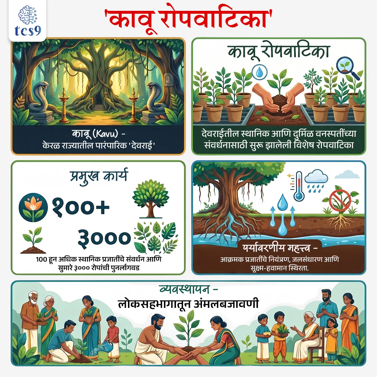 Kavu Nurseries
📚 Subject : GS - पर्यावरण
सरळसेवा, तलाठी, वनरक्षक, पोलीस भरती, अग्निवीर , रेल्वे भरती, SSC GD, MPSC, UPSC परीक्षेसाठी विचारलेले / संभाव्य महत्त्वपूर्ण प्रश्न
प्रश्न) नुकतीच जैवविविधता पुनरुज्जीवनासाठी 'कावू रोपवाटिका' (Kavu Nurseries) ही विशेष मोहीम कोणत्या राज्याने सुरू केली आहे ?
महाराष्ट्र
कर्नाटक
केरळ
तामिळनाडू
उत्तर : केरळ
📰 बातमी काय ?
केरळ सरकारने राज्यातील काही निवडक जिल्ह्यांमध्ये 'कावू' (Kavu) म्हणजेच तिथल्या पारंपारिक पवित्र वनांचे (Sacred Groves) पुनरुज्जीवन करण्यासाठी एका प्रायोगिक कार्यक्रमांतर्गत 'कावू रोपवाटिका' (Kavu Nurseries) उपक्रम सुरू केला आहे.
🌳 'कावू रोपवाटिका' म्हणजे काय ?
आपल्या महाराष्ट्रात ज्याप्रमाणे देवाच्या नावाने राखलेली जंगले असतात, ज्यांना आपण 'देवराई' म्हणतो, अगदी त्याचप्रमाणे केरलमध्ये त्यांना 'कावू' (Kavu) म्हटले जाते.
उद्देश - या रोपवाटिकांच्या माध्यमातून स्थानिक, दुर्मिळ आणि नष्ट होण्याच्या मार्गावर असलेल्या वनस्पतींची पैदास करून ती पुन्हा या देवरायांमध्ये लावली जातील.
🌳 'कावू' रोपवाटिकांची मुख्य वैशिष्ट्ये (Key Features) :
1) स्थानिक प्रजातींचे संवर्धन -
या देवरायांमध्ये आढळणाऱ्या 100 पेक्षा जास्त स्थानिक आणि औषधी वनस्पतींच्या प्रजातींची लागवड केली जाईल.
पहिल्या टप्प्यात खराब झालेल्या किंवा नष्ट झालेल्या देवरायांमध्ये लावण्यासाठी अंदाजे 3,000 पेक्षा जास्त रोपे (Saplings) तयार करण्याचे नियोजन आहे.
2) परदेशी वनस्पतींवर नियंत्रण -
देवरायांमध्ये वाढलेली तण किंवा उपद्रवी परदेशी वनस्पती (Invasive Species) काढून टाकून तिथे मूळ भारतीय पर्यावरणपूरक झाडे लावली जातील.
3) लोकसहभाग (Community-Based) -
या योजनेचे नियंत्रण स्थानिक 'जैवविविधता व्यवस्थापन समित्या' (Biodiversity Management Committees - BMC) करणार आहेत, ज्यामुळे स्थानिक लोकांचा सहभाग वाढेल.
'कावू रोपवाटिका' या उपक्रमाचे महत्त्व (Significance) :
जैवविविधतेचे रक्षण - या पारंपारिक वनांमुळे अनेक दुर्मिळ औषधी वनस्पतींचे रक्षण होते.
पर्यावरणीय फायदा - देवरायांमुळे जमिनीची सुपीकता वाढते, भूगर्भातील पाण्याची पातळी टिकून राहते आणि स्थानिक हवामान (Micro-climate) नियंत्रित राहते.
सांस्कृतिक वारसा - यामुळे निसर्ग पूजेची जुनी संस्कृती आणि आधुनिक विज्ञानाचा ताळमेळ साधला जातो.
✍️ देशातील वेगवेगळ्या राज्यांमध्ये देवराईला वेगवेगळी नावे आहेत, (ज्यावर स्पर्धा परीक्षेत जोड्या लावा किंवा थेट प्रश्न विचारले जातात:)
केरल: कावू (Kavu)
महाराष्ट्र: देवराई / राई
कर्नाटक: देवराकाडू (Devarakadu) किंवा 'कान'
राजस्थान: ओरण (Oran)
🔑 परीक्षेच्या दृष्टीने IMP रिव्हिजन पॉईंट्स :
कावू (Kavu) - केरळ राज्यातील पारंपारिक 'देवराई'
कावू रोपवाटिका - देवराईतील स्थानिक आणि दुर्मिळ वनस्पतींच्या संवर्धनासाठी सुरू झालेली विशेष रोपवाटिका.
प्रमुख कार्य - १०० हून अधिक स्थानिक प्रजातींचे संवर्धन आणि सुमारे ३००० रोपांची पुनर्लागवड.
पर्यावरणीय महत्त्व - आक्रमक प्रजातींचे नियंत्रण, जलसंधारण आणि सूक्ष्म-हवामान स्थिरता.
व्यवस्थापन - लोकसहभागातून अंमलबजावणी.