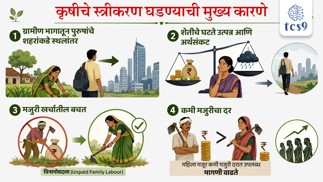 Maharashtra Women Farmers Empowerment Act, 2026
📚 Subject : GS - राज्यशास्त्र - कायदे, सरकारी योजना - उपक्रम, अर्थशास्त्र - कृषी अर्थव्यवस्था, महिला सक्षमीकरण
सरळसेवा, तलाठी, वनरक्षक, पोलीस भरती, अग्निवीर , रेल्वे भरती, SSC GD, MPSC, UPSC परीक्षेसाठी विचारलेले / संभाव्य महत्त्वपूर्ण प्रश्न
प्रश्न) नुकत्याच संमत झालेल्या 'महाराष्ट्र महिला शेतकरी सक्षमीकरण कायदा, 2026' च्या अंमलबजावणीवर देखरेख ठेवण्यासाठी स्थापन करण्यात येणाऱ्या सर्वोच्च नियामक परिषदेचे (Governing Council) अध्यक्ष खालीलपैकी कोण असतील ?
1. राज्याचे मुख्यमंत्री
2. राज्याचे महिला व बालविकास मंत्री
3. राज्याचे कृषी मंत्री
4. राज्याचे मुख्य सचिव
उत्तर : राज्याचे मुख्यमंत्री
📰 बातमी काय ?
• महिला शेतकऱ्यांना औपचारिक कायदेशीर मान्यता देण्यासाठी आणि त्यांना शासकीय योजना, संस्थात्मक कर्ज व कृषी सुविधांचा थेट लाभ मिळवून देण्यासाठी 'महाराष्ट्र महिला शेतकरी सक्षमीकरण कायदा, 2026' (Maharashtra Women Farmers Empowerment Act, 2026) संमत करण्यात आला आहे.
• महिला शेतकऱ्यांच्या सक्षमीकरणासाठी असा स्वतंत्र व समर्पित कायदा करणारे महाराष्ट्र हे देशातील पहिले राज्य ठरले आहे.
🧐 कायद्याची पार्श्वभूमी आणि गरज :
1) शेतीमधील महिलांचे प्रचंड योगदान (PLFS 2025 अहवाल) :
• महाराष्ट्र - राज्यातील ग्रामीण भागातील तब्बल 82% कार्यरत महिला शेती व संलग्न क्षेत्रावर अवलंबून आहेत (याउलट ग्रामीण पुरुषांचे प्रमाण 58% आहे).
• अखिल भारतीय स्तर : देशात ग्रामीण भागातील 73% कार्यरत महिला शेतीत आहेत (ग्रामीण पुरुषांचे प्रमाण 47% आहे).
2) समस्या : शेतीत बहुतांश काम महिला करत असूनही, जमिनीची मालकी (7/12 उतारा) स्वतःच्या नावावर नसल्यामुळे त्यांना शासकीय योजना, पीक कर्ज, विमा आणि अनुदानापासून वंचित राहावे लागत होते.
🎯 कायद्याची प्रमुख वैशिष्ट्ये आणि तरतुदी (Key Features of the Act) :
1) महिला शेतकरी प्रमाणपत्र (Woman Farmer Certificate - WFC) -
• शेती व संलग्न व्यवसायात काम करणाऱ्या पात्र महिला ग्रामसभा किंवा नगरपंचायतीमार्फत 'महिला शेतकरी प्रमाणपत्रा'साठी (WFC) अर्ज करू शकतील.
2) जमिनीच्या मालकीची अट रद्द -
• या प्रमाणपत्रामुळे महिलांची शेतकरी म्हणून ओळख ही जमिनीच्या मालकीपासून (Land Titles) वेगळी करण्यात आली आहे. म्हणजेच जमिनीवर नाव नसले तरी प्रत्यक्ष काम करणाऱ्या महिलेला शेतकरी म्हणून कायदेशीर दर्जा मिळेल.
3) शेतकऱ्याची व्यापक व्याख्या (National Policy for Farmers, 2007 नुसार) :
• केवळ पीक उत्पादनच नव्हे, तर पशुपालन, कुक्कुटपालन, मत्स्यपालन, कृषी-वनीकरण (Agroforestry), गांडूळ खत निर्मिती, मशरूम शेती आणि प्राथमिक कृषी प्रक्रिया करणाऱ्या महिलांचाही यात समावेश असेल.
🏛️ अंमलबजावणी यंत्रणा आणि संस्थात्मक रचना कशी असेल ?
• महिला शेतकऱ्यांची डिजिटल नोंदणी (Digital Registry).
• विशेष समर्पित निधीची (Special Fund) स्थापना.
• राज्य महिला शेतकरी सक्षमीकरण कक्ष आणि जिल्हा व तालुका स्तरावर विशेष अधिकाऱ्यांची नियुक्ती.
🤔 देखरेख व सनियंत्रण रचना (Monitoring Structure) :
• नियामक परिषद (Governing Council) - मुख्यमंत्र्यांच्या (Chief Minister) अध्यक्षतेखाली सर्वोच्च परिषद.
• राज्यस्तरीय संनियंत्रण समिती - मुख्य सचिवांच्या (Chief Secretary) अध्यक्षतेखाली अंमलबजावणी समिती.
📚📚 संदर्भ - Static GS - अर्थशास्त्र - कृषी अर्थव्यवस्था, महिला सक्षमीकरण
🤔 कृषीचे स्त्रीकरण (Feminisation of Agriculture) म्हणजे काय ?
• शेती आणि संलग्न क्षेत्रांमध्ये (पशुपालन, दुग्धव्यवसाय, फलोत्पादन) पुरुषांच्या तुलनेत महिला शेतकऱ्यांचे आणि महिला शेतमजुरांचे प्रमाण, सहभाग आणि प्रत्यक्ष जबाबदारी सातत्याने वाढणे, या प्रक्रियेला 'कृषीचे स्त्रीकरण' (Feminisation of Agriculture) म्हणतात.
• व्याप्ती - यामध्ये केवळ शेतात शारीरिक मजुरी करणे एवढाच अर्थ नसून; बियाणे निवड, पेरणी, निंदणी, कापणी, साठवणूक आणि जनावरांची देखभाल यांसारख्या शेतीच्या बहुतांश मुख्य टप्प्यांचे व्यवस्थापन महिलांच्या हाती येणे समाविष्ट आहे.
🤔 कृषीचे स्त्रीकरण घडण्याची मुख्य कारणे कोणती ?
1) ग्रामीण भागातून पुरुषांचे शहरांकडे स्थलांतर (Male Out-Migration) :
• ग्रामीण भागातील पुरुष बिगर-कृषी रोजगार, उद्योग, बांधकाम क्षेत्र किंवा शहरांमध्ये नोकरीच्या शोधात स्थलांतरित होतात.
• परिणामी, गावातील वडिलोपार्जित शेती सांभाळण्याची संपूर्ण जबाबदारी घरातील महिलांवर येते.
2) शेतीचे घटते उत्पन्न आणि अर्थसंकट (Agrarian Distress) :
• शेतीतील अनिश्चित हवामान आणि कमी नफ्यामुळे कुटुंबाला पूरक उत्पन्न मिळवण्यासाठी पुरुष शहरात जातात, तर महिला शेतीचा खर्च कमी करण्यासाठी स्वतः शेतात राबतात.
3) मजुरी खर्चातील बचत :
• अनेक अल्प व अत्यल्प भूधारक कुटुंबांमध्ये बाहेरून मजूर लावण्याऐवजी घरातील महिलाच शेतीतील सर्व कामे विनामोबदला (Unpaid Family Labour) करतात.
4) कमी मजुरीचा दर :
• मोठ्या शेतमालकांना पुरुष मजुरांच्या तुलनेत महिला मजूर कमी मजुरी दरात उपलब्ध होतात, ज्यामुळे महिला शेतमजुरांची मागणी वाढते.
🔑 परीक्षेच्या दृष्टीने IMP रिव्हिजन पॉईंट्स : Maharashtra Women Farmers Act 2026
• कायदा करणारे देशातील पहिले राज्य → महाराष्ट्र
• कायद्याचे नाव → महाराष्ट्र महिला शेतकरी सक्षमीकरण कायदा, 2026
• मुख्य साधन → महिला शेतकरी प्रमाणपत्र (Woman Farmer Certificate)
• सर्वात मोठा बदल → शेतकरी ओळखीसाठी 7/12 किंवा जमिनीच्या मालकीची अट रद्द
• PLFS 2025 प्रमाण → महाराष्ट्रात 82% ग्रामीण महिला शेतीमध्ये कार्यरत
• सर्वोच्च नियामक परिषदेचे अध्यक्ष → मुख्यमंत्री
• राज्यस्तरीय संनियंत्रण समितीचे अध्यक्ष → मुख्य सचिव
Maharashtra Women Farmers Empowerment Act, 2026, Agriculture, Women Empowerment & Rural Governance, First State in India, National Policy for Farmers, 2007, Rashtriya Shetkari Dhoran, Chief Minister, Chief Secretary, Woman Farmer Certificate - WFC, Mahila Shetkari pramanpatra, Feminisation of Agriculture, Agroforestry, government scheme maharashtra government scheme for Farmers, maharashtra Shasan yojna sarkari yojna, krushi yojna, krushi bharti,
प्रश्न) नुकत्याच संमत झालेल्या 'महाराष्ट्र महिला शेतकरी सक्षमीकरण कायदा, 2026' च्या अंमलबजावणीवर देखरेख ठेवण्यासाठी स्थापन करण्यात येणाऱ्या सर्वोच्च नियामक परिषदेचे (Governing Council) अध्यक्ष खालीलपैकी कोण असतील ?
1. राज्याचे मुख्यमंत्री
2. राज्याचे महिला व बालविकास मंत्री
3. राज्याचे कृषी मंत्री
4. राज्याचे मुख्य सचिव
उत्तर : राज्याचे मुख्यमंत्री
• नियामक परिषद (Governing Council) : 'महाराष्ट्र महिला शेतकरी सक्षमीकरण कायदा, 2026' च्या प्रभावी अंमलबजावणीसाठी आणि धोरणात्मक निर्णयांसाठी स्थापन होणाऱ्या सर्वोच्च नियामक परिषदेचे अध्यक्ष राज्याचे मुख्यमंत्री असतील.
• राज्यस्तरीय संनियंत्रण समिती : प्रशासकीय समन्वय आणि नियमित कामकाजाच्या संनियंत्रणासाठी मुख्य सचिवांच्या (Chief Secretary) अध्यक्षतेखाली राज्यस्तरीय समिती स्थापन केली जाईल.
• कायद्याचे महत्त्व : शेतीमध्ये प्रत्यक्ष काम करणाऱ्या महिलांना जमिनीच्या मालकीची (7/12) अट न ठेवता 'महिला शेतकरी प्रमाणपत्र' (WFC) देऊन शासकीय योजना, पीक कर्ज व अनुदानाचा थेट लाभ देणे हे या कायद्याचे मुख्य उद्दिष्ट आहे.
प्रश्न 2) महिला शेतकऱ्यांना औपचारिक कायदेशीर मान्यता देण्यासाठी आणि जमिनीच्या मालकीशिवाय 'महिला शेतकरी प्रमाणपत्र' (WFC) जारी करण्यासाठी स्वतंत्र कायदा करणारे देशातील पहिले राज्य खालीलपैकी कोणते ठरले आहे ?
1. गुजरात
2. कर्नाटक
3. महाराष्ट्र
4. केरळ
उत्तर : महाराष्ट्र
• महाराष्ट्र महिला शेतकरी सक्षमीकरण कायदा, 2026 : महाराष्ट्र हे महिला शेतकऱ्यांच्या सक्षमीकरणासाठी असा स्वतंत्र कायदा करणारे देशातील पहिले राज्य ठरले आहे.
• वैशिष्ट्य : या कायद्यानुसार जमिनीवर थेट मालकी हक्क नसला तरीही ग्रामसभेकडून पात्र महिलांना 'महिला शेतकरी प्रमाणपत्र' (WFC) मिळवून शासकीय योजना आणि कर्जाचा थेट लाभ घेता येईल.
प्रश्न 3) 'महाराष्ट्र महिला शेतकरी सक्षमीकरण कायदा, 2026' बाबत खालील विधाने विचारात घ्या:
अ) या कायद्यानुसार महिला शेतकरी प्रमाणपत्र (WFC) मिळवण्यासाठी महिलेच्या नावावर प्रत्यक्ष जमिनीची मालकी (7/12 उतारा) असणे अनिवार्य करण्यात आले आहे.
ब) या कायद्याच्या अंमलबजावणीसाठी स्थापन करण्यात येणाऱ्या सर्वोच्च नियामक परिषदेचे (Governing Council) अध्यक्ष राज्याचे मुख्यमंत्री असतात.
वरीलपैकी कोणते/कोणती विधान/विधाने बरोबर आहे/आहेत ?
1. फक्त विधान 'अ' बरोबर
2. फक्त विधान 'ब' बरोबर
3. 'अ' आणि 'ब' दोन्ही विधाने बरोबर
4. 'अ' आणि 'ब' दोन्ही विधाने चूक
उत्तर : फक्त विधान 'ब' बरोबर
❌ विधान अ चुकीचे आहे कारण -
• या कायद्याचे सर्वात मोठे वैशिष्ट्य म्हणजे महिला शेतकरी ओळख ही जमिनीच्या मालकीपासून वेगळी (Delinked from land titles) करण्यात आली आहे; त्यामुळे जमिनीची मालकी नसली तरी प्रमाणपत्र मिळते.
✅ विधान ब (बरोबर) : कायद्याच्या अंमलबजावणीवर लक्ष ठेवण्यासाठी मुख्यमंत्र्यांच्या अध्यक्षतेखाली नियामक परिषद (Governing Council) आणि मुख्य सचिवांच्या अध्यक्षतेखाली राज्यस्तरीय संनियंत्रण समिती स्थापन केली जाते.
✍️ अधिक माहिती :
• महाराष्ट्र महिला शेतकरी सक्षमीकरण कायदा, 2026 : महाराष्ट्र हे महिला शेतकऱ्यांच्या सक्षमीकरणासाठी असा स्वतंत्र कायदा करणारे देशातील पहिले राज्य ठरले आहे.
• वैशिष्ट्य : या कायद्यानुसार जमिनीवर थेट मालकी हक्क नसला तरीही ग्रामसभेकडून पात्र महिलांना 'महिला शेतकरी प्रमाणपत्र' (WFC) मिळवून शासकीय योजना आणि कर्जाचा थेट लाभ घेता येईल.