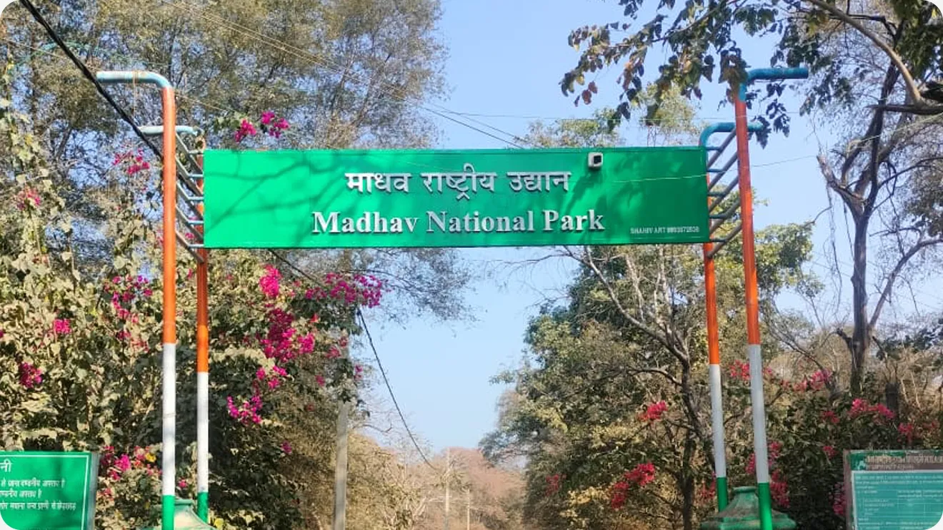 Madhav-national-Park