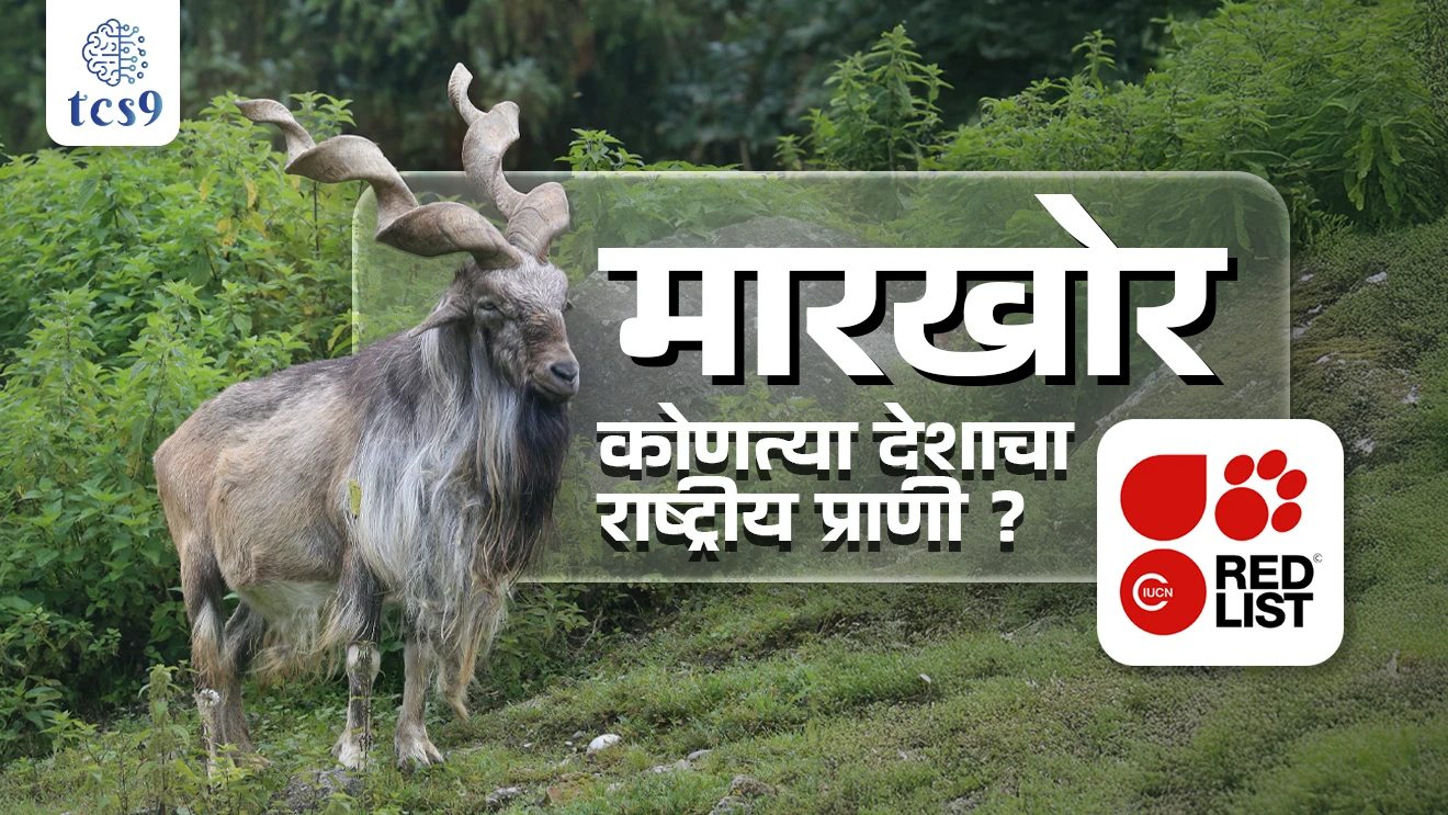 [ Markhor Goat, Markhor Sheli, Markhor bakri, Markhor Sheli kothe adhalte, paryavaran notes marathi madhe, environment, IUCN Red List, vanyajiv sanvrakshan kayda, Capra falconeri, bhartatil sanrakshit prani, Wildlife conservation act,  national animal,  iucn red list, largest goat in world, markhor Bakri, jagatil sarvat mothi Bakri, tcs chalu ghadamodi, ibps chalu ghadamodi, current Affair,  chalu Ghadamodi Marathi,   current Affair marathi madhe, 2024 cha chalu Ghadamodi,   police Bharti chalu Ghadamodi,   police Bharti prashnasanch,   police Bharti GK prashna,   Mpsc chalu Ghadamodi,   sarkari Naukri,   sarkari job,   sarkari yojna,   Maharashtra cha chalu Ghadamodi,   Maharashtra government yojna,   PSI syllabus, PSI cutoff,   police Bharti syllabus,   police Bharti cutoff,   police Bharti merit,   MPSC Sathi book,   MPSC Sathi pustak,   police Bharti Sathi pustak,   police Bharti magil prashnapatrika,   MPSC previous years question papers,   Mumbai police Bharti,   Mumbai police Bharti Lekhi kadhi ahe,   government GR,   police Bharti result,   MPSC result,   SSC GD merit,   sscgd syllabus,   army Bharti merit,   army Bharti result,   UPSC Marathi,   combine pariksha,   talathi,   talathi syllabus,   talathi cutoff,   talathi book list,   talathi result,   talathi merit,   talathi jaga kiti ahe,   saralseva exam,   saralseva pariksha,   saralseva result,   zilha parishad Bharti,   zilha parishad prashnapstrika, dinvishesh, Chalu Ghadamodi Marathi madhun, current Affair marathi madhe, headline-news, maharashtra-news, jhattpatt-batmya, pib, marathi batmya, government new channel, Pib, akashvani, the Hindu, Indian express, Loksatta, Lokmat, Dainik Bhaskar, sansad news, editorial, sampadkiya, vishleshan, Loksabha news, rajyasabha news, SSC GD notes, sscgd question papers, sscgd exam answer, results, SSC GD admit card, sscgd ground, exam centre ]