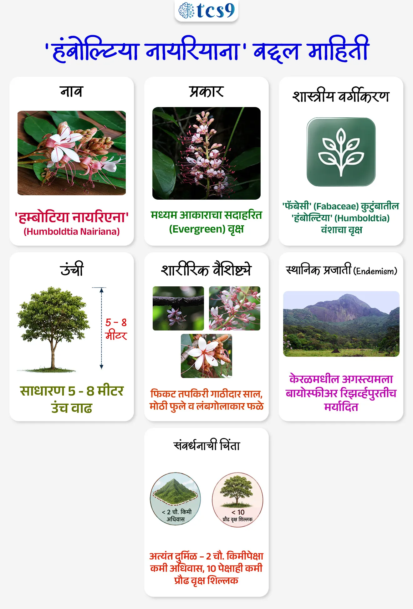 नवीन सदाहरित वृक्षप्रजातीचा शोध
New Evergreen Tree Species Discovered

📚 Subject : GS - पर्यावरण

सरळसेवा, तलाठी, वनरक्षक, पोलीस भरती, अग्निवीर , रेल्वे भरती, SSC GD, MPSC, UPSC परीक्षेसाठी विचारलेले / संभाव्य महत्त्वपूर्ण  प्रश्न

प्रश्न) अलीकडेच शास्त्रज्ञांनी शोधलेली 'हंबोल्टिया नायरियाना' (Humboldtia nairiana) ही नवीन सदाहरित वृक्षाची प्रजाती खालीलपैकी कोणत्या राज्यात आढळली आहे ?
महाराष्ट्र
गोवा
कर्नाटक
केरळ

उत्तर : केरळ

📰 बातमी काय ? 
संशोधकांनी केरळच्या दक्षिण पश्चिम घाटातील 'शेंदुर्णी वन्यजीव अभयारण्यात' (Shendurney Wildlife Sanctuary) एका नवीन सदाहरित (Evergreen) वृक्षप्रजातीचा शोध लावला आहे. 

🧐 शोध कोणी लावला ?
हा शोध  'जवाहरलाल नेहरू ट्रॉपिकल बोटॅनिक गार्डन अँड रिसर्च इन्स्टिट्यूट' (Jawaharlal Nehru Tropical Botanic Garden and Research Institute) या संस्थेच्या शास्त्रज्ञांनी लावला आहे.

🌳 'हंबोल्टिया नायरियाना' बद्दल माहिती :
या नवीन प्रजातीला 'हम्बोटिया नायरिएना' (Humboldtia nairiana) असे नाव देण्यात आले आहे.
1) प्रकार - हा मध्यम आकाराचा एक सदाहरित वृक्ष (Evergreen Tree) आहे.
2) शास्त्रीय वर्गीकरण - हा वृक्ष 'हंबोल्टिया' (Humboldtia) वंशातील (Genus) असून, तो 'फॅबेसी' (Fabaceae) या वनस्पती कुटुंबाशी (Family) संबंधित आहे.
3) उंची - हा वृक्ष साधारणपणे 5 ते 8 मीटर उंचीपर्यंत वाढतो.
4) शारीरिक वैशिष्ट्ये - या वृक्षाची साल फिकट तपकिरी रंगाची असून त्यावर गाठी (Warty bark) असतात.
याला लांब देठाची मोठी फुले आणि लंबगोलाकार फळे (Elliptic-oblong fruits) येतात.
5) स्थानिक प्रजाती (Endemism) - ही प्रजाती केवळ आणि केवळ केरळ राज्यापुरतीच मर्यादित (Strictly Endemic to Kerala)असून, सध्यातरी ती फक्त अगस्त्यमला बायोस्फीअर रिझर्व्हमध्ये सुमारे 300 मीटर उंचीवर आढळते.
6) संवर्धनाची चिंता (Conservation Concern) - या वृक्षाची वन्य लोकसंख्या अत्यंत नाजूक स्थितीत आहे. 
याचा अधिवास अवघ्या 2 चौ. किमी पेक्षा कमी क्षेत्रात पसरलेला असून, सध्या जंगलात याचे 10 पेक्षाही कमी पूर्ण वाढ झालेले वृक्ष जिवंत आहेत.

🌳🌴🐘 शेंदुर्णी वन्यजीव अभयारण्य कोठे आहे ?
शेंदुर्णी वन्यजीव अभयारण्य हे केरळ राज्यात असून ते त्याच्या समृद्ध उष्णकटिबंधीय सदाहरित जैवविविधतेसाठी ओळखले जाते.
हा भाग अगस्त्यमला बायोस्फीअर रिझर्व्हचा मुख्य भाग आहे.
अगस्त्यमला बायोस्फीअर रिझर्व्ह (Agasthyamala Biosphere Reserve) हे दक्षिण पश्चिम घाटात केरळ आणि तामिळनाडू या दोन राज्यांच्या सीमाभागात पसरलेले आहे.


🔑 परीक्षेच्या दृष्टीने IMP रिव्हिजन पॉईंट्स :  नवीन सदाहरित (Evergreen) वृक्षप्रजाती
 नवीन शोधलेली वृक्षप्रजाती → हम्बोटिया नायरिएना (Humboldtia nairiana)
 शोध लागलेले मुख्य ठिकाण → शेंदुर्णी वन्यजीव अभयारण्य (केरळ)
 प्रजातीची सद्यस्थिती → अतिशय नाजूक, जंगलात 10 पेक्षा कमी वृक्ष शिल्लक
 वृक्षाचे वनस्पतीशास्त्र कुळ → फॅबेसी (Fabaceae family)
शोध लावणारी संस्था → 'जवाहरलाल नेहरू ट्रॉपिकल बोटॅनिक गार्डन अँड रिसर्च इन्स्टिट्यूट' 

Humboldtia nairiana, Jawaharlal Nehru Tropical Botanic Garden and Research Institute




प्रश्न) अलीकडेच शास्त्रज्ञांनी शोधलेली 'हंबोल्टिया नायरियाना' (Humboldtia nairiana) ही नवीन सदाहरित वृक्षाची प्रजाती खालीलपैकी कोणत्या राज्यात आढळली आहे ?
महाराष्ट्र
गोवा
कर्नाटक
केरळ

उत्तर : केरळ