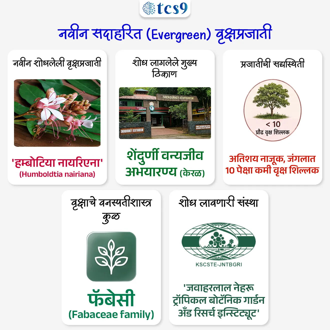 नवीन सदाहरित वृक्षप्रजातीचा शोध
New Evergreen Tree Species Discovered

📚 Subject : GS - पर्यावरण

सरळसेवा, तलाठी, वनरक्षक, पोलीस भरती, अग्निवीर , रेल्वे भरती, SSC GD, MPSC, UPSC परीक्षेसाठी विचारलेले / संभाव्य महत्त्वपूर्ण  प्रश्न

प्रश्न) अलीकडेच शास्त्रज्ञांनी शोधलेली 'हंबोल्टिया नायरियाना' (Humboldtia nairiana) ही नवीन सदाहरित वृक्षाची प्रजाती खालीलपैकी कोणत्या राज्यात आढळली आहे ?
महाराष्ट्र
गोवा
कर्नाटक
केरळ

उत्तर : केरळ

📰 बातमी काय ? 
संशोधकांनी केरळच्या दक्षिण पश्चिम घाटातील 'शेंदुर्णी वन्यजीव अभयारण्यात' (Shendurney Wildlife Sanctuary) एका नवीन सदाहरित (Evergreen) वृक्षप्रजातीचा शोध लावला आहे. 

🧐 शोध कोणी लावला ?
हा शोध  'जवाहरलाल नेहरू ट्रॉपिकल बोटॅनिक गार्डन अँड रिसर्च इन्स्टिट्यूट' (Jawaharlal Nehru Tropical Botanic Garden and Research Institute) या संस्थेच्या शास्त्रज्ञांनी लावला आहे.

🌳 'हंबोल्टिया नायरियाना' बद्दल माहिती :
या नवीन प्रजातीला 'हम्बोटिया नायरिएना' (Humboldtia nairiana) असे नाव देण्यात आले आहे.
1) प्रकार - हा मध्यम आकाराचा एक सदाहरित वृक्ष (Evergreen Tree) आहे.
2) शास्त्रीय वर्गीकरण - हा वृक्ष 'हंबोल्टिया' (Humboldtia) वंशातील (Genus) असून, तो 'फॅबेसी' (Fabaceae) या वनस्पती कुटुंबाशी (Family) संबंधित आहे.
3) उंची - हा वृक्ष साधारणपणे 5 ते 8 मीटर उंचीपर्यंत वाढतो.
4) शारीरिक वैशिष्ट्ये - या वृक्षाची साल फिकट तपकिरी रंगाची असून त्यावर गाठी (Warty bark) असतात.
याला लांब देठाची मोठी फुले आणि लंबगोलाकार फळे (Elliptic-oblong fruits) येतात.
5) स्थानिक प्रजाती (Endemism) - ही प्रजाती केवळ आणि केवळ केरळ राज्यापुरतीच मर्यादित (Strictly Endemic to Kerala)असून, सध्यातरी ती फक्त अगस्त्यमला बायोस्फीअर रिझर्व्हमध्ये सुमारे 300 मीटर उंचीवर आढळते.
6) संवर्धनाची चिंता (Conservation Concern) - या वृक्षाची वन्य लोकसंख्या अत्यंत नाजूक स्थितीत आहे. 
याचा अधिवास अवघ्या 2 चौ. किमी पेक्षा कमी क्षेत्रात पसरलेला असून, सध्या जंगलात याचे 10 पेक्षाही कमी पूर्ण वाढ झालेले वृक्ष जिवंत आहेत.

🌳🌴🐘 शेंदुर्णी वन्यजीव अभयारण्य कोठे आहे ?
शेंदुर्णी वन्यजीव अभयारण्य हे केरळ राज्यात असून ते त्याच्या समृद्ध उष्णकटिबंधीय सदाहरित जैवविविधतेसाठी ओळखले जाते.
हा भाग अगस्त्यमला बायोस्फीअर रिझर्व्हचा मुख्य भाग आहे.
अगस्त्यमला बायोस्फीअर रिझर्व्ह (Agasthyamala Biosphere Reserve) हे दक्षिण पश्चिम घाटात केरळ आणि तामिळनाडू या दोन राज्यांच्या सीमाभागात पसरलेले आहे.


🔑 परीक्षेच्या दृष्टीने IMP रिव्हिजन पॉईंट्स :  नवीन सदाहरित (Evergreen) वृक्षप्रजाती
 नवीन शोधलेली वृक्षप्रजाती → हम्बोटिया नायरिएना (Humboldtia nairiana)
 शोध लागलेले मुख्य ठिकाण → शेंदुर्णी वन्यजीव अभयारण्य (केरळ)
 प्रजातीची सद्यस्थिती → अतिशय नाजूक, जंगलात 10 पेक्षा कमी वृक्ष शिल्लक
 वृक्षाचे वनस्पतीशास्त्र कुळ → फॅबेसी (Fabaceae family)
शोध लावणारी संस्था → 'जवाहरलाल नेहरू ट्रॉपिकल बोटॅनिक गार्डन अँड रिसर्च इन्स्टिट्यूट' 

Humboldtia nairiana, Jawaharlal Nehru Tropical Botanic Garden and Research Institute




प्रश्न) अलीकडेच शास्त्रज्ञांनी शोधलेली 'हंबोल्टिया नायरियाना' (Humboldtia nairiana) ही नवीन सदाहरित वृक्षाची प्रजाती खालीलपैकी कोणत्या राज्यात आढळली आहे ?
महाराष्ट्र
गोवा
कर्नाटक
केरळ

उत्तर : केरळ