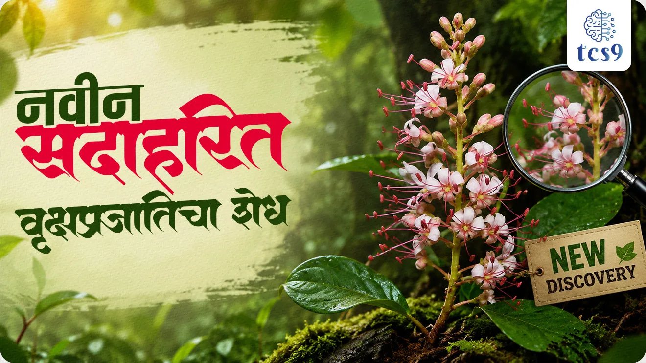 Humboldtia nairiana, Jawaharlal Nehru Tropical Botanic Garden and Research Institute, world current affair, jagtik ghadamodi, world news, Chalu Ghadamodi 2025, Chalu Ghadamodi Marathi, Chalu Ghadamodi PDF Download, Chalu Ghadamodi Test Series, Chalu Ghadamodi Prashnottare, Mahatvachya Chalu Ghadamodi, Chalu Ghadamodi Sarav Prashna, Darrojchya Chalu Ghadamodi, Chalu Ghadamodi Marathi Masik, Talathi Chalu Ghadamodi 2025, Talathi Bharti Chalu Ghadamodi, Talathi Spardha Pariksha Chalu Ghadamodi, RRB Group D Chalu Ghadamodi Marathi, Railway Bharti Chalu Ghadamodi, RRB Sarav Prashna Chalu Ghadamodi, Maharashtra Police Bharti Chalu Ghadamodi, Police Bharti Chalu Ghadamodi Prashnottare, Maharashtra Police Chalu Ghadamodi 2025, SSC GD Chalu Ghadamodi Marathit, SSC Bharti Chalu Ghadamodi, SSC Prashnsancha Chalu Ghadamodi, Vanrakshak Bharti Chalu Ghadamodi, Vanrakshak Pariksha Chalu Ghadamodi, Vanrakshak Prashnapatrika Chalu Ghadamodi, Agniveer Bharti Chalu Ghadamodi 2025, Agniveer Spardha Pariksha Chalu Ghadamodi, Agniveer Sarav Prashna Chalu Ghadamodi, tcs chalu ghadamodi, ibps chalu ghadamodi, chalu Ghadamodi Marathi,   current Affair marathi madhe, 2024 cha chalu Ghadamodi,   police Bharti chalu Ghadamodi,   police Bharti prashnasanch,   police Bharti GK prashna,   Mpsc chalu Ghadamodi,   sarkari Naukri,   sarkari job,   sarkari yojna,   Maharashtra cha chalu Ghadamodi,   Maharashtra government yojna,   PSI syllabus, PSI cutoff,   police Bharti syllabus,   police Bharti cutoff,   police Bharti merit,   MPSC Sathi book,   MPSC Sathi pustak,   police Bharti Sathi pustak,   police Bharti magil prashnapatrika,   MPSC previous years question papers,   Mumbai police Bharti,   Mumbai police Bharti Lekhi kadhi ahe,   government GR,   police Bharti result,   MPSC result,   SSC GD merit,   sscgd syllabus,   army Bharti merit,   army Bharti result,   UPSC Marathi,   combine pariksha,   talathi,   talathi syllabus,   talathi cutoff,   talathi book list,   talathi result,   talathi merit, tcs mock test, tcs pattern, ibps pattern, tcs pyq, tcs sarav paper, tcs talathi paper, tcs pattern notes, tcs prashnasanch, tcs gk gs, tcs maths, tcs talathi,  talathi jaga kiti ahe,   saralseva exam,   saralseva pariksha,   saralseva result,   zilha parishad Bharti,   zilha parishad prashnapstrika, dinvishesh, Chalu Ghadamodi Marathi madhun, current Affair marathi madhe, headline-news, maharashtra-news, jhattpatt-batmya, pib, marathi batmya, government new channel, Pib, akashvani, the Hindu, Indian express, Loksatta, Lokmat, Dainik Bhaskar, sansad news, editorial, sampadkiya, vishleshan, Loksabha news, rajyasabha news, SSC GD notes, sscgd question papers, sscgd exam answer, results, SSC GD admit card, sscgd ground, exam centre, mpsc main answer writing, maharashtra police recruitment 2025, maharashtra police exam updates, maharashtra police bharti latest news, maharashtra police exam calendar 2025, maharashtra police exam syllabus pdf download, maharashtra police bharti exam pattern 2025, maharashtra police constable syllabus, physical test details maharashtra police, maharashtra police bharti admit card 2025, maharashtra police hall ticket download, maharashtra police exam admit card date, maharashtra police study material pdf, maharashtra police exam preparation tips, maharashtra police mock tests free, best books for maharashtra police exam, maharashtra police bharti previous year papers pdf, maharashtra police constable sample papers, maharashtra police si model question papers, maharashtra police eligibility criteria 2025, age limit for maharashtra police bharti, educational qualification maharashtra police, maharashtra police result 2025, maharashtra police merit list, maharashtra police exam cutoff marks, maharashtra police online application 2025, maharashtra police physical test details, document verification for maharashtra police bharti, maharashtra police recruitment 2024, maharashtra police exam calendar 2024, maharashtra police bharti exam pattern 2024, maharashtra police bharti admit card 2024, maharashtra police eligibility criteria 2024, maharashtra police result 2024, maharashtra police online application 2024, RRB Group D, Railway Group D, Railway Recruitment Board Group D, Railway Group D Exam, Railway Group Notification, Railway Group D Vacancy, Railway Group D Syllabus, Railway Group D Eligibility, Railway Group D Application, Railway Group D Admit Card, Railway Group D Result, Railway Group D Cut Off, Railway Group D Salary, Railway Group D Jobs, RRB Group D Study Material, RRB Group D Previous Papers,  RRB Group D Mock Tests, RRB Group D Exam Pattern, current Affair, General Science, GK, GS, General  Awareness, current  affairs marathi , Mathematics, General Intelligence and reasoning, RRB chalu Ghadamodi, RRB Group D marathi notes, samanya vinyan, samanya, nyan, railway notes marathi madhe, railway pagar, pagar ani bhatta, railway bharti notes marathi, railway bhartichi tayari kashi karaychi, railway bharti magil varshanche prashnapatrika, railway bhartipyq, railway bharti prashnasanch, railway bharti test paper, railwetvnokrichi sandhi, railway job, railway bharticha syllabus, railway bharti pattern, railway bharti imp prashn, railway bhartila vicharle janare prashn, competitive exam, spardha parisha, railway bharti online class, railway bharti class, railway bharti chi tayari kashi karaychi,  RRB Group D Syllabus, RRB Group D Previous Papers, RRB Group D Exam Pattern, RRB Group D Eligibility Criteria, RRB Group D Notification, RRB Group D Application, RRB Group D Admit Card, RRB Group D Result, RRB Group D Cut Off, RRB Group D Salary, RRB Group D Jobs, RRB Group D Coaching, RRB Group D Study Material, RRB Group D Mock Tests, Railway Group D Level 1, RRB Group D 2025, RRB Group D Level 1, RRB Group D Posts, RRB Group D Exam Pattern, RRB Group D Exam Date, RRB Group D Online Application, RRB Group D Previous Papers, RRB Group D Preparation Tips, RRB Group D Study Material, RRB Group D Coaching, RRB Group D Mock Tests, How to prepare for RRB Group D exam, RRB Group D exam syllabus 2025, RRB Group D eligibility criteria 2025, RRB Group D application form 2025, RRB Group D admit card download, RRB Group D result date 2025, RRB Group D cut off marks 2025, RRB Group D salary and allowances, Best books for RRB Group D exam, Online coaching for RRB Group D, Railway Group D , RRB Group D, Railway Jobs , Government Jobs, Railway Recruitment, RRB Group D Exam, Railway Group D Vacancy, RRB Group D Notification, Railway Group D Application, RRB Group D Salary, aajcha dinveshesh, suvichaar, jagtik dinveshsh, dinveshsh, gktoday, lucent