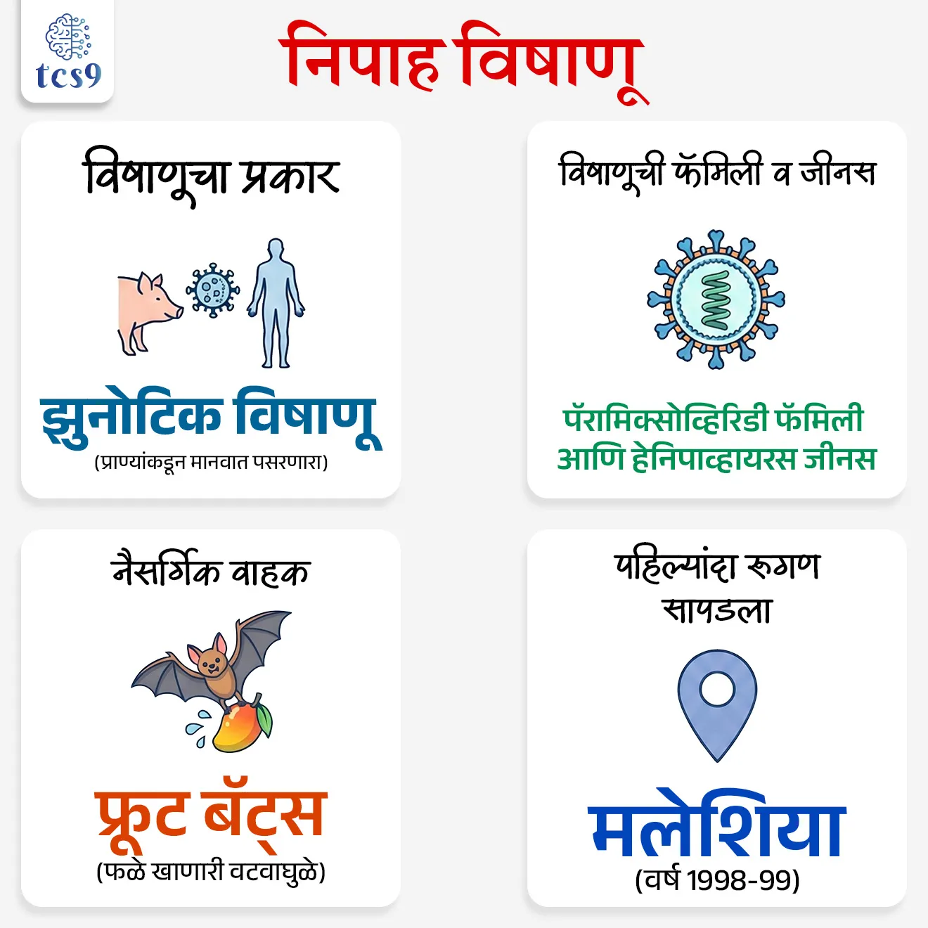निपाह विषाणू
Nipah Virus

📚 Subject : GS - विज्ञान आणि तंत्रज्ञान - रोग आणि आजार

सरळसेवा, तलाठी, वनरक्षक, पोलीस भरती, अग्निवीर , रेल्वे भरती, SSC GD, MPSC, UPSC परीक्षेसाठी विचारलेले / संभाव्य महत्त्वपूर्ण  प्रश्न

प्रश्न) अलीकडेच जून 2026 मध्ये 'निपाह विषाणू' (Nipah Virus) च्या प्रादुर्भावामुळे हाय-अलर्ट जारी करण्यात आलेले 'कोझिकोड' हे ठिकाण कोणत्या राज्यात आहे ?
केरळ
कर्नाटक
तामिळनाडू
आंध्र प्रदेश
उत्तर:  केरळ

📰 बातमी काय ?

केरळमधील कोझिकोड (Kozhikode) येथे निपाह विषाणूचे (Nipah Virus - NiV) नवीन रुग्ण आढळल्याने पुन्हा एकदा हाय-अलर्ट जारी करण्यात आला आहे. मानवी संसर्ग रोखण्यासाठी तातडीने कॉन्टॅक्ट ट्रेसिंग आणि क्वारंटाईन सारख्या उपाययोजना राबवल्या जात आहेत


🧐 निपाह विषाणूचा प्रादुर्भाव सर्वप्रथम कोणत्या आढळून आला ?
निपाह विषाणूचा प्रादुर्भाव सर्वप्रथम 1998-99 मध्ये मलेशियातील 'कांपुंग सुंगाई निपाह' (Kampung Sungai Nipah) या गावात लागला. 
या गावाच्या नावावरूनच या विषाणूला 'निपाह' हे नाव देण्यात आले.
निपाह विषाणू रोगाचा प्रकार - 
रोगाचा प्रकार - हा एक अत्यंत संसर्गजन्य झुनोटिक विषाणू (Zoonotic Virus) आहे, म्हणजेच हा आजार प्राण्यांकडून मानवांमध्ये पसरतो.
विषाणूचे कुटुंब -  हा विषाणू 'पॅरामॉक्सोव्हायरिडी' (Paramyxoviridae) कुटुंबातील 'हेनिपाव्हायरस' (Henipavirus) या प्रजातीचा सदस्य आहे.
निपाह विषाणूचा प्रसार आणि वाहक (Transmission and Reservoirs):
नैसर्गिक वाहक -  जागतिक आरोग्य संघटनेनुसार (WHO), 'टेरोपॉडिडी' (Pteropodidae) कुटुंबातील 'फ्रूट बॅट्स' (Fruit Bats)  म्हणजे च “फळे खाणारी वटवाघुळे” हे या विषाणूचे मुख्य नैसर्गिक वाहक आहेत.
मध्यस्थ वाहक (Intermediate Host) - डुक्कर (Pigs) हा या आजारात मध्यस्थ वाहक म्हणून काम करतो
मानवी प्रसार -  वटवाघुळांनी चावा घेतलेली किंवा दूषित केलेली फळे खाल्ल्याने तसेच बाधीत व्यक्तीच्या थेट संपर्कात आल्याने हा आजार मानवांमध्ये वेगाने पसरतो.
लक्षणे (Symptoms and Clinical Features) :
सुरुवातीची लक्षणे - संसर्ग झाल्यानंतर सुरुवातीला फ्लूसारखी (Influenza-like) लक्षणे दिसतात. जसे की, तीव्र ताप, स्नायू दुखणे, घसा सुजणे आणि श्वास घेण्यास त्रास होणे.
गंभीर अवस्था - लागण गंभीर झाल्यास रुग्णाला 'अॅक्युट एन्सेफलायटीस' (Acute Encephalitis) म्हणजे मेंदूला सूज येते. 
यामुळे चक्कर येणे, मानसिक गोंधळ उडणे, कोमामध्ये जाणे आणि शेवटी मृत्यू ओढवू शकतो.
निदान आणि चाचण्या (Diagnosis and Testing) :
सुरक्षा पातळी- निपाह हा 'बायोसेफ्टी लेव्हल-4' (BSL-4 Pathogen) चा घातक रोगजनक आहे, ज्यामुळे याचे नमुने केवळ उच्च-सुरक्षा प्रयोगशाळांमध्येच तपासले जातात.
हंगामी धोका आणि आव्हाने (Seasonal Risk in Kerala) :
धोकादायक कालावधी -  केरळमध्ये दरवर्षी एप्रिल ते सप्टेंबर या महिन्यांत निपाहचा प्रादुर्भाव वाढण्याचा मोठा धोका असतो.
कारण - या काळात झाडांना फळे येण्याचा हंगाम असतो, वटवाघुळांची हालचाल वाढते, त्यांचा प्रजननाचा काळ असतो आणि त्यांच्या विष्ठेतून किंवा लाळेतून विषाणू बाहेर पडण्याचे (Viral Shedding) प्रमाण जास्त असते.
उपचार आणि प्रतिबंध (Treatment and Prevention) :
लस उपलब्ध नाही - मानवांसाठी किंवा प्राण्यांसाठी निपाह विषाणूवर कोणतीही अधिकृत मान्यताप्राप्त लस उपलब्ध नाही.
उपचार पद्धती -  रुग्णाला आयसोलेशनमध्ये (Isolation) ठेवून विशेष काळजी (Intensive Supportive Care) दिली जाते.
भारताचे यश -  भारताने, विशेषतः केरळने 'मोनोक्लोनल अँटीबॉडीज' (Monoclonal Antibodies) आणि 'रेमडेसिवीर' (Remdesivir) सारख्या अँटीव्हायरल औषधांचा प्रभावी वापर करून मृत्यूदर कमी केला आहे. 
2018 मधील 91% वरून हा मृत्यूदर 2023-25 पर्यंत सुमारे 33% वर आणण्यात यश आले आहे.
🔑 परीक्षेच्या दृष्टीने IMP रिव्हिजन पॉईंट्स : Nipah Virus
 विषाणूचा प्रकार   → झुनोटिक विषाणू (प्राण्यांकडून मानवात पसरणारा)
 विषाणूची फॅमिली व जीनस   → पॅरामिक्सोव्हिरिडी फॅमिली आणि हेनिपाव्हायरस जीनस.
 नैसर्गिक वाहक → फ्रूट बॅट्स (फळे खाणारी वटवाघुळे)
 पहिल्यांदा रूगण सापडला → मलेशिया (वर्ष 1998-99)


Nipah virus case has been reported in Kozhikode, Kerala, zoonotic virus,KampungSungaiNipah,Malaysia,Henipavirus genus,Paramyxoviridae family, science and technology notes,  Vinyan ani tantranyan, Rog ani Ajar

   



प्रश्न) केरळमध्ये पुन्हा एकदा प्रादुर्भाव झालेल्या घातक 'निपाहा विषाणूचा' (Nipah Virus) निसर्गातील मुख्य आणि नैसर्गिक वाहक (Natural Reservoir) खालीलपैकी कोण आहे, ज्याच्यामार्फत हा विषाणू प्रामुख्याने पसरतो?
१) एडिस इजिप्ती डास 
२) फ्रूट बॅट्स (फळे खाणारी वटवाघुळे)
३) रॅट फिअरी (उंदरांवरील पिसू)
४) पाळीव कुत्रे व मांजरी
 उत्तर : फ्रूट बॅट्स (फळे खाणारी वटवाघुळे)
जागतिक आरोग्य संघटनेच्या (WHO) अधिकृत माहितीनुसार, निपाहा विषाणूचा मुख्य स्रोत 'फ्रूट बॅट्स' आहेत. 
ही वटवाघुळे झाडांची फळे खातात. त्यांनी अर्धवट खाल्लेली किंवा लाळ लागलेली फळे, ताडी किंवा पाणी मानवाने किंवा डुकरांसारख्या प्राण्यांनी प्राशन केल्यास हा विषाणू त्यांच्या शरीरात प्रवेश करतो आणि तिथून त्याचा प्रसार मानवांमध्ये होतो.
इतर पर्याय - 
🦟एडिस इजिप्ती डास : या डासामुळे डेंग्यू, चिकनगुनिया आणि झिका यांसारखे आजार पसरतात.
 🐀रॅट फिअरी / उंदरांवरील पिसू : उंदरांच्या अंगावर आढळणाऱ्या पिसूंमुळे प्लेग (Plague) हा घातक आजार पसरतो.
🐕🐈पाळीव कुत्रे व मांजरी : पिसाळलेला कुत्रा किंवा मांजर चावल्यामुळे रेबीज (Rabies) हा प्राणघातक आजार होतो.