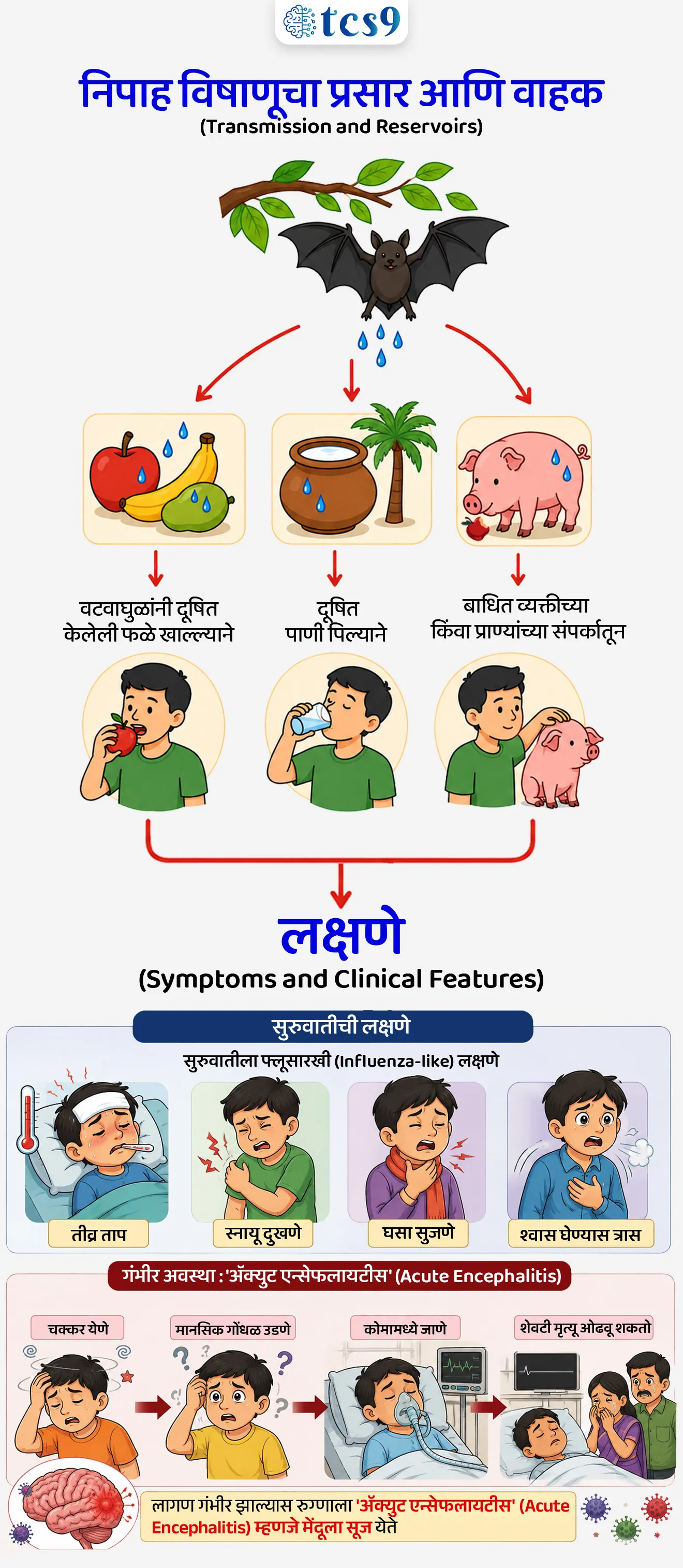 निपाह विषाणू
Nipah Virus

📚 Subject : GS - विज्ञान आणि तंत्रज्ञान - रोग आणि आजार

सरळसेवा, तलाठी, वनरक्षक, पोलीस भरती, अग्निवीर , रेल्वे भरती, SSC GD, MPSC, UPSC परीक्षेसाठी विचारलेले / संभाव्य महत्त्वपूर्ण  प्रश्न

प्रश्न) अलीकडेच जून 2026 मध्ये 'निपाह विषाणू' (Nipah Virus) च्या प्रादुर्भावामुळे हाय-अलर्ट जारी करण्यात आलेले 'कोझिकोड' हे ठिकाण कोणत्या राज्यात आहे ?
केरळ
कर्नाटक
तामिळनाडू
आंध्र प्रदेश
उत्तर:  केरळ

📰 बातमी काय ?

केरळमधील कोझिकोड (Kozhikode) येथे निपाह विषाणूचे (Nipah Virus - NiV) नवीन रुग्ण आढळल्याने पुन्हा एकदा हाय-अलर्ट जारी करण्यात आला आहे. मानवी संसर्ग रोखण्यासाठी तातडीने कॉन्टॅक्ट ट्रेसिंग आणि क्वारंटाईन सारख्या उपाययोजना राबवल्या जात आहेत


🧐 निपाह विषाणूचा प्रादुर्भाव सर्वप्रथम कोणत्या आढळून आला ?
निपाह विषाणूचा प्रादुर्भाव सर्वप्रथम 1998-99 मध्ये मलेशियातील 'कांपुंग सुंगाई निपाह' (Kampung Sungai Nipah) या गावात लागला. 
या गावाच्या नावावरूनच या विषाणूला 'निपाह' हे नाव देण्यात आले.
निपाह विषाणू रोगाचा प्रकार - 
रोगाचा प्रकार - हा एक अत्यंत संसर्गजन्य झुनोटिक विषाणू (Zoonotic Virus) आहे, म्हणजेच हा आजार प्राण्यांकडून मानवांमध्ये पसरतो.
विषाणूचे कुटुंब -  हा विषाणू 'पॅरामॉक्सोव्हायरिडी' (Paramyxoviridae) कुटुंबातील 'हेनिपाव्हायरस' (Henipavirus) या प्रजातीचा सदस्य आहे.
निपाह विषाणूचा प्रसार आणि वाहक (Transmission and Reservoirs):
नैसर्गिक वाहक -  जागतिक आरोग्य संघटनेनुसार (WHO), 'टेरोपॉडिडी' (Pteropodidae) कुटुंबातील 'फ्रूट बॅट्स' (Fruit Bats)  म्हणजे च “फळे खाणारी वटवाघुळे” हे या विषाणूचे मुख्य नैसर्गिक वाहक आहेत.
मध्यस्थ वाहक (Intermediate Host) - डुक्कर (Pigs) हा या आजारात मध्यस्थ वाहक म्हणून काम करतो
मानवी प्रसार -  वटवाघुळांनी चावा घेतलेली किंवा दूषित केलेली फळे खाल्ल्याने तसेच बाधीत व्यक्तीच्या थेट संपर्कात आल्याने हा आजार मानवांमध्ये वेगाने पसरतो.
लक्षणे (Symptoms and Clinical Features) :
सुरुवातीची लक्षणे - संसर्ग झाल्यानंतर सुरुवातीला फ्लूसारखी (Influenza-like) लक्षणे दिसतात. जसे की, तीव्र ताप, स्नायू दुखणे, घसा सुजणे आणि श्वास घेण्यास त्रास होणे.
गंभीर अवस्था - लागण गंभीर झाल्यास रुग्णाला 'अॅक्युट एन्सेफलायटीस' (Acute Encephalitis) म्हणजे मेंदूला सूज येते. 
यामुळे चक्कर येणे, मानसिक गोंधळ उडणे, कोमामध्ये जाणे आणि शेवटी मृत्यू ओढवू शकतो.
निदान आणि चाचण्या (Diagnosis and Testing) :
सुरक्षा पातळी- निपाह हा 'बायोसेफ्टी लेव्हल-4' (BSL-4 Pathogen) चा घातक रोगजनक आहे, ज्यामुळे याचे नमुने केवळ उच्च-सुरक्षा प्रयोगशाळांमध्येच तपासले जातात.
हंगामी धोका आणि आव्हाने (Seasonal Risk in Kerala) :
धोकादायक कालावधी -  केरळमध्ये दरवर्षी एप्रिल ते सप्टेंबर या महिन्यांत निपाहचा प्रादुर्भाव वाढण्याचा मोठा धोका असतो.
कारण - या काळात झाडांना फळे येण्याचा हंगाम असतो, वटवाघुळांची हालचाल वाढते, त्यांचा प्रजननाचा काळ असतो आणि त्यांच्या विष्ठेतून किंवा लाळेतून विषाणू बाहेर पडण्याचे (Viral Shedding) प्रमाण जास्त असते.
उपचार आणि प्रतिबंध (Treatment and Prevention) :
लस उपलब्ध नाही - मानवांसाठी किंवा प्राण्यांसाठी निपाह विषाणूवर कोणतीही अधिकृत मान्यताप्राप्त लस उपलब्ध नाही.
उपचार पद्धती -  रुग्णाला आयसोलेशनमध्ये (Isolation) ठेवून विशेष काळजी (Intensive Supportive Care) दिली जाते.
भारताचे यश -  भारताने, विशेषतः केरळने 'मोनोक्लोनल अँटीबॉडीज' (Monoclonal Antibodies) आणि 'रेमडेसिवीर' (Remdesivir) सारख्या अँटीव्हायरल औषधांचा प्रभावी वापर करून मृत्यूदर कमी केला आहे. 
2018 मधील 91% वरून हा मृत्यूदर 2023-25 पर्यंत सुमारे 33% वर आणण्यात यश आले आहे.
🔑 परीक्षेच्या दृष्टीने IMP रिव्हिजन पॉईंट्स : Nipah Virus
 विषाणूचा प्रकार   → झुनोटिक विषाणू (प्राण्यांकडून मानवात पसरणारा)
 विषाणूची फॅमिली व जीनस   → पॅरामिक्सोव्हिरिडी फॅमिली आणि हेनिपाव्हायरस जीनस.
 नैसर्गिक वाहक → फ्रूट बॅट्स (फळे खाणारी वटवाघुळे)
 पहिल्यांदा रूगण सापडला → मलेशिया (वर्ष 1998-99)


Nipah virus case has been reported in Kozhikode, Kerala, zoonotic virus,KampungSungaiNipah,Malaysia,Henipavirus genus,Paramyxoviridae family, science and technology notes,  Vinyan ani tantranyan, Rog ani Ajar

   



प्रश्न) केरळमध्ये पुन्हा एकदा प्रादुर्भाव झालेल्या घातक 'निपाहा विषाणूचा' (Nipah Virus) निसर्गातील मुख्य आणि नैसर्गिक वाहक (Natural Reservoir) खालीलपैकी कोण आहे, ज्याच्यामार्फत हा विषाणू प्रामुख्याने पसरतो?
१) एडिस इजिप्ती डास 
२) फ्रूट बॅट्स (फळे खाणारी वटवाघुळे)
३) रॅट फिअरी (उंदरांवरील पिसू)
४) पाळीव कुत्रे व मांजरी
 उत्तर : फ्रूट बॅट्स (फळे खाणारी वटवाघुळे)
जागतिक आरोग्य संघटनेच्या (WHO) अधिकृत माहितीनुसार, निपाहा विषाणूचा मुख्य स्रोत 'फ्रूट बॅट्स' आहेत. 
ही वटवाघुळे झाडांची फळे खातात. त्यांनी अर्धवट खाल्लेली किंवा लाळ लागलेली फळे, ताडी किंवा पाणी मानवाने किंवा डुकरांसारख्या प्राण्यांनी प्राशन केल्यास हा विषाणू त्यांच्या शरीरात प्रवेश करतो आणि तिथून त्याचा प्रसार मानवांमध्ये होतो.
इतर पर्याय - 
🦟एडिस इजिप्ती डास : या डासामुळे डेंग्यू, चिकनगुनिया आणि झिका यांसारखे आजार पसरतात.
 🐀रॅट फिअरी / उंदरांवरील पिसू : उंदरांच्या अंगावर आढळणाऱ्या पिसूंमुळे प्लेग (Plague) हा घातक आजार पसरतो.
🐕🐈पाळीव कुत्रे व मांजरी : पिसाळलेला कुत्रा किंवा मांजर चावल्यामुळे रेबीज (Rabies) हा प्राणघातक आजार होतो.
