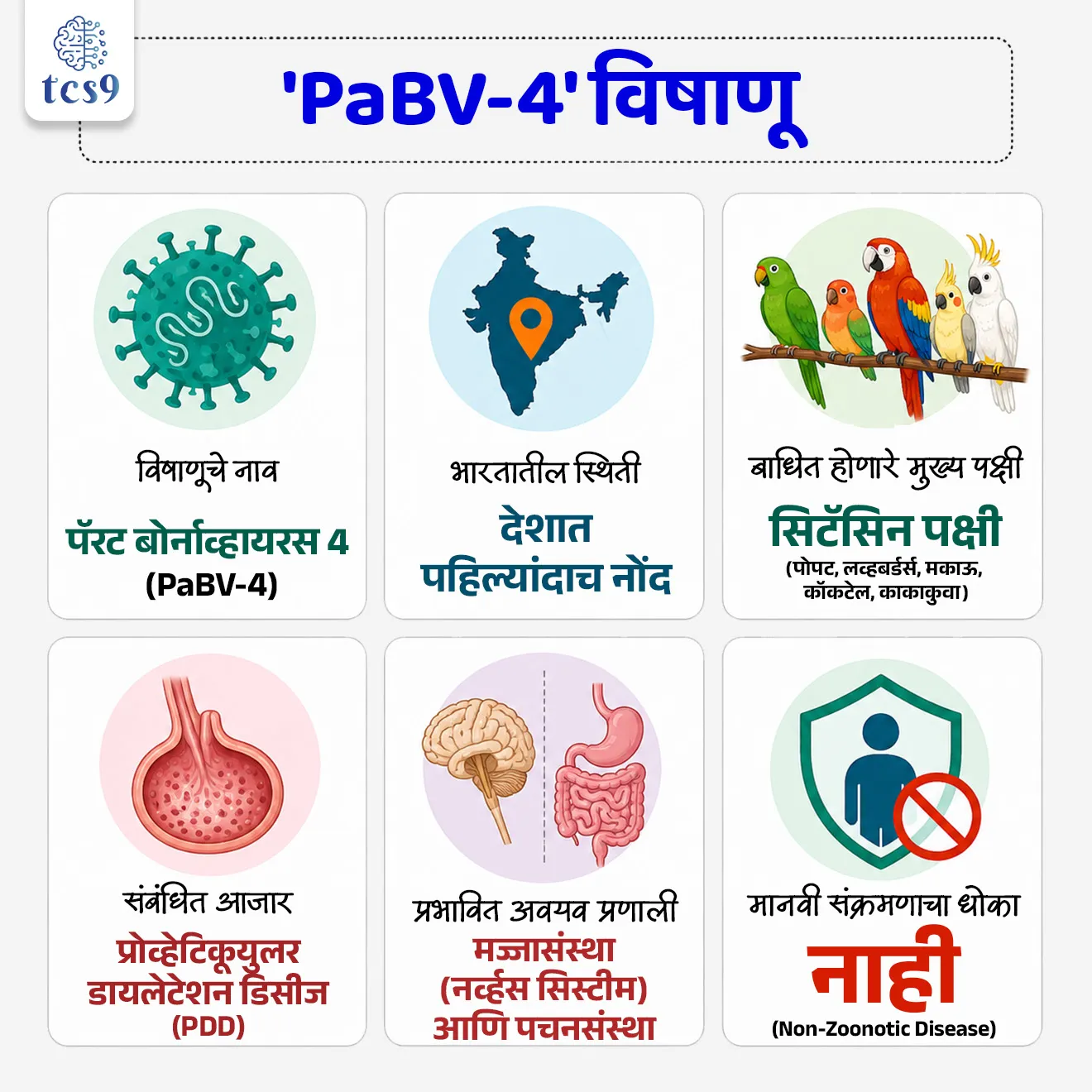 Deadly PaBV-4 Virus Detected in India
📚 Subject : GS - विज्ञान आणि तंत्रज्ञान - रोग आणि आजार
सरळसेवा, तलाठी, वनरक्षक, पोलीस भरती, अग्निवीर , रेल्वे भरती, SSC GD, MPSC, UPSC परीक्षेसाठी विचारलेले / संभाव्य महत्त्वपूर्ण प्रश्न
प्रश्न) भारतात पहिल्यांदाच नोंद झालेला 'पॅरट बोर्नाव्हायरस 4' (PaBV-4) हा घातक विषाणू प्रामुख्याने खालीलपैकी कोणत्या जीवांच्या मज्जासंस्था व पचनसंस्थेवर परिणाम करतो ?
1. पोपट व तत्सम विदेशी पक्षी
2. दुभती जनावरे
3. सागरी मासे व कोळंबी
4. रेशीम कीटक व मधमाश्या
उत्तर : पोपट व तत्सम विदेशी पक्षी (Psittacine Birds)
📰 बातमी काय ?
• पोपट आणि तत्सम प्रजातींच्या पक्ष्यांमध्ये आढळणारा अत्यंत घातक आणि संसर्गजन्य 'पॅरट बोर्नाव्हायरस 4' (PaBV-4 - Parrot Bornavirus 4) हा विषाणू भारतात पहिल्यांदाच आढळून आला आहे.
• पिंजऱ्यात किंवा पाळीव म्हणून ठेवण्यात येणाऱ्या पक्ष्यांमध्ये (Captive Birds) या विषाणूमुळे अत्यंत वेगाने मृत्यू ओढवण्याचा धोका असतो, ज्यामुळे वन्यजीव तज्ज्ञ आणि पक्षीप्रेमींमध्ये चिंता व्यक्त केली जात आहे.
🧐 'PaBV-4' विषाणू आणि त्याचे स्वरूप :
1) विषाणूचे नाव - पॅरट बोर्नाव्हायरस 4 (Parrot Bornavirus 4 - PaBV-4).
2) संसर्गाचे प्रमाण - हा अत्यंत वेगाने पसरणारा (Highly Contagious) प्राणघातक विषाणू आहे.
3) बाधित होणारे पक्षी (Psittacine Birds) -
• 'सिटॅसिन' (Psittacine) म्हणजे पोपट कुटुंबाशी (Psittacidae Family / Psittaciformes Order) संबंधित किंवा त्यांच्यासारखे दिसणारे सर्व पक्षी.
4) समाविष्ट प्रजाती - बजरीगर (Budgerigars), कॉकटेल (Cockatiels), काकाकुवा (Cockatoos), लव्हबर्ड्स (Lovebirds), मकाऊ (Macaws) आणि विविध प्रकारचे पोपट (Parakeets).
5) कारणीभूत आजार (PDD) -
• हा विषाणू प्रामुख्याने 'प्रोव्हेन्ट्रिक्युलर डायलेटेशन डिसीज' (PDD - Proventricular Dilatation Disease) या गंभीर आजारासाठी कारणीभूत ठरतो.
• हा पक्ष्यांमधील एक गंभीर मज्जासंस्था (Neurological) आणि पचनसंस्था (Digestive) विकार आहे, ज्यामुळे पक्ष्यांची अन्न पचवण्याची क्षमता पूर्णपणे नष्ट होते.
✍️ प्रमुख लक्षणे :
• पक्ष्यांचे वजन झपाट्याने घटणे (Weight Loss).
• खाल्लेले अन्न उलटून बाहेर टाकणे (Regurgitation).
• शरीराचा तोल सांभाळता न येणे (Poor Coordination) आणि प्रचंड अशक्तपणा.
• वर्तनात टोकाचे बदल होणे आणि गंभीर अवस्थेत अचानक मृत्यू होणे.
🤔 झुनोटिक आजार (Zoonotic Disease) म्हणजे काय ?
• जे रोग किंवा विषाणू प्राण्यांकडून किंवा पक्ष्यांकडून थेट मानवात संक्रमित होतात, त्यांना झुनोटिक रोग म्हणतात (उदा. बर्ड फ्लू - H5N1, रेबीज, निपाह विषाणू). 'PaBV-4' हा असा झुनोटिक आजार नाही.
🤔 'पॅरट बोर्नाव्हायरस 4' हा झुनोटिक (Zoonotic) आजार आहे का ?
• हा झुनोटिक (Zoonotic) आजार नाही; म्हणजेच हा विषाणू पक्ष्यांकडून नैसर्गिकरीत्या मानवामध्ये पसरत नाही.
🔑 परीक्षेच्या दृष्टीने IMP रिव्हिजन पॉईंट्स : PaBV-4 Bird Virus
• विषाणूचे नाव → पॅरट बोर्नाव्हायरस 4 (PaBV-4)
• भारतातील स्थिती → देशात पहिल्यांदाच नोंद
• बाधित होणारे मुख्य पक्षी → सिटॅसिन पक्षी (पोपट, लव्हबर्ड्स, मकाऊ, कॉकटेल, काकाकुवा)
• संबंधित आजार → प्रोव्हेन्ट्रिक्युलर डायलेटेशन डिसीज (PDD)
• प्रभावित अवयव प्रणाली → मज्जासंस्था (नर्व्हस सिस्टीम) आणि पचनसंस्था
• मानवी संक्रमणाचा धोका → नाही (Non-Zoonotic Disease)
First Time in India, Environment, Biodiversity, Animal Diseases, Non-Zoonotic Disease,
प्रश्न) भारतात पहिल्यांदाच नोंद झालेला 'पॅरट बोर्नाव्हायरस 4' (PaBV-4) हा घातक विषाणू प्रामुख्याने खालीलपैकी कोणत्या जीवांच्या मज्जासंस्था व पचनसंस्थेवर परिणाम करतो ?
1. पोपट व तत्सम विदेशी पक्षी
2. दुभती जनावरे
3. सागरी मासे व कोळंबी
4. रेशीम कीटक व मधमाश्या
उत्तर : पोपट व तत्सम विदेशी पक्षी (Psittacine Birds)
• PaBV-4 विषाणू : हा एक अत्यंत संसर्गजन्य विषाणू असून भारतात तो पहिल्यांदाच आढळून आला आहे.
• प्रभाव : हा विषाणू प्रामुख्याने पोपट, मकाऊ, काकाकुवा, लव्हबर्ड्स यांसारख्या सिटॅसिन पक्ष्यांमध्ये 'प्रोव्हेन्ट्रिक्युलर डायलेटेशन डिसीज' (PDD) हा मज्जासंस्था व पचनसंस्थेचा प्राणघातक आजार निर्माण करतो.
• हा आजार मानवात पसरत नाही (Non-Zoonotic).
प्रश्न) पक्ष्यांमधील 'पॅरट बोर्नाव्हायरस 4' (PaBV-4) या विषाणू संदर्भात खालील विधाने विचारात घ्या:
अ) हा विषाणू पोपट आणि तत्सम पाळीव पक्ष्यांमध्ये मज्जासंस्था आणि पचनसंस्थेशी संबंधित PDD आजारासाठी कारणीभूत ठरतो.
ब) हा एक अत्यंत घातक झुनोटिक (Zoonotic) विषाणू असून तो पक्ष्यांकडून मानवामध्ये अत्यंत वेगाने पसरतो.
वरीलपैकी कोणते/कोणती विधान/विधाने बरोबर आहे/आहेत?
1. फक्त विधान 'अ' बरोबर
2. फक्त विधान 'ब' बरोबर
3. 'अ' आणि 'ब' दोन्ही विधाने बरोबर आहेत
4. 'अ' आणि 'ब' दोन्ही विधाने चुकीची आहेत
उत्तर : फक्त विधान 'अ' बरोबर
✅ विधान अ बरोबर आहे - :
• PaBV-4 हा विषाणू प्रामुख्याने 'प्रोव्हेन्ट्रिक्युलर डायलेटेशन डिसीज' (PDD - Proventricular Dilatation Disease) या गंभीर आजारासाठी कारणीभूत ठरतो.
• हा पक्ष्यांमधील एक गंभीर मज्जासंस्था (Neurological) आणि पचनसंस्था (Digestive) विकार आहे, ज्यामुळे पक्ष्यांची अन्न पचवण्याची क्षमता पूर्णपणे नष्ट होते.
❌ विधान ब चुकीचे आहे : हा विषाणू झुनोटिक (Zoonotic) नाही.
🤔 झुनोटिक आजार (Zoonotic Disease) म्हणजे काय ?
• जे रोग किंवा विषाणू प्राण्यांकडून किंवा पक्ष्यांकडून थेट मानवात संक्रमित होतात, त्यांना झुनोटिक रोग म्हणतात (उदा. बर्ड फ्लू - H5N1, रेबीज, निपाह विषाणू).
• 'PaBV-4' हा असा झुनोटिक आजार नाही.