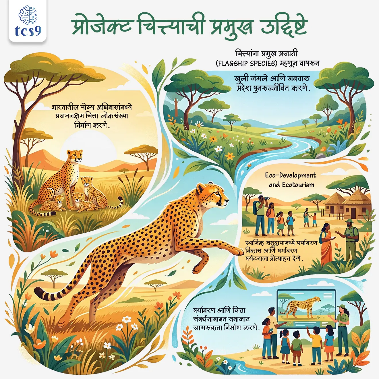 प्रोजेक्ट चित्ता म्हणजे काय ?
• लॅान्च : प्रोजेक्ट चित्ता हा भारत सरकारचा 2022 मध्ये सुरू केलेला महत्वाकांक्षी प्रकल्प आहे.
• उद्दिष्ट : सुमारे 70 वर्षांपूर्वी भारतातून नामशेष झालेल्या चित्त्यांना पुन्हा नैसर्गिक अधिवासात आणणे, हे या प्रकल्पाचे मुख्य उद्दिष्ट आहे.
• जगातील पहिला : हा प्रकल्प प्रोजेक्ट टायगर अंतर्गत राबवला जात असून, तो जगातील पहिला आंतरखंडीय मोठ्या मांसाहारी प्राण्यांचा स्थलांतर प्रकल्प मानला जातो.
प्रोजेक्ट चित्त्याची प्रमुख उद्दिष्टे कोणती ?
• भारतातील योग्य अधिवासांमध्ये प्रजननक्षम चित्ता लोकसंख्या निर्माण करणे.
• चित्त्यांना प्रमुख प्रजाती (Flagship Species) म्हणून वापरून,
• खुली जंगले आणि गवताळ प्रदेश पुनरुज्जीवित करणे.
• स्थानिक समुदायामध्ये पर्यावरण विकास आणि पर्यावरण पर्यटनाला (Eco-Development and Ecotourism) प्रोत्साहन देणे.
• पर्यावरण आणि चित्ता संवर्धनाबाबत समाजात जागरूकता निर्माण करणे.
