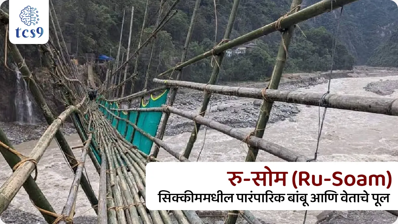 रु-सोम : स्वदेशी अभियांत्रिकी वारसा
Ru-Soam : indigenous engineering heritage
📚 Subject : GS
सरळसेवा, तलाठी, वनरक्षक, पोलीस भरती, अग्निवीर , रेल्वे भरती, SSC GD, MPSC, UPSC परीक्षेसाठी विचारलेले / संभाव्य महत्त्वपूर्ण प्रश्न
प्रश्न) अलीकडेच चर्चेत आलेली 'रु-सोम' (Ru-Soam) ही पारंपरिक बांबू पूल निर्मितीची अभियांत्रिकी पद्धत खालीलपैकी कोणत्या राज्यातील आदिवासी समुदायाशी संबंधित आहे ?
आसाम
केरळ
सिक्कीम
नागालँड
उत्तर : सिक्कीम
📰 बातमी काय ?
युनेस्को (UNESCO) आणि सिक्कीम सरकारने संयुक्तपणे सिक्कीममधील 'लेपचा' (Lepcha) समुदायाच्या 'रु-सोम' (Ru-Soam) या पारंपारिक आणि स्वदेशी अभियांत्रिकी पद्धतीचे पद्धतशीर दस्तऐवजीकरण (Documentation) करण्यासाठी भागीदारी केली आहे.
🧐 'रु-सोम' अभियांत्रिकी म्हणजे काय?
🧐 What is Ru-Soam?
1) स्वरूप - 'रु-सोम' म्हणजे सिक्कीममधील लेपचा समुदायाद्वारे स्थानिक पातळीवर उपलब्ध बांबू आणि वेताचा (Cane and Bamboo) वापर करून तयार केलेले पारंपारिक पूल (Footbridges) होय.
2) उगम - या अभियांत्रिकीचा उगम दुर्गम 'झोंगु' (Dzongu) प्रदेशातील प्राचीन रहिवासी असलेल्या लेपचा लोकांकडून झाला आहे.
3) ठिकाण - हे पूल प्रामुख्याने सिक्कीममधील 'कांचनजंगा बायोस्फीअर रिझर्व्ह' (Khangchendzonga Biosphere Reserve) परिसरात पाहायला मिळतात
4) उद्देश: या पुलांमागील पर्यावरणीय आणि अभियांत्रिकी तत्वांचा अभ्यास करून, हवामान बदलाच्या काळात आपत्ती-प्रवण भागात अशा प्रकारच्या लवचिक पायाभूत सुविधांचा वापर कसा करता येईल, हे तपासणे.
🌴'रु-सोम' पुलांची वैशिष्ट्ये (Structural Features):
1) हरित पोलाद (Green Steel) -
हे पूल पूर्णपणे स्थानिक वेत आणि 'महलू' व 'पॉडियांग' नावाच्या बांबूच्या प्रजातींपासून बनवले जातात.
बांबूची ताणण्याची क्षमता (Tensile Strength) खूप जास्त असल्याने त्याला 'हरित पोलाद' म्हटले जाते.
2) आधुनिक सिद्धांतावर आधारित - हे पूल सिमेंट, लोखंड किंवा काँक्रीटचा वापर न करता हुबेहूब आधुनिक सस्पेन्शन ब्रिज (लटकते पूल) सारखे काम करतात.
3) क्षमता - हे पूल 100 मीटर लांबीपर्यंत पसरू शकतात आणि एकाच वेळी 2 ते 3 लोकांचे वजन सहज पेलू शकतात.
⛳️ 'रु-सोम' पुलाचे प्रमुख भाग :
1) सोमग्यांग (Soamgyang) - पुलाच्या दोन्ही बाजूला असणारे मोठे वेत, जे मुख्य केबलसारखे वजन पेलतात आणि दोन्ही काठांवरील मोठ्या झाडांना बांधलेले असतात.
2) अहुल (Ahool) - मुख्य केबल आणि चालण्याच्या भागाला जोडणारे वेताचे लूप्स.
3) सोमगुर (Soamgur): बांबूपासून बनवलेली चालण्याची मुख्य जागा (Deck)
🎋 'रु-सोम' पुल बांधणी पद्धतीचे महत्त्व (Significance) :
1) शून्य कार्बन उत्सर्जन - सिमेंट आणि स्टीलच्या तुलनेत बांबू आणि वेतामुळे निसर्गाला कोणतीही हानी पोहोचत नाही. तसेच बांबू अवघ्या 3 ते 5 वर्षांत पुन्हा उगवतो.
2) भूकंप रोधक - हे पूल वजनाने हलके आणि अत्यंत लवचिक असतात. त्यामुळे भूकंपाचे धक्के (Seismic Waves) बसल्यावर सिमेंटचे पूल कोसळतात, परंतु बांबूचे पूल न तुटता केवळ हेलकावे घेतात
🔑 परीक्षेच्या दृष्टीने IMP रिव्हिजन पॉईंट्स :
रु-सोम (Ru-Soam) - सिक्कीममधील पारंपारिक बांबू आणि वेताचे पूल
भागीदारी - युनेस्को (UNESCO) आणि सिक्कीम सरकार.
संबंधित समुदाय - लेपचा (Lepcha) आदिवासी समुदाय.
बांबूला दिलेली उपमा - 'ग्रीन स्टील'
पर्यावरणीय फायदा - हलक्या व लवचिक स्वरूपामुळे भूकंप रोधक आणि पर्यावरणपूरक
Source
UNESCO and Government of Sikkim partner to document the engineering practices of Ru-Soam
Ru-Soam : indigenous engineering heritage, Lepcha community, renewable resource for infrastructure, adivasi samajm,
प्रश्न) अलीकडेच चर्चेत आलेली 'रु-सोम' (Ru-Soam) ही पारंपरिक बांबू पूल निर्मितीची अभियांत्रिकी पद्धत खालीलपैकी कोणत्या राज्यातील आदिवासी समुदायाशी संबंधित आहे ?
आसाम
केरळ
सिक्कीम
नागालँड
उत्तर : सिक्कीम
युनेस्को (UNESCO) आणि सिक्कीम सरकारने संयुक्तपणे सिक्कीममधील 'लेपचा' (Lepcha) समुदायाच्या 'रु-सोम' (Ru-Soam) या पारंपारिक आणि स्वदेशी अभियांत्रिकी पद्धतीचे पद्धतशीर दस्तऐवजीकरण (Documentation) करण्यासाठी भागीदारी केली आहे.
'रु-सोम' म्हणजे सिक्कीममधील लेपचा समुदायाद्वारे स्थानिक पातळीवर उपलब्ध बांबू आणि वेताचा (Cane and Bamboo) वापर करून तयार केलेले पारंपारिक पूल (Footbridges) होय.
उद्देश: या पुलांमागील पर्यावरणीय आणि अभियांत्रिकी तत्वांचा अभ्यास करून, हवामान बदलाच्या काळात आपत्ती-प्रवण भागात अशा प्रकारच्या लवचिक पायाभूत सुविधांचा वापर कसा करता येईल, हे तपासणे.