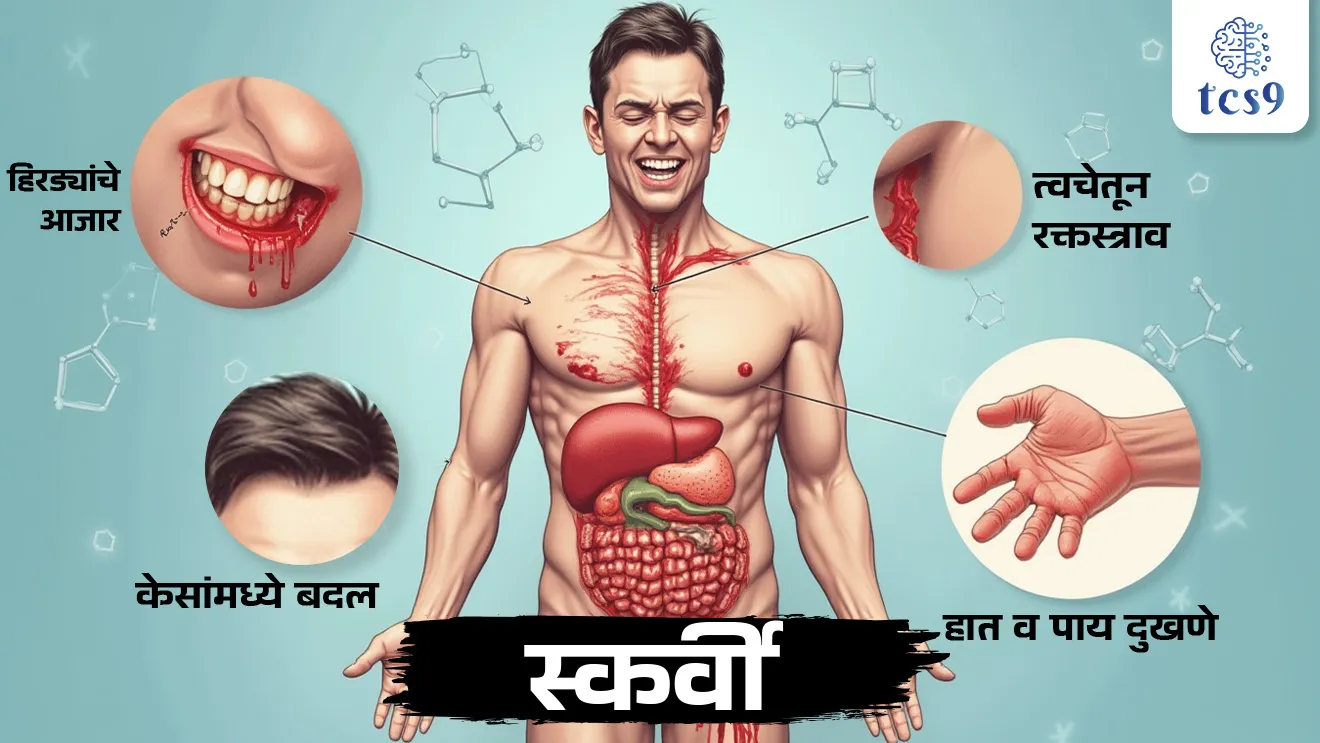 vitamin C | ascorbic acid | What is Scurvy ? | Symptoms Of Scurvy | Importance of Vitamin C | water soluble vitamins | jivansattva | jeevansatva C | Scurvy ajar | Scurvy ajarachi lakshane | Scurvy ajaravar upay | hirdyancha tras |  datancha tras | panyat virghalnare jeevansatva konte | free radicals | antioxidant | vinyan ani tantradnyan notes | science notes | ahar | jeevansatvanvha kamtartemule honare Rog | jeevansatvanvha kamtartemule honare ajar konte? Diet | nutrition | bodybuilding | nutrition supplements | micronutrients for health | most important nutrients for body | tcs chalu ghadamodi | ibps chalu ghadamodi | current Affair |  chalu Ghadamodi Marathi |  current Affair marathi madhe | 2024 cha chalu Ghadamodi |  police Bharti chalu Ghadamodi |  police Bharti prashnasanch |  police Bharti GK prashna |  Mpsc chalu Ghadamodi |  sarkari Naukri |  sarkari job |  sarkari yojna |  Maharashtra cha chalu Ghadamodi |  Maharashtra government yojna |  PSI syllabus | PSI cutoff |  police Bharti syllabus |  police Bharti cutoff |  police Bharti merit |  MPSC Sathi book |  MPSC Sathi pustak |  police Bharti Sathi pustak |  police Bharti magil prashnapatrika |  MPSC previous years question papers |  Mumbai police Bharti |  Mumbai police Bharti Lekhi kadhi ahe |  government GR |  police Bharti result |  MPSC result |  SSC GD merit |  sscgd syllabus |  army Bharti merit |  army Bharti result |  UPSC Marathi |  combine pariksha |  talathi |  talathi syllabus |  talathi cutoff |  talathi book list |  talathi result |  talathi merit |  talathi jaga kiti ahe |  saralseva exam |  saralseva pariksha |  saralseva result |  zilha parishad Bharti |  zilha parishad prashnapstrika | dinvishesh | Chalu Ghadamodi Marathi madhun | current Affair marathi madhe