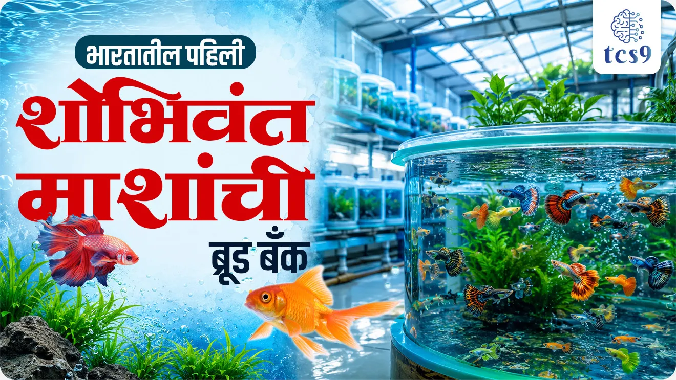 India’s First Ornamental Fish Brood Bank, Bhartatil pajili shobhivant mase brood bank, Ministry of Fisheries, Animal Husbandry & Dairying, matsyavyavsay, Union Fisheries Secretary  visits ornamental fish brood bank and interacted with Progressive Fish Farmers under Pradhan Mantri Matsya Sampada Yojna (PMMSY) at Maharashtra, world current affair, jagtik ghadamodi, world news, Chalu Ghadamodi 2025, Chalu Ghadamodi Marathi, Chalu Ghadamodi PDF Download, Chalu Ghadamodi Test Series, Chalu Ghadamodi Prashnottare, Mahatvachya Chalu Ghadamodi, Chalu Ghadamodi Sarav Prashna, Darrojchya Chalu Ghadamodi, Chalu Ghadamodi Marathi Masik, Talathi Chalu Ghadamodi 2025, Talathi Bharti Chalu Ghadamodi, Talathi Spardha Pariksha Chalu Ghadamodi, RRB Group D Chalu Ghadamodi Marathi, Railway Bharti Chalu Ghadamodi, RRB Sarav Prashna Chalu Ghadamodi, Maharashtra Police Bharti Chalu Ghadamodi, Police Bharti Chalu Ghadamodi Prashnottare, Maharashtra Police Chalu Ghadamodi 2025, SSC GD Chalu Ghadamodi Marathit, SSC Bharti Chalu Ghadamodi, SSC Prashnsancha Chalu Ghadamodi, Vanrakshak Bharti Chalu Ghadamodi, Vanrakshak Pariksha Chalu Ghadamodi, Vanrakshak Prashnapatrika Chalu Ghadamodi, Agniveer Bharti Chalu Ghadamodi 2025, Agniveer Spardha Pariksha Chalu Ghadamodi, Agniveer Sarav Prashna Chalu Ghadamodi, tcs chalu ghadamodi, ibps chalu ghadamodi, chalu Ghadamodi Marathi,   current Affair marathi madhe, 2024 cha chalu Ghadamodi,   police Bharti chalu Ghadamodi,   police Bharti prashnasanch,   police Bharti GK prashna,   Mpsc chalu Ghadamodi,   sarkari Naukri,   sarkari job,   sarkari yojna,   Maharashtra cha chalu Ghadamodi,   Maharashtra government yojna,   PSI syllabus, PSI cutoff,   police Bharti syllabus,   police Bharti cutoff,   police Bharti merit,   MPSC Sathi book,   MPSC Sathi pustak,   police Bharti Sathi pustak,   police Bharti magil prashnapatrika,   MPSC previous years question papers,   Mumbai police Bharti,   Mumbai police Bharti Lekhi kadhi ahe,   government GR,   police Bharti result,   MPSC result,   SSC GD merit,   sscgd syllabus,   army Bharti merit,   army Bharti result,   UPSC Marathi,   combine pariksha,   talathi,   talathi syllabus,   talathi cutoff,   talathi book list,   talathi result,   talathi merit, tcs mock test, tcs pattern, ibps pattern, tcs pyq, tcs sarav paper, tcs talathi paper, tcs pattern notes, tcs prashnasanch, tcs gk gs, tcs maths, tcs talathi,  talathi jaga kiti ahe,   saralseva exam,   saralseva pariksha,   saralseva result,   zilha parishad Bharti,   zilha parishad prashnapstrika, dinvishesh, Chalu Ghadamodi Marathi madhun, current Affair marathi madhe, headline-news, maharashtra-news, jhattpatt-batmya, pib, marathi batmya, government new channel, Pib, akashvani, the Hindu, Indian express, Loksatta, Lokmat, Dainik Bhaskar, sansad news, editorial, sampadkiya, vishleshan, Loksabha news, rajyasabha news, SSC GD notes, sscgd question papers, sscgd exam answer, results, SSC GD admit card, sscgd ground, exam centre, mpsc main answer writing, maharashtra police recruitment 2025, maharashtra police exam updates, maharashtra police bharti latest news, maharashtra police exam calendar 2025, maharashtra police exam syllabus pdf download, maharashtra police bharti exam pattern 2025, maharashtra police constable syllabus, physical test details maharashtra police, maharashtra police bharti admit card 2025, maharashtra police hall ticket download, maharashtra police exam admit card date, maharashtra police study material pdf, maharashtra police exam preparation tips, maharashtra police mock tests free, best books for maharashtra police exam, maharashtra police bharti previous year papers pdf, maharashtra police constable sample papers, maharashtra police si model question papers, maharashtra police eligibility criteria 2025, age limit for maharashtra police bharti, educational qualification maharashtra police, maharashtra police result 2025, maharashtra police merit list, maharashtra police exam cutoff marks, maharashtra police online application 2025, maharashtra police physical test details, document verification for maharashtra police bharti, maharashtra police recruitment 2024, maharashtra police exam calendar 2024, maharashtra police bharti exam pattern 2024, maharashtra police bharti admit card 2024, maharashtra police eligibility criteria 2024, maharashtra police result 2024, maharashtra police online application 2024, RRB Group D, Railway Group D, Railway Recruitment Board Group D, Railway Group D Exam, Railway Group Notification, Railway Group D Vacancy, Railway Group D Syllabus, Railway Group D Eligibility, Railway Group D Application, Railway Group D Admit Card, Railway Group D Result, Railway Group D Cut Off, Railway Group D Salary, Railway Group D Jobs, RRB Group D Study Material, RRB Group D Previous Papers,  RRB Group D Mock Tests, RRB Group D Exam Pattern, current Affair, General Science, GK, GS, General  Awareness, current  affairs marathi , Mathematics, General Intelligence and reasoning, RRB chalu Ghadamodi, RRB Group D marathi notes, samanya vinyan, samanya, nyan, railway notes marathi madhe, railway pagar, pagar ani bhatta, railway bharti notes marathi, railway bhartichi tayari kashi karaychi, railway bharti magil varshanche prashnapatrika, railway bhartipyq, railway bharti prashnasanch, railway bharti test paper, railwetvnokrichi sandhi, railway job, railway bharticha syllabus, railway bharti pattern, railway bharti imp prashn, railway bhartila vicharle janare prashn, competitive exam, spardha parisha, railway bharti online class, railway bharti class, railway bharti chi tayari kashi karaychi,  RRB Group D Syllabus, RRB Group D Previous Papers, RRB Group D Exam Pattern, RRB Group D Eligibility Criteria, RRB Group D Notification, RRB Group D Application, RRB Group D Admit Card, RRB Group D Result, RRB Group D Cut Off, RRB Group D Salary, RRB Group D Jobs, RRB Group D Coaching, RRB Group D Study Material, RRB Group D Mock Tests, Railway Group D Level 1, RRB Group D 2025, RRB Group D Level 1, RRB Group D Posts, RRB Group D Exam Pattern, RRB Group D Exam Date, RRB Group D Online Application, RRB Group D Previous Papers, RRB Group D Preparation Tips, RRB Group D Study Material, RRB Group D Coaching, RRB Group D Mock Tests, How to prepare for RRB Group D exam, RRB Group D exam syllabus 2025, RRB Group D eligibility criteria 2025, RRB Group D application form 2025, RRB Group D admit card download, RRB Group D result date 2025, RRB Group D cut off marks 2025, RRB Group D salary and allowances, Best books for RRB Group D exam, Online coaching for RRB Group D, Railway Group D , RRB Group D, Railway Jobs , Government Jobs, Railway Recruitment, RRB Group D Exam, Railway Group D Vacancy, RRB Group D Notification, Railway Group D Application, RRB Group D Salary, aajcha dinveshesh, suvichaar, jagtik dinveshsh, dinveshsh, gktoday, lucent