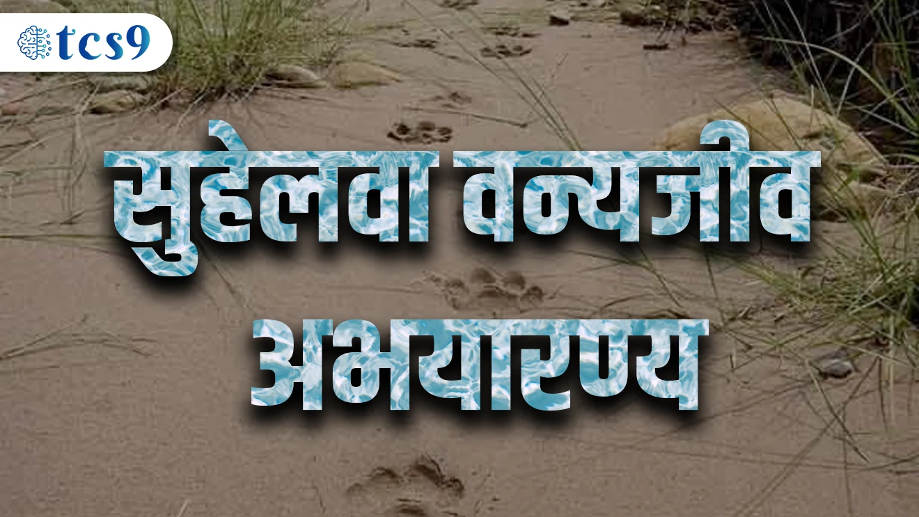 Wildlife Sanctuary Uttar Pradesh