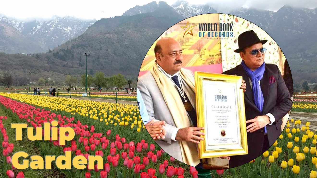 इंदिरा गांधी मेमोरियल ट्युलिप गार्डन (Tulip Garden) वर्ल्ड बुक ऑफ रेकॉर्ड मध्ये दाखल