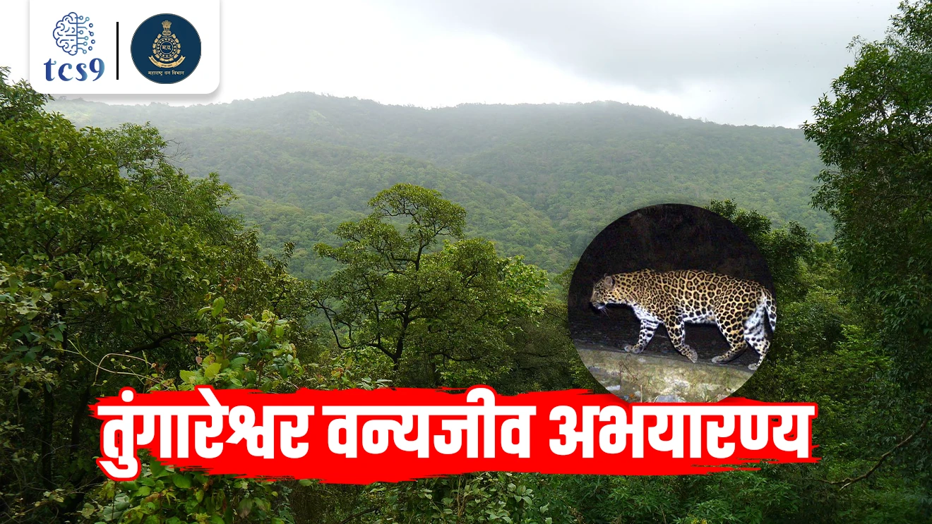 [ Tungareshwar Wildlife Sanctuary, Tungareshwar vanyajiv abhayaranya, Palghar, maharashtratil abhayaranya, environment notes,  paryavaran notes Marathi madhe, Tungareshwar mandir, abhayaranya mhanje Kay, maharashtratil vanyjiv abhayaranya, vanrakshak Bharti notes, forest officer, tcs chalu ghadamodi, ibps chalu ghadamodi, current Affair,  chalu Ghadamodi Marathi,   current Affair marathi madhe, 2024 cha chalu Ghadamodi,   police Bharti chalu Ghadamodi,   police Bharti prashnasanch,   police Bharti GK prashna,   Mpsc chalu Ghadamodi,   sarkari Naukri,   sarkari job,   sarkari yojna,   Maharashtra cha chalu Ghadamodi,   Maharashtra government yojna,   PSI syllabus, PSI cutoff,   police Bharti syllabus,   police Bharti cutoff,   police Bharti merit,   MPSC Sathi book,   MPSC Sathi pustak,   police Bharti Sathi pustak,   police Bharti magil prashnapatrika,   MPSC previous years question papers,   Mumbai police Bharti,   Mumbai police Bharti Lekhi kadhi ahe,   government GR,   police Bharti result,   MPSC result,   SSC GD merit,   sscgd syllabus,   army Bharti merit,   army Bharti result,   UPSC Marathi,   combine pariksha,   talathi,   talathi syllabus,   talathi cutoff,   talathi book list,   talathi result,   talathi merit,   talathi jaga kiti ahe,   saralseva exam,   saralseva pariksha,   saralseva result,   zilha parishad Bharti,   zilha parishad prashnapstrika, dinvishesh, Chalu Ghadamodi Marathi madhun, current Affair marathi madhe, headline-news, maharashtra-news, jhattpatt-batmya ]