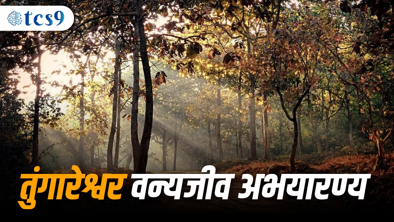 ( Tungareshwar vanyajiv abayaranya | Tungareshwar vanyajiv abayaranya kontya jilyat ahe | Tungareshwar vanyajiv abayaranya kothe ahe | Palghar abhayaranya | sanjay Gandhi rashtriya udyan | Maharashtratil National park | maharashtratil vanyajiv abayaranya | MPSC paryavaran notes | environment )