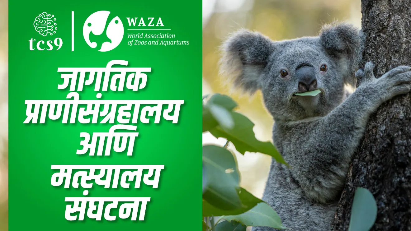 ( World Association of Zoos and Aquariums | jagtik pranisangrahalay | ani matsyalay | animal husbandry | zoo | environment notes | paryavaran notes )( tcs chalu ghadamodi | ibps chalu ghadamodi | current Affair |&nbsp; chalu Ghadamodi Marathi |&nbsp; current Affair marathi madhe | 2024 cha chalu Ghadamodi |&nbsp; police Bharti chalu Ghadamodi |&nbsp; police Bharti prashnasanch |&nbsp; police Bharti GK prashna |&nbsp; Mpsc chalu Ghadamodi |&nbsp; sarkari Naukri |&nbsp; sarkari job |&nbsp; sarkari yojna |&nbsp; Maharashtra cha chalu Ghadamodi |&nbsp; Maharashtra government yojna |&nbsp; PSI syllabus | PSI cutoff |&nbsp; police Bharti syllabus |&nbsp; police Bharti cutoff |&nbsp; police Bharti merit |&nbsp; MPSC Sathi book |&nbsp; MPSC Sathi pustak |&nbsp; police Bharti Sathi pustak |&nbsp; police Bharti magil prashnapatrika |&nbsp; MPSC previous years question papers |&nbsp; Mumbai police Bharti |&nbsp; Mumbai police Bharti Lekhi kadhi ahe |&nbsp; government GR |&nbsp; police Bharti result |&nbsp; MPSC result |&nbsp; SSC GD merit |&nbsp; sscgd syllabus |&nbsp; army Bharti merit |&nbsp; army Bharti result |&nbsp; UPSC Marathi |&nbsp; combine pariksha |&nbsp; talathi |&nbsp; talathi syllabus |&nbsp; talathi cutoff |&nbsp; talathi book list |&nbsp; talathi result |&nbsp; talathi merit |&nbsp; talathi jaga kiti ahe |&nbsp; saralseva exam |&nbsp; saralseva pariksha |&nbsp; saralseva result |&nbsp; zilha parishad Bharti |&nbsp; zilha parishad prashnapstrika )