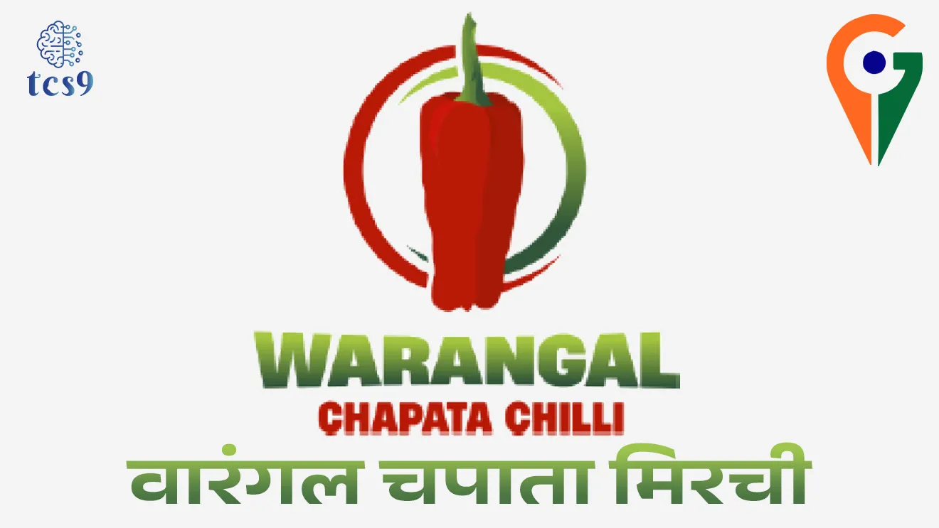 Warangal Chapata Chilli Receives GI Tag, Tomato Chilli, Warangal Chapata Chilli, Geographical Indication tag, GI Tag, Warangal, Hanmakonda, Mulugu, Bhupalpally districts, Thimmampet Chilli Farmer Producer Company Limited, Sri Konda Laxman Telangana Horticultural University, Telangana GI TAG products, food export, food processing industries, GI tag, Geographical Indications Registry, bhaugolik sanketank mhanje Kay, bhaugolik sanketank padarth vastu, , bhaugolik sanketank utpadane, darjiling tea, Geographical Indication of goods (Registration and Protection) Act, How to get GI TAG, GI TAG Kasa milto, GI TAG products list, gi tag yadi, pib, News highlights, news headlines, Chalu Ghadamodi 2025, Chalu Ghadamodi Marathi, Chalu Ghadamodi PDF Download, Chalu Ghadamodi Test Series, Chalu Ghadamodi Prashnottare, Mahatvachya Chalu Ghadamodi, Chalu Ghadamodi Sarav Prashna, Darrojchya Chalu Ghadamodi, Chalu Ghadamodi Marathi Masik, Talathi Chalu Ghadamodi 2025, Talathi Bharti Chalu Ghadamodi, Talathi Spardha Pariksha Chalu Ghadamodi, RRB Group D Chalu Ghadamodi Marathi, Railway Bharti Chalu Ghadamodi, RRB Sarav Prashna Chalu Ghadamodi, Maharashtra Police Bharti Chalu Ghadamodi, Police Bharti Chalu Ghadamodi Prashnottare, Maharashtra Police Chalu Ghadamodi 2025, SSC GD Chalu Ghadamodi Marathit, SSC Bharti Chalu Ghadamodi, SSC Prashnsancha Chalu Ghadamodi, Vanrakshak Bharti Chalu Ghadamodi, Vanrakshak Pariksha Chalu Ghadamodi, Vanrakshak Prashnapatrika Chalu Ghadamodi, Agniveer Bharti Chalu Ghadamodi 2025, Agniveer Spardha Pariksha Chalu Ghadamodi, Agniveer Sarav Prashna Chalu Ghadamodi, tcs chalu ghadamodi, ibps chalu ghadamodi,
chalu Ghadamodi Marathi, current Affair marathi madhe, 2024 cha chalu Ghadamodi, police Bharti chalu Ghadamodi, police Bharti prashnasanch, police Bharti GK prashna, Mpsc chalu Ghadamodi, sarkari Naukri, sarkari job, sarkari yojna, Maharashtra cha chalu Ghadamodi, Maharashtra government yojna, PSI syllabus, PSI cutoff, police Bharti syllabus, police Bharti cutoff, police Bharti merit, MPSC Sathi book, MPSC Sathi pustak, police Bharti Sathi pustak, police Bharti magil prashnapatrika, MPSC previous years question papers, Mumbai police Bharti, Mumbai police Bharti Lekhi kadhi ahe, government GR, police Bharti result, MPSC result, SSC GD merit, sscgd syllabus, army Bharti merit, army Bharti result, UPSC Marathi, combine pariksha, talathi, talathi syllabus, talathi cutoff, talathi book list, talathi result, talathi merit, tcs mock test, tcs pattern, ibps pattern, tcs pyq, tcs sarav paper, tcs talathi paper, tcs pattern notes, tcs prashnasanch, tcs gk gs, tcs maths, tcs talathi, talathi jaga kiti ahe, saralseva exam, saralseva pariksha, saralseva result, zilha parishad Bharti, zilha parishad prashnapstrika, dinvishesh, Chalu Ghadamodi Marathi madhun, current Affair marathi madhe, headline-news, maharashtra-news, jhattpatt-batmya, pib, marathi batmya, government new channel, Pib, akashvani, the Hindu, Indian express, Loksatta, Lokmat, Dainik Bhaskar, sansad news, editorial, sampadkiya, vishleshan, Loksabha news, rajyasabha news, SSC GD notes, sscgd question papers, sscgd exam answer, results, SSC GD admit card, sscgd ground, exam centre, mpsc main answer writing, maharashtra police recruitment 2025, maharashtra police exam updates, maharashtra police bharti latest news, maharashtra police exam calendar 2025, maharashtra police exam syllabus pdf download, maharashtra police bharti exam pattern 2025, maharashtra police constable syllabus, physical test details maharashtra police, maharashtra police bharti admit card 2025, maharashtra police hall ticket download, maharashtra police exam admit card date, maharashtra police study material pdf, maharashtra police exam preparation tips, maharashtra police mock tests free, best books for maharashtra police exam, maharashtra police bharti previous year papers pdf, maharashtra police constable sample papers, maharashtra police si model question papers, maharashtra police eligibility criteria 2025, age limit for maharashtra police bharti, educational qualification maharashtra police, maharashtra police result 2025, maharashtra police merit list, maharashtra police exam cutoff marks, maharashtra police online application 2025, maharashtra police physical test details, document verification for maharashtra police bharti, maharashtra police recruitment 2024, maharashtra police exam calendar 2024, maharashtra police bharti exam pattern 2024, maharashtra police bharti admit card 2024, maharashtra police eligibility criteria 2024, maharashtra police result 2024, maharashtra police online application 2024, RRB Group D, Railway Group D, Railway Recruitment Board Group D, Railway Group D Exam, Railway Group Notification, Railway Group D Vacancy, Railway Group D Syllabus, Railway Group D Eligibility, Railway Group D Application, Railway Group D Admit Card, Railway Group D Result, Railway Group D Cut Off, Railway Group D Salary, Railway Group D Jobs, RRB Group D Study Material, RRB Group D Previous Papers, RRB Group D Mock Tests, RRB Group D Exam Pattern, current Affair, General Science, GK, GS, General Awareness, current affairs marathi , Mathematics, General Intelligence and reasoning, RRB chalu Ghadamodi, RRB Group D marathi notes, samanya vinyan, samanya, nyan, railway notes marathi madhe, railway pagar, pagar ani bhatta, railway bharti notes marathi, railway bhartichi tayari kashi karaychi, railway bharti magil varshanche prashnapatrika, railway bhartipyq, railway bharti prashnasanch, railway bharti test paper, railwetvnokrichi sandhi, railway job, railway bharticha syllabus, railway bharti pattern, railway bharti imp prashn, railway bhartila vicharle janare prashn, competitive exam, spardha parisha, railway bharti online class, railway bharti class, railway bharti chi tayari kashi karaychi, RRB Group D Syllabus, RRB Group D Previous Papers, RRB Group D Exam Pattern, RRB Group D Eligibility Criteria, RRB Group D Notification, RRB Group D Application, RRB Group D Admit Card, RRB Group D Result, RRB Group D Cut Off, RRB Group D Salary, RRB Group D Jobs, RRB Group D Coaching, RRB Group D Study Material, RRB Group D Mock Tests, Railway Group D Level 1, RRB Group D 2025, RRB Group D Level 1, RRB Group D Posts, RRB Group D Exam Pattern, RRB Group D Exam Date, RRB Group D Online Application, RRB Group D Previous Papers, RRB Group D Preparation Tips, RRB Group D Study Material, RRB Group D Coaching, RRB Group D Mock Tests, How to prepare for RRB Group D exam, RRB Group D exam syllabus 2025, RRB Group D eligibility criteria 2025, RRB Group D application form 2025, RRB Group D admit card download, RRB Group D result date 2025, RRB Group D cut off marks 2025, RRB Group D salary and allowances, Best books for RRB Group D exam, Online coaching for RRB Group D, Railway Group D , RRB Group D, Railway Jobs , Government Jobs, Railway Recruitment, RRB Group D Exam, Railway Group D Vacancy, RRB Group D Notification, Railway Group D Application, RRB Group D Salary, aajcha dinveshesh, suvichaar, jagtik dinveshsh, dinveshsh
