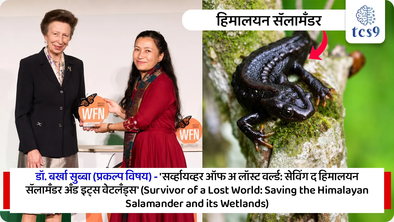 व्हिटली पुरस्कार  जिंकणाऱ्या 2 भारतीय महिला कोण ?
Whitley Award


📚 Subject : GS - पर्यावरण, पुरस्कार

सरळसेवा, तलाठी, वनरक्षक, पोलीस भरती, अग्निवीर , रेल्वे भरती, SSC GD, MPSC, UPSC परीक्षेसाठी विचारलेले / संभाव्य महत्त्वपूर्ण  प्रश्न

प्रश्न) डॉ. बर्खा सुब्बा यांना पर्यावरण संवर्धन क्षेत्रातील प्रतिष्ठेचा 'व्हिटली पुरस्कार 2026'  हा खालीलपैकी कोणत्या दुर्मिळ प्राण्याच्या संरक्षणासाठी देण्यात आला ?

1. ग्रेटर अ‍ॅडजुटंट स्टॉर्क
2. हिमालयीन सॅलामँडर
3. इंडियन स्किमर पक्षी
4. रेड पांडा
 
उत्तर : हिमालयीन सॅलामँडर

📰 बातमी काय ? 
 वैश्विक गौरव (2026): पर्यावरण आणि वन्यजीव संवर्धन क्षेत्रातील अत्यंत प्रतिष्ठित मानला जाणारा 'व्हिटली पुरस्कार 2026' (Whitley Awards) नुकताच जाहीर झाला आहे.
भारतीय महिलांची कामगिरी: या वर्षी जगभरातून निवडण्यात आलेल्या 6 प्रमुख विजेत्यांमध्ये भारतातील दोन महिला संवर्धनशास्त्रज्ञांचा (Conservationists) समावेश आहे. 
परवीन शेख आणि डॉ. बर्खा सुब्बा अशी या दोन विजेत्यांची नावे असून, लंडन येथे युनायटेड किंगडमच्या (UK) राजकुमारी प्रिन्सेस अ‍ॅन (Princess Anne) यांच्या हस्ते त्यांना हा पुरस्कार प्रदान करण्यात आला.

🧐 व्हिटली पुरस्कार  (Whitley Award)
🌳 'ग्रीन ऑस्कर'  -  हा पुरस्कार पर्यावरण संवर्धन क्षेत्रातील कामगिरीसाठी दिला जातो. याला जागतिक स्तरावर 'ग्रीन ऑस्कर' (Green Oscars) म्हणून ओळखले जाते.
 🏛️ स्थापना व संस्था - या पुरस्काराची स्थापना यूके (UK) मधील 'व्हिटली फंड फॉर नेचर' (Whitley Fund for Nature - WFN) या धर्मादाय संस्थेद्वारे करण्यात आली आहे.
 🎯 उद्देश - आशिया, आफ्रिका आणि लॅटिन अमेरिकेसारख्या विकसनशील देशांमधील तळागाळातील (Grassroots) पर्यावरण आणि वन्यजीव संवर्धकांनो आर्थिक बळ देणे.
 🏆 पुरस्काराचे स्वरूप - या पुरस्कारांतर्गत विजेत्यांना त्यांच्या प्रकल्पाचा विस्तार करण्यासाठी 1 वर्षासाठी 50,000 पाउंड्स (£50,000) चा निधी, विशेष प्रशिक्षण आणि आंतरराष्ट्रीय ओळख दिली जाते.
 
🏆  'व्हिटली गोल्ड अवॉर्ड 2026' कोणाला देण्यात आला ?
 या वर्षीचा मुख्य 'व्हिटली गोल्ड अवॉर्ड 2026' हा इंडोनेशियाच्या फारविझा फरहान (Farwiza Farhan) यांना देण्यात आला आहे.

🇮🇳  भारतीय विजेते आणि त्यांचे महत्त्वपूर्ण योगदान
1) परवीन शेख (Parveen Shaikh) - 
प्रकल्प विषय - 'स्किमर गार्डियन्स: प्रोटेक्टिंग रिव्हरिन बर्ड्स अँड देअर हॅबिटॅट' (Skimmer guardians: protecting riverine birds and their habitats).
 योगदान - परवीन शेख या अत्यंत दुर्मिळ आणि संकटग्रस्त असलेल्या 'इंडियन स्किमर' (Indian Skimmer) या नदीकाठच्या पक्ष्याच्या संरक्षणासाठी काम करत आहेत. जगभरातील एकूण 'इंडियन स्किमर' पैकी 90% पेक्षा जास्त लोकसंख्या केवळ भारतात आढळते.
 कामगिरी - त्यांनी चंबळ नदी खोऱ्यात स्थानिक लोकांना एकत्र करून 'गार्डियन्स ऑफ द स्किमर' ही मोहीम सुरू केली.  त्यांच्या प्रयत्नांमुळे चंबळमधील या पक्ष्यांची संख्या 2017 मधील 400 वरून 2025 पर्यंत जवळपास 1,000 झाली आहे.

2) डॉ. बर्खा सुब्बा (Dr. Barkha Subba)
 प्रकल्प विषय - 'सर्व्हायव्हर ऑफ अ लॉस्ट वर्ल्ड: सेविंग द हिमालयन सॅलामँडर अँड इट्स वेटलँड्स' (Survivor of a lost world: saving the Himalayan salamander and its wetlands).
 योगदान - डॉ. बर्खा सुब्बा या फेडरेशन ऑफ सोसायटीज फॉर एन्व्हायर्नमेंटल प्रोटेक्शन (FSEP) या संस्थेच्या माध्यमातून दार्जिलिंग टेकड्यांमध्ये (पश्चिम बंगाल) अत्यंत दुर्मिळ आणि वैशिष्ट्यपूर्ण अशा 'हिमालयीन सॅलामँडर' (Himalayan Salamander) या उभयचर (Amphibian) प्राण्याच्या आणि त्याच्या पाणथळ जागांच्या (Wetlands) संरक्षणासाठी काम करत आहेत.
कामगिरी - दार्जिलिंग परिसरातील पाणथळ जागांचे होणारे प्रदूषण आणि मानवी हस्तक्षेप रोखण्यासाठी त्यांनी स्थानिक चहाच्या बागांचे व्यवस्थापक आणि नागरिकांना एकत्र करून संवर्धनाचे मॉडेल उभे केले.
 

🔑 परीक्षेच्या दृष्टीने IMP रिव्हिजन पॉईंट्स : व्हिटली पुरस्कार  

पुरस्काराचे टोपणनाव → 'ग्रीन ऑस्कर' (Green Oscars)
 पुरस्कार देणारी संस्था → व्हिटली फंड फॉर नेचर (WFN), युनायटेड किंगडम.
 पुरस्कार निधी रक्कम → 50,000 पाउंड्स (£50,000).
 भारतीय विजेते 2026 → परवीन शेख आणि डॉ. बर्खा सुब्बा.
 परवीन शेख यांचे कार्यक्षेत्र → इंडियन स्किमर पक्षी संवर्धन
 डॉ. बर्खा सुब्बा यांचे कार्यक्षेत्र → हिमालयीन सॅलामँडर आणि पाणथळ जागा संवर्धन
 2026 चा व्हिटली गोल्ड अवॉर्ड विजेता → फारविझा फरहान (इंडोनेशिया)





source news
https://whitleyaward.org/winners-hub/


Parveen Shaikh Wins 2026 Whitley Award, Barkha Subba Wins 2026 Whitley Award, Himalayan salamander, conservation of the Indian Skimmer,  Whitley Fund for Nature , Green Oscars, Puraskar konala milala, Environment awards, environment notes, vanrakshak bharti, forest guard, paryavaran notes, 




प्रश्न) डॉ. बर्खा सुब्बा यांना पर्यावरण संवर्धन क्षेत्रातील प्रतिष्ठेचा 'व्हिटली पुरस्कार 2026'  हा खालीलपैकी कोणत्या दुर्मिळ प्राण्याच्या संरक्षणासाठी देण्यात आला ?

1. ग्रेटर अ‍ॅडजुटंट स्टॉर्क
2. हिमालयीन सॅलामँडर
3. इंडियन स्किमर पक्षी
4. रेड पांडा
 
उत्तर : हिमालयीन सॅलामँडर
 
डॉ. बर्खा सुब्बा यांनी दार्जिलिंगच्या पर्वतीय प्रदेशात आढळणाऱ्या दुर्मिळ आणि नष्ट होत चाललेल्या 'हिमालयीन सॅलामँडर' (Himalayan Salamander) आणि तिथल्या पाणथळ जागांच्या संरक्षणासाठी स्थानिक समुदायाला एकत्र करून मोठे काम उभे केले आहे, म्हणूनच त्यांना 2026 चा व्हिटली पुरस्कार देण्यात आला आहे.




प्रश्न) नुकत्याच जाहीर झालेल्या आंतरराष्ट्रीय 'व्हिटली पुरस्कार 2026' (Whitley Awards) बाबत खालील विधानांचा विचार करा :
अ) या पुरस्काराला जागतिक स्तरावर 'ग्रीन ऑस्कर' म्हणून ओळखले जाते आणि हा युनायटेड किंगडमच्या संस्थेकडून दिला जातो.
ब) वर्ष 2026 च्या पुरस्कारांमध्ये भारताच्या परवीन शेख यांना 'हिमालयीन सॅलामँडर' या प्राण्याच्या संरक्षणासाठी हा पुरस्कार मिळाला आहे.
क) डॉ. बर्खा सुब्बा यांना दार्जिलिंग परिसरातील 'इंडियन स्किमर' या पक्ष्याच्या आणि त्याच्या नदी परिसंस्थेच्या संवर्धनासाठी हा सन्मान मिळाला.

वरीलपैकी कोणते/ती विधान/विधाने बरोबर आहेत ?
1. फक्त (अ)
2. फक्त (ब) आणि (क)
3. फक्त (अ) आणि (क)
4. वरील सर्व विधाने बरोबर आहेत.
 
 उत्तर : फक्त (अ)
 
❌ विधाने (ब) आणि (क) चुकीची आहेत कारण - विधानांमध्ये नावांची आणि संबंधित प्राण्यांची/ पपक्ष्यांची आदलाबदल केली आहे. 

1) परवीन शेख (Parveen Shaikh) - 
 योगदान - परवीन शेख या अत्यंत दुर्मिळ आणि संकटग्रस्त असलेल्या 'इंडियन स्किमर' (Indian Skimmer) या नदीकाठच्या पक्ष्याच्या संरक्षणासाठी काम करत आहेत. 
जगभरातील एकूण 'इंडियन स्किमर' पैकी 90% पेक्षा जास्त लोकसंख्या केवळ भारतात आढळते.

2) डॉ. बर्खा सुब्बा (Dr. Barkha Subba)
 डॉ. बर्खा सुब्बा या फेडरेशन ऑफ सोसायटीज फॉर एन्व्हायर्नमेंटल प्रोटेक्शन (FSEP) या संस्थेच्या माध्यमातून दार्जिलिंग टेकड्यांमध्ये (पश्चिम बंगाल) अत्यंत दुर्मिळ आणि वैशिष्ट्यपूर्ण अशा 'हिमालयीन सॅलामँडर' (Himalayan Salamander) या उभयचर (Amphibian) प्राण्याच्या आणि त्याच्या पाणथळ जागांच्या (Wetlands) संरक्षणासाठी काम करत आहेत.
