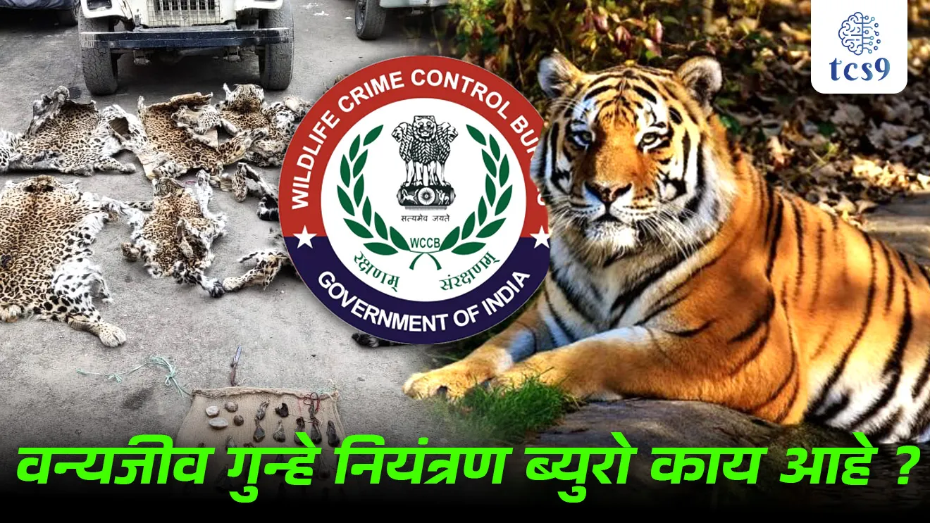 [ Wildlife Crime Control Bureau, vanyajiv gunhe niyantran Bureau, paryavaran notes marathi madhe, environment, MPSC paryavaran notes, vanrakshak Bharti notes, vanyajiv gunhe niyantran Bureau Che mukhyalay, headquarters, tcs chalu ghadamodi, ibps chalu ghadamodi, current Affair,  chalu Ghadamodi Marathi,   current Affair marathi madhe, 2024 cha chalu Ghadamodi,   police Bharti chalu Ghadamodi,   police Bharti prashnasanch,   police Bharti GK prashna,   Mpsc chalu Ghadamodi,   sarkari Naukri,   sarkari job,   sarkari yojna,   Maharashtra cha chalu Ghadamodi,   Maharashtra government yojna,   PSI syllabus, PSI cutoff,   police Bharti syllabus,   police Bharti cutoff,   police Bharti merit,   MPSC Sathi book,   MPSC Sathi pustak,   police Bharti Sathi pustak,   police Bharti magil prashnapatrika,   MPSC previous years question papers,   Mumbai police Bharti,   Mumbai police Bharti Lekhi kadhi ahe,   government GR,   police Bharti result,   MPSC result,   SSC GD merit,   sscgd syllabus,   army Bharti merit,   army Bharti result,   UPSC Marathi,   combine pariksha,   talathi,   talathi syllabus,   talathi cutoff,   talathi book list,   talathi result,   talathi merit,   talathi jaga kiti ahe,   saralseva exam,   saralseva pariksha,   saralseva result,   zilha parishad Bharti,   zilha parishad prashnapstrika, dinvishesh, Chalu Ghadamodi Marathi madhun, current Affair marathi madhe ]
