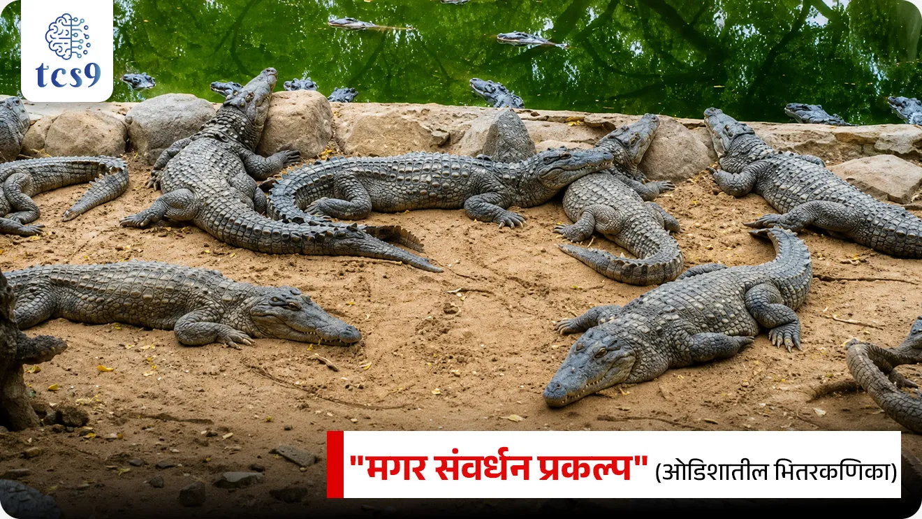 जागतिक मगर दिन
World Crocodile Day


📚 Subject : GS - दिनविशेष, पर्यावरण

सरळसेवा, तलाठी, वनरक्षक, पोलीस भरती, अग्निवीर , रेल्वे भरती, SSC GD, MPSC, UPSC परीक्षेसाठी विचारलेले / संभाव्य महत्त्वपूर्ण  प्रश्न


प्रश्न) दरवर्षी जागतिक मगर दिन केव्हा साजरी केला जातो ?

5 जून
9 जून
17 जून
21 जून

उत्तर : 17 जून

📰 बातमी काय ?
दरवर्षी 17 जून रोजी जागतिक मगर दिन साजरा केला जातो.
भारताने 1975 मध्ये मगर संवर्धन कार्यक्रम सुरू केला आणि 2026 मध्ये या यशस्वी उपक्रमाला 51 वर्षे पूर्ण होत आहे.
भारतात, "मगर संवर्धन प्रकल्प" (Crocodile Conservation Project) 1975 मध्ये सुरू करण्यात आला, ज्यामुळे ओडिशातील भितरकणिका सारख्या भागात त्यांच्या संख्येत मोठी वाढ झाली आहे.

🐊🐊 जागतिक मगर दिन का साजरी करतात ? 
मगर ही पाणी आणि जमिनीचे पर्यावरणीय संतुलन राखण्यास मदत करते.
ते अनेक नद्या आणि दलदलीच्या प्रदेशांच्या परिसंस्थेतील सर्वोच्च भक्षक आहेत.
जर मगरी नामशेष झाल्या तर अन्नसाखळीवर वाईट परिणाम होऊ शकतो.
मगरींची घटती संख्या, शिकार आणि त्यांच्या अधिवासाचा नाश याविरुद्ध जागतिक जागरूकता पसरविण्यासाठी
मगरी आणि त्यांच्यासारख्या इतर सरपटणाऱ्या प्राण्यांचे संरक्षण, संवर्धन करण्यासाठी दरवर्षी 17 जून रोजी जागतिक मगर दिन साजरा केला जातो.

🐊 भारतातील मगरीच्या 3 प्रमुख प्रजाती कोणत्या ? 

घरियाल (Gavialis gangeticus)
खाऱ्या पाण्यातील मगर (Crocodylus porosus)
दलदलीच्या प्रदेशातील मगर (Crocodylus palustris)
ओडिशा हे भारतातील एकमेव राज्य आहे जिथे मगरीच्या या तीनही प्रजाती आढळतात.

🤔 जागतिक मगर दिन 2026 ची संकल्पना (थीम) कोणती ?
"Legacy in Every Scale" ही जागतिक मगर दिन 2026 ची अधिकृत संकल्पना (Theme) आहे. 
मगरींचे पृथ्वीवरील 20 कोटी वर्षांपेक्षा जास्त काळाचे अस्तित्व आणि त्यांचा उत्क्रांतीचा वारसा हायलाइट करण्यासाठी ही थीम निवडण्यात आली आहे.


🔑 परीक्षेच्या दृष्टीने IMP रिव्हिजन पॉईंट्स : World Crocodile Day
जागतिक मगर दिन → 17 जून
2026 संकल्पना (Theme) → "Legacy in Every Scale"
भारताचा मगर संवर्धन प्रकल्प → 1975 मध्ये सुरू
मगरींच्या प्रजातींचे वर्गीकरण → भारतात प्रामुख्याने 3 प्रजाती आढळतात: 
घरियाल (Gavialis gangeticus)
खाऱ्या पाण्यातील मगर (Crocodylus porosus)
दलदलीच्या प्रदेशातील मगर (Crocodylus palustris)
ओडिशा हे भारतातील एकमेव राज्य आहे जिथे मगरीच्या या तीनही प्रजाती आढळतात.



Jagtik magar din, World Crocodile Day, What is the Crocodile Conservation Project?, Wild Life (Protection) Act, 1972, Bhitarkanika National Park, Gavialis gangeticus, Crocodylus porosus, Crocodylus palustris, Salt Water Crocodiles, Ghariyal, marsh Crocodiles, magar kiti prakarchya astat, Environment notes marathi madhe, paryavaran notes, UPSC environment notes pdf, MPSC paryavaran notes pdf, pib, News highlights, news headlines, today's news, Dinvishesh,  




प्रश्न) 'जागतिक मगर दिन' (World Crocodile Day) आणि भारतातील मगर संवर्धनाबाबत खालील विधानांचा विचार करा :
अ) मगरींच्या संवर्धनासाठी जगभरात दरवर्षी 17 June रोजी 'जागतिक मगर दिन' साजरा केला जातो.
ब) भारताने 1975 मध्ये 'मगर संवर्धन प्रकल्प' सुरू केला असून, ओडिशातील 'भितरकणिका' हे खाऱ्या पाण्यातील मगरींच्या संवर्धनाचे प्रमुख केंद्र आहे.
वरीलपैकी कोणते/कोणती विधान/विधाने बरोबर आहेत ?
१) फक्त अ
२) फक्त ब
३) अ आणि ब दोन्ही विधाने बरोबर आहेत
४) अ आणि ब दोन्ही विधाने चूकीची आहेत

उत्तर : अ आणि ब दोन्ही

✍️ अधिक माहिती -
मगर ही पाणी आणि जमिनीचे पर्यावरणीय संतुलन राखण्यास मदत करते.
ते अनेक नद्या आणि दलदलीच्या प्रदेशांच्या परिसंस्थेतील सर्वोच्च भक्षक आहेत.
जर मगरी नामशेष झाल्या तर अन्नसाखळीवर वाईट परिणाम होऊ शकतो.
 मगरींच्या संरक्षणासाठी दरवर्षी 17 जून हा दिवस 'जागतिक मगर दिन' म्हणून साजरा केला जातो.
भारत सरकारने 1975 मध्ये मगर संवर्धन प्रकल्प सुरू केला आणि ओडिशातील 'भितरकणिका राष्ट्रीय उद्यान' हे विशेषतः खाऱ्या पाण्यातील मगरींच्या यशस्वी संवर्धनासाठी प्रसिद्ध आहे