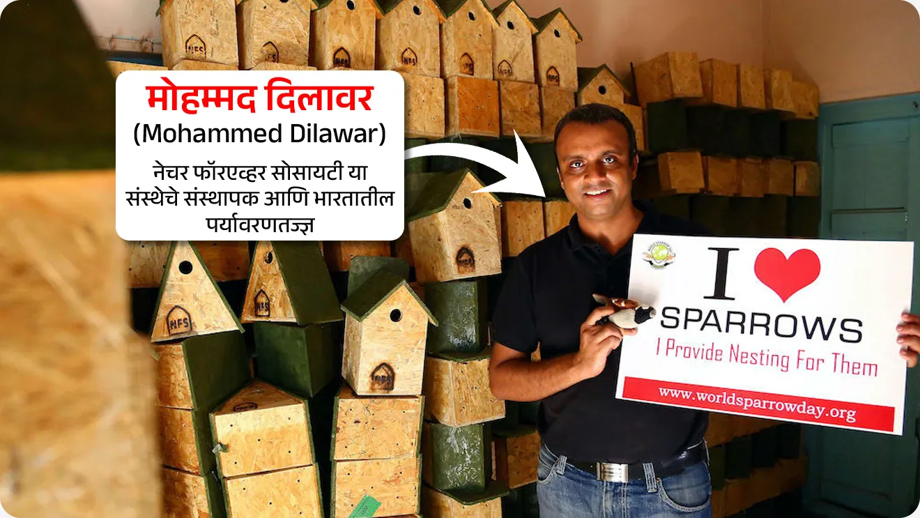 जागतिक चिमणी दिन
World Sparrow Day
📚 Subject : GS - दिनविशेष, पर्यावरण
सरळसेवा, तलाठी, वनरक्षक, पोलीस भरती, अग्निवीर , रेल्वे भरती, SSC GD, MPSC, UPSC परीक्षेसाठी विचारलेले / संभाव्य महत्त्वपूर्ण प्रश्न
प्रश्न) जागतिक चिमणी दिन कधी साजरा केला जातो ?
(महाराष्ट्र पोलीस, पुणे पोलीस भरती 2021)
1. 21 मार्च
2. 20 मार्च
3. 3 मार्च
4. 1 मार्च
उत्तर : 20 मार्च
📰 बातमी काय ?
• दरवर्षी जागतिक चिमणी दिन 20 मार्च रोजी साजरी केला जातो.
• चिमणीला, हिंदी मध्ये “गोरैया” , तमिळ मध्ये “कुरुवी” आणि उर्दू त “चिरिया” अशा नावानेही ओळखले जाते.
🐣 जागतिक चिमणी दिन का साजरी करतात ?
• चिमणी निसर्गाच्या अन्नसाखळीतला एक महत्त्वाचा घटक आहे.
• वाढतं शहरीकरण, प्रदूषण यांचा परिणाम चिमण्यांच्या संख्येवर होत असून हा पर्यावरणाच्या दृष्टीने धोका आहे.
• चिमण्यांच्या घटत्या संख्येबद्दल जागरूकता निर्माण करणे आणि त्यांचे संरक्षण करणे.
• त्याचप्रमाणे चिमण्यांचे संवर्धन करण्याच्या उद्देशाने दरवर्षी 20 मार्च हा दिवस जागतिक चिमणी दिन म्हणून जगभरात साजरा केला जातो.
🧐 पहिला जागतिक चिमणी दिन केव्हा साजरी करण्यात आला ?
• पहिला जागतिक चिमणी दिन 20 मार्च 2010 रोजी साजरी करण्यात आला.
• भारताच्या, नेचर फॉरएव्हर सोसायटी आणि फ्रान्सच्या इको-सिस अॅक्शन फाउंडेशनच्या पुढाकाराने 20 मार्च हा दिवस जागतिक चिमणी दिन म्हणून अधिकृतपणे साजरा होऊ लागला.
• नेचर फॉरएव्हर सोसायटी या संस्थेची स्थापना भारतातील पर्यावरणतज्ज्ञ मोहम्मद दिलावर यांनी केली.
• मोहम्मद दिलावर यांच्या कार्याची दखल घेऊन टाइम मासिकाने 2008 मध्ये त्यांना “हिरोज ऑफ द एन्व्हायर्नमेंट” सन्मान देऊन त्यांचा गौरव केला.
❤️ 2026 या वर्षी जागतिक चिमणी दिनाची संकल्पना (थीम) कोणती ?
• "आय लव्ह स्पॅरोज" (I Love Sparrows) " ही 2026 या वर्षाची जागतिक चिमणी दिनाची संकल्पना आहे.
• या संकल्पनेचा मुख्य उद्देश चिमण्यांशी असलेले मानवी नाते अधिक दृढ करणे आणि त्यांच्या संरक्षणासाठी जनसहभाग वाढवणे हा आहे.
🐣 चिमण्यांचे पर्यावरणीय महत्त्व :
• पर्यावरणीय संतुलन राखण्यात चिमण्या महत्त्वाची भूमिका बजावतात.
• जैवविविधता संवर्धन : चिमणी शहरी आणि ग्रामीण दोन्ही भागात निरोगी परिसंस्थेचे सूचक (Indicators of a healthy ecosystem) म्हणून काम करते.
• नैसर्गिक कीटक नियंत्रण : ते कीटक खातात, ज्यामुळे कीटकांवर नियंत्रण ठेवण्यास मदत होते.
• परागण आणि बीजप्रसार : त्यांच्या कृतीमुळे परागण आणि बीजप्रसार होऊन विविध वनस्पतींची वाढ होण्यास मदत होते.
🧐 चिमणी कोणत्या राज्याचा/ केंद्र शासित प्रदेशाचा राज्यपक्षी आहे ?
• चिमणी बिहार आणि दिल्लीचा राज्य पक्षी आहे.
🔑 परीक्षेच्या दृष्टीने IMP रिव्हिजन पॉईंट्स : World Sparrow Day
• जागतिक चिमणी दिन - 20 मार्च
• पहिल्यांदा साजरा – 20 मार्च 2010
• पुढाकार – नेचर फॉरएव्हर सोसायटी (भारत)
• नेचर फॉरएव्हर सोसायटी संस्थापक – मोहम्मद दिलावर (नाशिक)
• चिमणी राज्य पक्षी – बिहार व दिल्ली
• 2026 थीम – “आय लव्ह स्पॅरोज” (I Love Sparrows)