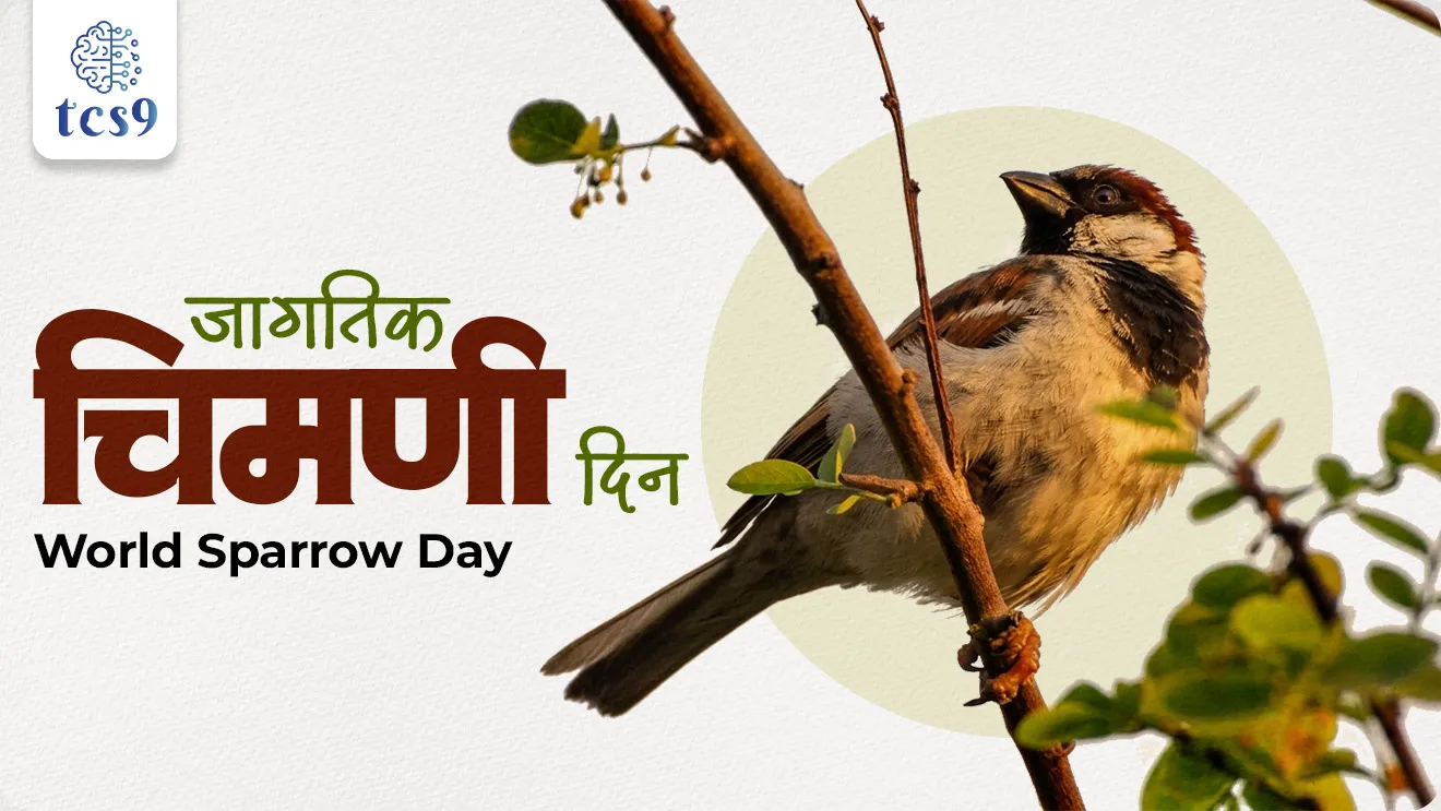 World Sparrow Day, Jagtik chimni divas, Why is World Sparrow Day celebrated?, Pib news, I Love Sparrows” and “We Love Sparrows, Jagtik chimni divasachi sankalpana, A Tribute to Nature's Tiny Messengers, House Sparrow, Passer domesticus, state bird of, state bird of Bihar, state bird of Delhi, rajyapakshi, rajyacha rajyapakshi konta, Dinvishesh, paryavaran, vanrakshak, Indicators of a healthy ecosystem, I Love Sparrows, environment notes vanrakshak bharti forest guard, paryavaran notes, world current affair, jagtik ghadamodi, world news, Chalu Ghadamodi 2025, Chalu Ghadamodi Marathi, Chalu Ghadamodi PDF Download, Chalu Ghadamodi Test Series, Chalu Ghadamodi Prashnottare, Mahatvachya Chalu Ghadamodi, Chalu Ghadamodi Sarav Prashna, Darrojchya Chalu Ghadamodi, Chalu Ghadamodi Marathi Masik, Talathi Chalu Ghadamodi 2025, Talathi Bharti Chalu Ghadamodi, Talathi Spardha Pariksha Chalu Ghadamodi, RRB Group D Chalu Ghadamodi Marathi, Railway Bharti Chalu Ghadamodi, RRB Sarav Prashna Chalu Ghadamodi, Maharashtra Police Bharti Chalu Ghadamodi, Police Bharti Chalu Ghadamodi Prashnottare, Maharashtra Police Chalu Ghadamodi 2025, SSC GD Chalu Ghadamodi Marathit, SSC Bharti Chalu Ghadamodi, SSC Prashnsancha Chalu Ghadamodi, Vanrakshak Bharti Chalu Ghadamodi, Vanrakshak Pariksha Chalu Ghadamodi, Vanrakshak Prashnapatrika Chalu Ghadamodi, Agniveer Bharti Chalu Ghadamodi 2025, Agniveer Spardha Pariksha Chalu Ghadamodi, Agniveer Sarav Prashna Chalu Ghadamodi, tcs chalu ghadamodi, ibps chalu ghadamodi,
chalu Ghadamodi Marathi, current Affair marathi madhe, 2024 cha chalu Ghadamodi, police Bharti chalu Ghadamodi, police Bharti prashnasanch, police Bharti GK prashna, Mpsc chalu Ghadamodi, sarkari Naukri, sarkari job, sarkari yojna, Maharashtra cha chalu Ghadamodi, Maharashtra government yojna, PSI syllabus, PSI cutoff, police Bharti syllabus, police Bharti cutoff, police Bharti merit, MPSC Sathi book, MPSC Sathi pustak, police Bharti Sathi pustak, police Bharti magil prashnapatrika, MPSC previous years question papers, Mumbai police Bharti, Mumbai police Bharti Lekhi kadhi ahe, government GR, police Bharti result, MPSC result, SSC GD merit, sscgd syllabus, army Bharti merit, army Bharti result, UPSC Marathi, combine pariksha, talathi, talathi syllabus, talathi cutoff, talathi book list, talathi result, talathi merit, tcs mock test, tcs pattern, ibps pattern, tcs pyq, tcs sarav paper, tcs talathi paper, tcs pattern notes, tcs prashnasanch, tcs gk gs, tcs maths, tcs talathi, talathi jaga kiti ahe, saralseva exam, saralseva pariksha, saralseva result, zilha parishad Bharti, zilha parishad prashnapstrika, dinvishesh, Chalu Ghadamodi Marathi madhun, current Affair marathi madhe, headline-news, maharashtra-news, jhattpatt-batmya, pib, marathi batmya, government new channel, Pib, akashvani, the Hindu, Indian express, Loksatta, Lokmat, Dainik Bhaskar, sansad news, editorial, sampadkiya, vishleshan, Loksabha news, rajyasabha news, SSC GD notes, sscgd question papers, sscgd exam answer, results, SSC GD admit card, sscgd ground, exam centre, mpsc main answer writing, maharashtra police recruitment 2025, maharashtra police exam updates, maharashtra police bharti latest news, maharashtra police exam calendar 2025, maharashtra police exam syllabus pdf download, maharashtra police bharti exam pattern 2025, maharashtra police constable syllabus, physical test details maharashtra police, maharashtra police bharti admit card 2025, maharashtra police hall ticket download, maharashtra police exam admit card date, maharashtra police study material pdf, maharashtra police exam preparation tips, maharashtra police mock tests free, best books for maharashtra police exam, maharashtra police bharti previous year papers pdf, maharashtra police constable sample papers, maharashtra police si model question papers, maharashtra police eligibility criteria 2025, age limit for maharashtra police bharti, educational qualification maharashtra police, maharashtra police result 2025, maharashtra police merit list, maharashtra police exam cutoff marks, maharashtra police online application 2025, maharashtra police physical test details, document verification for maharashtra police bharti, maharashtra police recruitment 2024, maharashtra police exam calendar 2024, maharashtra police bharti exam pattern 2024, maharashtra police bharti admit card 2024, maharashtra police eligibility criteria 2024, maharashtra police result 2024, maharashtra police online application 2024, RRB Group D, Railway Group D, Railway Recruitment Board Group D, Railway Group D Exam, Railway Group Notification, Railway Group D Vacancy, Railway Group D Syllabus, Railway Group D Eligibility, Railway Group D Application, Railway Group D Admit Card, Railway Group D Result, Railway Group D Cut Off, Railway Group D Salary, Railway Group D Jobs, RRB Group D Study Material, RRB Group D Previous Papers, RRB Group D Mock Tests, RRB Group D Exam Pattern, current Affair, General Science, GK, GS, General Awareness, current affairs marathi , Mathematics, General Intelligence and reasoning, RRB chalu Ghadamodi, RRB Group D marathi notes, samanya vinyan, samanya, nyan, railway notes marathi madhe, railway pagar, pagar ani bhatta, railway bharti notes marathi, railway bhartichi tayari kashi karaychi, railway bharti magil varshanche prashnapatrika, railway bhartipyq, railway bharti prashnasanch, railway bharti test paper, railwetvnokrichi sandhi, railway job, railway bharticha syllabus, railway bharti pattern, railway bharti imp prashn, railway bhartila vicharle janare prashn, competitive exam, spardha parisha, railway bharti online class, railway bharti class, railway bharti chi tayari kashi karaychi, RRB Group D Syllabus, RRB Group D Previous Papers, RRB Group D Exam Pattern, RRB Group D Eligibility Criteria, RRB Group D Notification, RRB Group D Application, RRB Group D Admit Card, RRB Group D Result, RRB Group D Cut Off, RRB Group D Salary, RRB Group D Jobs, RRB Group D Coaching, RRB Group D Study Material, RRB Group D Mock Tests, Railway Group D Level 1, RRB Group D 2025, RRB Group D Level 1, RRB Group D Posts, RRB Group D Exam Pattern, RRB Group D Exam Date, RRB Group D Online Application, RRB Group D Previous Papers, RRB Group D Preparation Tips, RRB Group D Study Material, RRB Group D Coaching, RRB Group D Mock Tests, How to prepare for RRB Group D exam, RRB Group D exam syllabus 2025, RRB Group D eligibility criteria 2025, RRB Group D application form 2025, RRB Group D admit card download, RRB Group D result date 2025, RRB Group D cut off marks 2025, RRB Group D salary and allowances, Best books for RRB Group D exam, Online coaching for RRB Group D, Railway Group D , RRB Group D, Railway Jobs , Government Jobs, Railway Recruitment, RRB Group D Exam, Railway Group D Vacancy, RRB Group D Notification, Railway Group D Application, RRB Group D Salary, aajcha dinveshesh, suvichaar, jagtik dinveshsh, dinveshsh