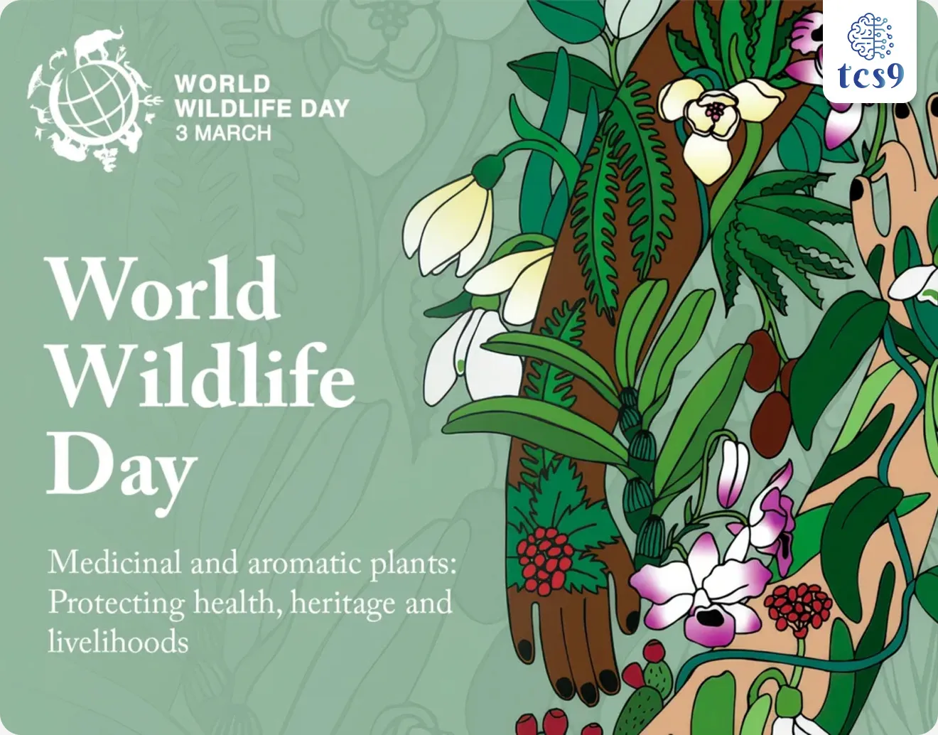 What is World Wildlife Day ?
Subject : GS - दिनविशेष, पर्यावरण
सरळसेवा, तलाठी, वनरक्षक, पोलीस भरती, अग्निवीर , रेल्वे भरती, SSC GD, MPSC, UPSC परीक्षेसाठी विचारलेले / संभाव्य महत्त्वपूर्ण प्रश्न
प्रश्न) दरवर्षी जागतिक वन्यजीव दिन केव्हा साजरी करतात ?
1. 28 फेब्रुवारी
2. 3 मार्च
3. 13 मार्च
4. 4 एप्रिल
उत्तर : 3 मार्च
3 मार्च हा दिवस जागतिक वन्यजीव दिन केव्हा घोषित केला ?
• 20 डिसेंबर 2013 रोजी संयुक्त राष्ट्र महासभेने आपल्या 68 व्या अधिवेशनात 3 मार्च हा दिवस जागतिक वन्यजीव दिन म्हणून साजरा करण्याचे जाहीर केले.
3 मार्च हाच दिवस का ?
• जागतिक पातळीवरील नागरिकांचे जीवन जल आणि जंगलावर अवलंबून आहे.
• मात्र तरीही अनेक जंगली प्राण्यांच्या आणि वन संपत्ती ची तस्करी करण्याच्या घटना घडत आहेत.
• त्याला आळा घालण्यासाठी 3 मार्च 1973 ला वन्यजीव आणि वनस्पतीच्या व्यापाराला रोखण्यासाठीच्या करारावर 180 देशांनी सही केली होती.
• वन्य प्राणी आणि वनस्पतींच्या लुप्तप्राय प्रजातींच्या आंतरराष्ट्रीय व्यापारावरील अधिवेशन (CITES: Convention on International Trade in Endangered Species of Wild Fauna and Flora) ३ मार्च १९७३ रोजी १८० देशांनी मान्य केले म्हणून या दिवसाचे महत्त्व ओळखून 3 मार्च हा दिवस जागतिक वन्यजीव दिन म्हणून जगभरात साजरा केला जातो.
आपण जागतिक वन्यजीव दिन का साजरी करतो ?
• जागतिक वन्यजीव दिन पृथ्वीवरील वैविध्यपूर्ण आणि भव्य वन्यजीवांबद्दल जागरूकता वाढवण्यासाठी समर्पित आहे.
• हा दिवस आपल्याला वन्यजीव संदर्भातील गुन्हेगारी आणि वन्य प्रजाती नष्ट करण्याच्या विरोधात लढा उभारण्याची प्रेरणा व आठवण करून देतो.
जागतिक वन्यजीव दिन 2026 ची संकल्पना ( थीम ) काय आहे ?
🎯 "औषधी आणि सुगंधी वनस्पती : आरोग्य, वारसा आणि उपजीविका जतन करणे" ही यंदाची थीम आहे.
(Medicinal and Aromatic Plants: Conserving Health, Heritage and Livelihoods)
• वनस्पतींचे महत्त्व: जागतिक स्तरावर आरोग्यसेवा, संस्कृती आणि शाश्वत अर्थव्यवस्था टिकवून ठेवण्यासाठी या वनस्पती किती महत्त्वाच्या आहेत, यावर या वर्षी भर दिला गेला आहे.
• औषधी वनस्पतींना अधिवास नष्ट होणे, हवामान बदल आणि अतिउत्खनन यांपासून असलेला धोका अधोरेखित करणे हा यामागचा उद्देश आहे.