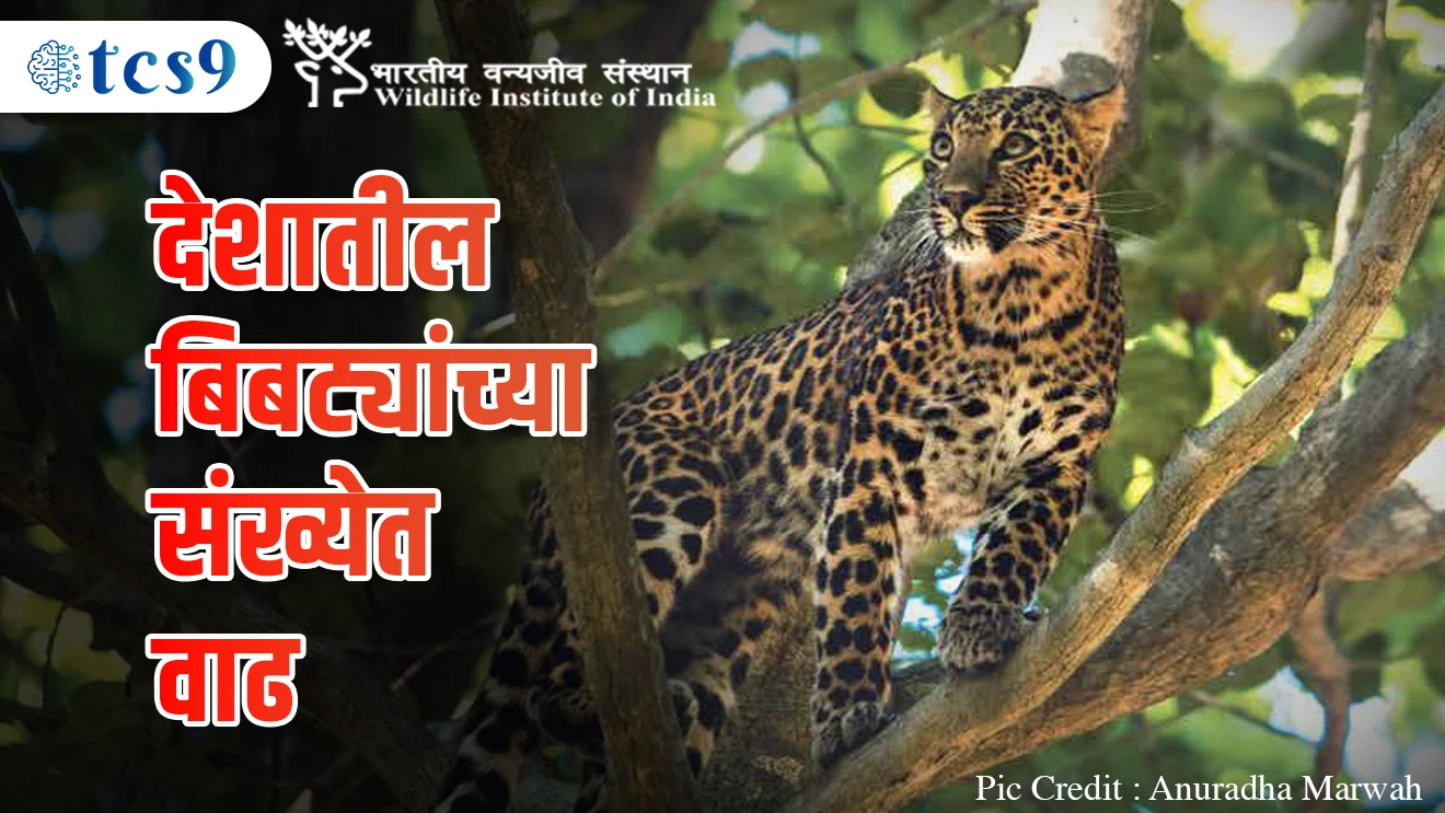 Deshbharat Bibtyanchi Sankhyat Vaad