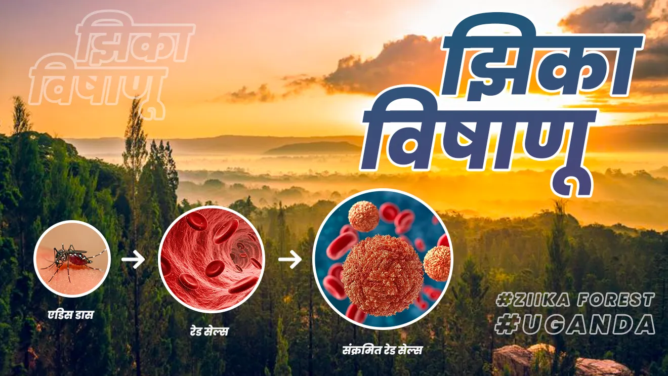 झिका विषाणू